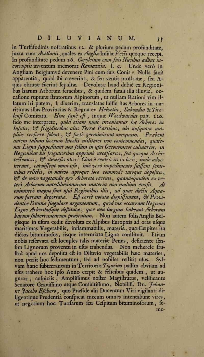 io. Turffifodinis nollratibus 12. & plurium pedum profunditate, juxta cum Avellanis, quales ex Angite Infula? V?£li quoque recepi. In profunditate pedum 16. Coryletum cum fuis Nucibus adhuc in¬ corruptis inventum memorat Ramazzin. 1. c. Unde verd in Angliam Belgiumve devenere Pini cum luis Conis ? Nulla fan£ apparentia, quod ibi creverint, & feu ventis proftratas, feu A- quis obrutae fuerint fepultae. Devolutae haud dubi£ ex Regioni¬ bus harum Arborum feracibus, & quidem fatali illa illuvie, oc- calione rupturae liratorum Alpinorum, ut nullam Rationi vim il¬ latum iri putem, li dixerim, translatas fuilfe has Arbores in ma¬ ritimas illas Provincias Sc Regna ex Helvetia, Sabaudia 8c7iro- lenfi Comitatu. Hinc fane ejl, inquit Woodwardus pag. 220. fido me interprete, quod etiam nunc inveniantur ha Arbores in Infidis, & frigidioribus alus Terra Partibus, ubi nufquam am¬ plius crefcere folent, & forte germinarunt nunquam. Prabent autem talium locorum Incolis utilitates non contemnendas, quate¬ nus Ligna fuppeditant non folum in ufus Oeconomicos culinarios, in Regionibus his frigidioribus apprime neceffarios, fed quoque Archi¬ tectonicos , & diverfos alios: Cum e contra iis in locis, unde adve¬ nerunt , caruiffent omniufu, imo vero impedimento fuijfent femi¬ nibus reliBis, in nativo aptoque loco commode tutoque depofitis i Gf de novo Vegetandis pro Arboreto recenti, quandoquidem ex ve¬ teri Arborum antediluvianarum materia non multum evafit. At enimvero magno funt ufui Regionibus illis, ad quas duBu Aqua¬ rum fuerunt deportata. Efi certe notatu digniffimum, Gf Provi¬ dentia Divina Jmgulare argumentum, quod vix occurrant Regione i Ligno Arboribufque defiituta, qua non largum habeant Arborum harum fubterrane arum proventum. Non autem lolis Anglis Bel- gisque io ulum cedit devoluta ex Alpibus Europaeis ad oras ufque maritimas Vegetabilis, inflammabitis, materia, quae Celpites ita di&os bituminolos, iisque intermixta Ligna conftituit. Etiam nobis relervata ell locuples talis materi# Penus, deficiente len- fim Lignorum proventu in ulus trahendus. Non mehercle fru- ftra apud nos depolita ell in Diluvio vegetabilis haec materies, non periit hoc fedimentum, fed ad nobiles rellitit ulus. Syl- vam hanc liibterraneam in Territorio Tigurino paflim obviam ad ulus trahere hoc ipfo Anno coepit & felicibus quidem , ut au¬ guror , aufpiciis , Amplilfimus noller Magillratus, velificante Senatore Gravilfimo atque Conliiltilfimo, Nobililf. Dn. Johan- ne Jacobo Efchero, quo Praeli de alii Ducentum Viri vigilanti di- ligentique Prudentia conlpicui mecum omnes intentabunt vires, ut negotium hoc Turflfarum feu Celpitum bituminoforum, fe- mo-