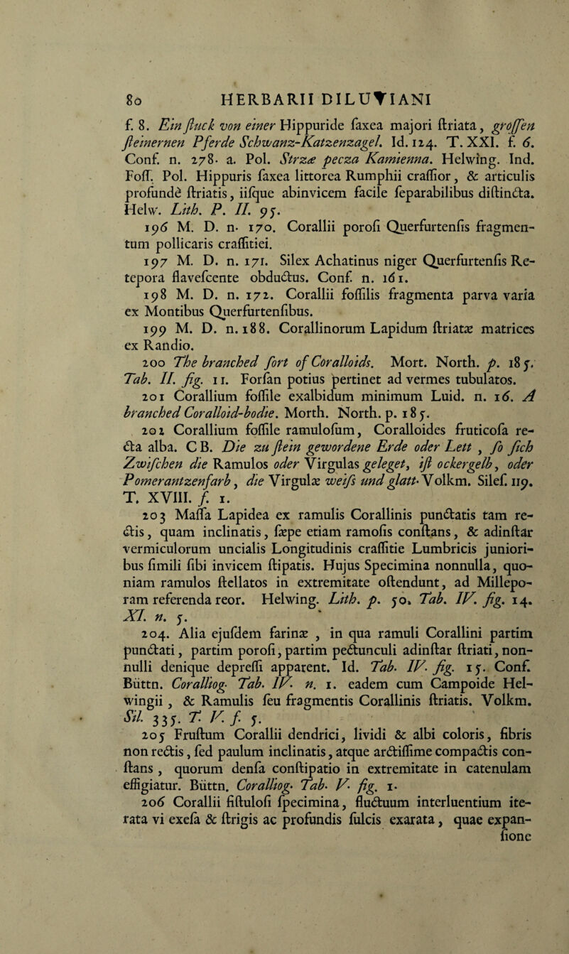 f. 8. Ein fiuck von einer Hippuride faxea majori driata, grojfen fleinernen Pferde Schvuanz-KatzenzageL Id. 124. T. XXI. f. 6. Conf. n. 278- a. Pol. Strz<e pecza Kamienna. Helwing. Ind. Foff. Pol. Hippuris faxea littorea Rumphii craffior, & articulis profunda driatis, iifque abinvicem facile feparabilibus didinda. Helw. Lith. P. //. 95. 196 M. D. n- 170. Corallii porofi Querfurtenfis fragmen¬ tum pollicaris craffitiei. 197 M. D. n. 171. Silex Achatinus niger Querfurtenfis Re- tepora flavefcente obdudus. Conf. n. ldi. 198 M. D. n. 172. Corallii foffilis fragmenta parva varia ex Montibus Querfurtenfibus. 199 M. D. n. 188. Corallinorum Lapidum driatas matrices ex Randio. 200 The branche d fort of Coralloids, Mort. North. p. 18 y. Tab. //. fig. 11. Forlan potius pertinet ad vermes tubulatos. 201 Corallium foffile exalbidum minimum Luid. n. 16. A branched Coralloid-bodie. Morth. North. p. 18 y. 202 Corallium foffile ramulofiim, Coralloides fruticofa re¬ da alba. C B. Die zu ftein gewordene Er de oder Lett , fo fich Zwifchen die Ramulos oder Virgulas geleget, ifi ockergelb, oder Pomerantzenfarb, die Virgulas weifs undglattXolkm. Silef. 119. X XVIII. f. 1. 203 Mada Lapidea ex ramulis Corallinis pundatis tam re- dFis, quam inclinatis, faspe etiam ramofis conftans, & adindar vermiculorum uncialis Longitudinis craffitie Lumbricis juniori¬ bus fimili fibi invicem dipatis. Hujus Specimina nonnulla, quo¬ niam ramulos dellatos in extremitate odendunt, ad Millepo- ram referenda reor. Helwing. Lith. p. 50» Tab. IV\ fig. 14. XI n. y. 204. Alia ejufdem farinas , in qua ramuli Corallini partim pundati, partim porofi, partim pedunculi adindar driati, non¬ nulli denique depreffi apparent. Id. Tab. IV- fig. iy. Conf. Biittn. Coralliog- Tab. IV- n. r. eadem cum Campoide Hel- wingii, & Ramulis feu fragmentis Corallinis driatis. Volkm. Sil 3 3 y. T V.f y. 20y Frudum Corallii dendrici, lividi & albi coloris, fibris non redis, fed paulum inclinatis, atque ardiffime compadis con- dans , quorum denfa condipatio in extremitate in catenulam effigiatur. Biittn. Coralliog. Tab• V• fig, i- 206 Corallii fidulofi fpecimina, fluduum interluentium ite¬ rata vi exefa & drigis ac profundis Iuleis exarata, quae expan- fione