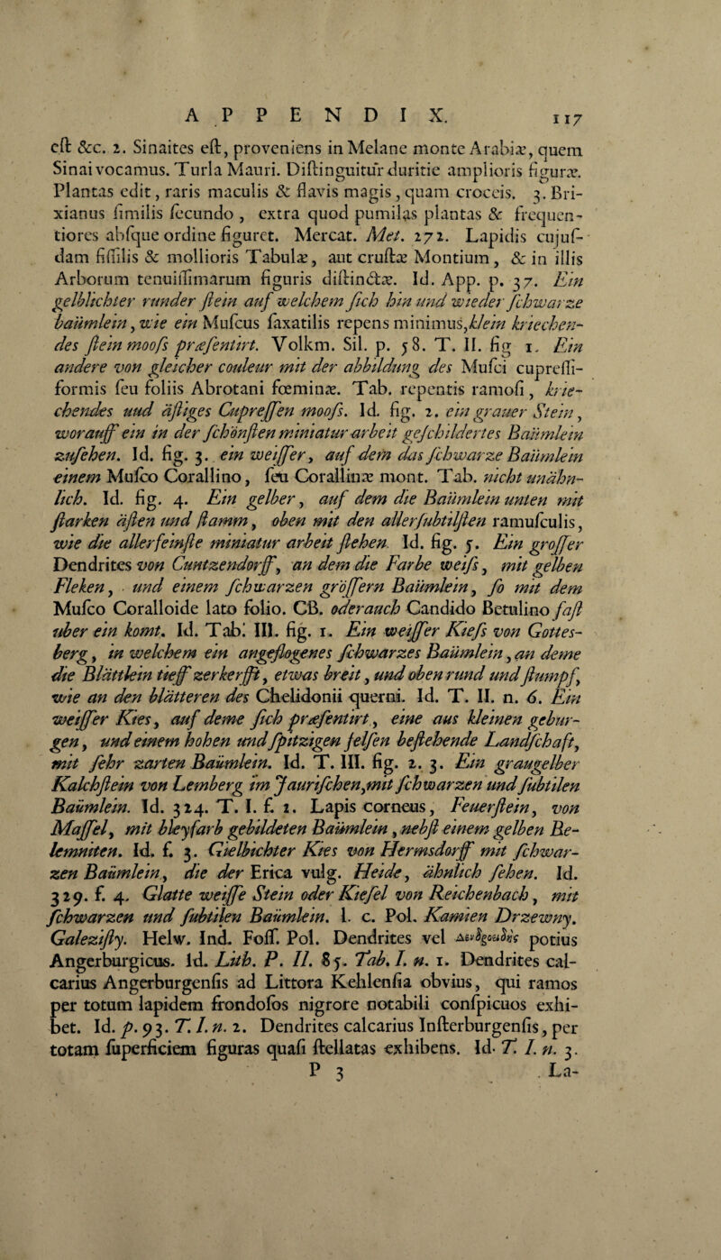 cft &c. 2. Sinaites eft, proveniens inMelane monte Arabise, quem Sinai vocamus. Turia Mauri. Diftinguitur duritie amplioris figura?. Plantas edit, raris maculis & flavis magis, quam croceis. 3. Bri¬ xianus fimilis /ecundo , extra quod pumilas plantas & frequen- tiores abfque ordine figuret. Mereat. Met. 272. Lapidis cujufi¬ dam fiflilis & mollioris Tabula?, aut cruftse Montium, & in illis Arborum tenuiflimarum figuris diftindtx. Id. App. p. 37. Ein gelbhchter runder flem auf welchem ftch hmund wieder fchwarze baumlem, wie em Mufcus laxatilis repens minimus fllein kriechen- des flem moofs pr^fcntirt. Volkm. Sil. p. 58. T. II. fig 1. Em andere von gleicher couleur mit der abbildung des Mufci cuprefli- formis feu foliis Abrotani foemina?. Tab. repentis ramofi, krie- cbendes uud dfliges Cupreffen moofs. Id. fig. 2. em gr ause r Stem, worauff ein in der fchonften miniatur-arbeit gefchildertes Baumlem zufehen. Id. fig. 3. em weiffer y auf dem das fchwarze Bailmlein einem Mulco Coralli no, feti Corallina? mont. Tab. nicht unahn- hch. Id. fig. 4. Em gelber, auf dem die Baumlein unten mit flarken dflen und ftamm, oben mit den allerfubtilflen ramu/culis, wie die allerfeinfle miniatur arbeit flehen. Id. fig. y. Ein gr offer Dendrites von Cuntzendorjf y an dem die Farbe weifs, mit gelben Fleken, • und einem fchwarzen grojfern Baumlem, fo mit dem Mulco Coralloide lato folio. CB. oderauch Candido Betulino fafl uber ein komt. Id. Tab! III. fig. 1. Ein weiffer Kiefs von Gottes- berg, in welehem ein angeflogenes fchwarzes Baumlein, an deme die Bldttlein tieff zerkerjft, etwas breit, und oben rund und flumpfl wie an den blatteren des Chelidonii querni. Id. T. II. n. 6. Ein weiffer Kiesy auf deme fich pr<efentirt, eine aus kleinen gebur- gen, und einem hohen und fpitzigen felfen beflehende Landfchaft, mit fehr zarten Baumlein. Id. T. III. fig. 2. 3. Em graugelber Kalchflein von Lemberg im Jaurifchenymit fchwarzen undfubtilen Baumlein. Id. 324. T. I. £ 2. Lapis corneus, Feuerflein, von Maflfef mit bleyfarb gebildeten Baumlem , nebfl einem gelben Be- lemniten. Id. £ 3. Gielbichter Kies von Hermsdorff mit fchwar¬ zen Baumlein y die der E rica vulg. Heide, ahnlich fchen. Id. 329. £ 4. Glatte weiflfe Stein oder Kiefel von Reichenbach, mit fchwarzen und fubtilen Baumlem. 1. c. Pol. Kamien Drzewny. Galezifly. Helw. Ind. Foflf. Pol. Dendrites vel potius Angerburgicus. kL Lith. P. II. Sy. Tab.I. n. 1. Dendrites cal¬ carius Angerburgenfis ad Littora Kehlenfia obvius, qui ramos per totum lapidem frondofos nigrore notabili confpicuos exhi¬ bet. Id. p. 93. T.I. n. 2. Dendrites calcarius Infterburgenfis, per totam luperficiem figuras quafi fteliatas exhibens. Id- T. /. n. 3. P 3 . La-