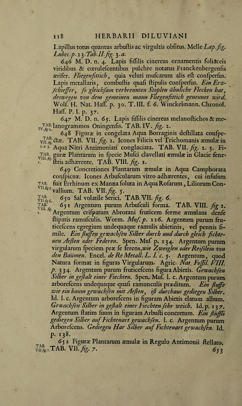 Lapillus totus quantus arbuftis ac virgultis obfitus. Melie Lap.fig. Eubec.p.13 • Tab. II-fig• 3 • a. 646 M. D. n. 4. Lapis fitfilis cinereus ornamentis foliaceis viridibus & coerulefcentibus pulchre notatus Franckenbergenfis aerifer. Fliegenfittich, quia veluti mufcarum alis eft confperfus. Lapis metallaris, combuftis quafi ftipulis Confperfus. Em Erz- Jcht effer, fo gleichfam verbrennten Stoplen ahnliche Flecken haty deswegen von dem gemeinen mann Fliegenfittich genennet wird. Wolf. H. Nat. HafT. p. 30. T.1II. f. 6. Winckelmann. Chronol. Haff P. I. p. 37. 647 M. D. n. 6y. Lapis fiffihs cinereus melanofhchos & me- j^Manogrammos Oningenfis. TAB. IV. fig. 2. 648 Figura in congelata Aqua Borraginis deftillata confpe- TAB. VII. fig. 1. Icones Filicis vel Trichomanis aemulae in I*2*3* Aqua Nitri Antimoniati conglaciata. TAB. VII. 2. 3. Fi- tab gura Plantarum in fpecie Mufci clavellati aemulae in Glacie fene- j. ? ftris adhaerente. TAB. VIII. fig, 1. 649 Concretiones Plantarum semulce in Aqua Camphorata confpicuae. Icones Arbufcularum vitro adhaerentes, cui infufiim tab. fuit Errhinum ex Manna foluta in Aqua Rofarum, Liliorum Con- 1IIy^s vallium. TAB. VU.fig. j. Sal volatile Serici. TAB. VII. 6. tab. <5y 1 Argentum purum Arbufculi forma. TAB. VIII. fig 2. z. ^ Argentum crifpatum Abrotani fruticem ferme aemulans denfe ftipatis ramufculis. Worm. Mufi p. 116. Argentum purum fru- ticefcens egregium undequaque ramulis abietinis, vel pennis fi- mile. Em fluffen gewachfen Silber durch und durch gleich fichte- nen Aejlen oder Federen. Spen. Muf p. 134. Argentum purum virgularum fpeciem prae fe ferens,wie Zweiglen oder Reifslein von den Baumen. Encel. de Re Met ali. L. /. c. y. Argentum, quod Natura format in figuras Virgularum. Agrie- Nat. FoJJil. VIII. p. 334. Argentum purum fruticefcens figura Abietis. Gewachfen Silber in gejlalt einer Fiechtcn. Spen. Muf 1. c. Argentum purum arborefeens undequaque quafi ramunculis proditum. Ein Jluffe wie ein baum gewachfen mit Aefteny ifi durchaus gediegen Silber. Id. 1. c. Argentum arborefeens in figuram Abietis elatum album. Gewachfen Sdber in gejlalt einer hechten fehr weich. Id. p. 137. Argentum ftatim fiium in figuram Arbufti concretum. Ein fiuffli gedtegen Silber auf Fichtenart gewachfen. 1. c. Argentum purum Arborefeens. Gediegen Har Silber auf Fichtenart gewachfen. Id. p. 138. 652 Figura Plantarum amulae in Regulo Antimonii ftellato. vu?i.7.TAB. W\.fig. 7. 65l