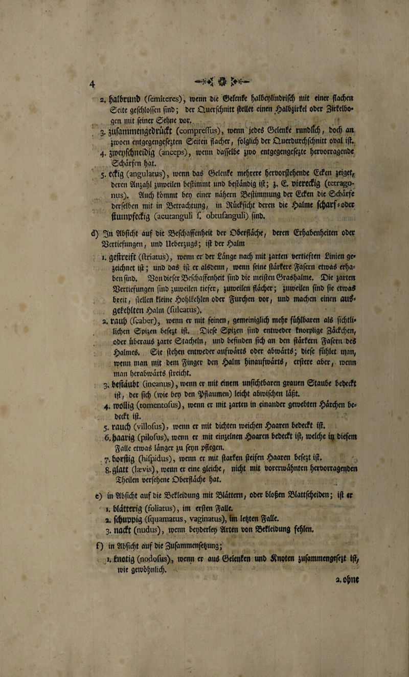 2. halbrund (ſemiteres), wenn die Gelenke halbcylindriſch mit einer fachen Seite geſchloſſen ſind; der Querſchnitt ung einen lied oder 1 gen mit ſeiner Sehne vor. 28 1 7 zuſammengedruͤckt (compreflus), wenn jedes Gelenke rundlich, 70 zwoen entgegengeſezten Seiten flacher, folglich der Querdurchſchnitt oval ik, 4. zweyſchneidig (anceps), wenn daſſelbe zwo entgegengeſezte hervorragende, Schaͤrfen hat. | WR: eckig (angulatus), wenn das Gelenke mehrere hervorſtchende Ecken zeige, | deren Anzahl zuweilen beſtimmt und beſtaͤndig iſt; z. E. viereckig (cetrago· nus). Auch kommt bey einer naͤhern Beſtimmung der Ecken die Schaͤrfe derſelben mit in Betrachtung, in Nuͤckſicht deren die Halme ſcharf oder ſtumpfeckig (acutanguli ſ. obtufanguli) ſind. d) In Abſicht auf die Beſchaffenheit der Oberfläche deren Chase oder Vertiefungen, und Ueberzugs; iſt der Halm | 1. geſtreift (ſtriatus), wenn er der Länge nach mit zarten vertieften Linien ge⸗ zeichnet iſt; und das iſt er alsdenn, wenn ſeine ſtaͤrkere Faſern etwas erha⸗ ben ſind. Von dieſer Beſchaffenheit ſind die meiſten Grashalme. Die zarten Vertiefungen ſind zuweilen tiefer, zuweilen flaͤcher; zuweilen ſind ſie etwas breit, ſtellen kleine Hohlkehlen oder Furchen vor, und machen einen aus⸗ gekehlten Halm (ſulcatus). 2. rauh (ſcaber), wenn er mit feinen, gemeiniglich mehr fühlbare a als it lichen Spizen beſezt iſt. Dieſe Spizen find entweder knorplige Zaͤckchen, oder uͤberaus zarte Stacheln, und befinden ſich an den ſtaͤrkern Faſern des Halmes. Sie ſtehen entweder aufwaͤrts oder abwaͤrts; dieſe fuͤhlet man, wenn man mit dem Finger den Halm hmaufwaͤcts, Pete aber, wenn man herabwaͤrts ſtreicht. 3. beſtaͤubt (incanus), wenn er mit einem unſi chtbaren grauen Staube bedeckt iſt, der ſich (wie bey den Pflaumen) leicht abwiſchen laͤßt. 4. wollig (tomentoſus), wenn er mit zarten in einander gewebten 2 be⸗ deckt iſt. 5. rauch (villofus) ) wenn er mit dichten weichen Haaren bedeckt if. 5. haarig (piloſus), wenn er mit einzelnen Haaren bedeckt iſt, welche ecken Falle etwas laͤnger zu ſeyn pflegen. | 7. borſtig (hiſpidus), wenn er mit ſtarken ſteifen Haaren beſezt iſt. 8. glatt (dævis), wenn er eine gleiche, nicht mit hee Wan Theilen verſehene Oberfläche hat. 0 in Abſicht auf die Bekleidung mit Blaͤttern, oder Ste duke 1 er 1. blaͤtterig (foliatus), im erſten Falle, 2. ſchuppig (quamatus, vaginatus), im letzten Falle. de nackt (nudus), wenn beyderley Arten von Bekleidung 5 f) in Abſicht auf die Zuſammenſetung; '“ 70 5 a I. knotig badete wenn er aus Galen und Sonim dannn if wie gewöhnlich, 2. ohne