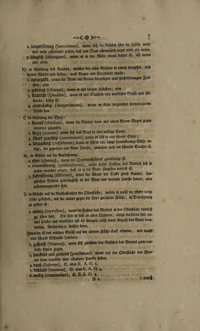2. lanzettfoͤrmig (lanceolatum) , wenn ſich die Raͤnder uͤber die Haͤlfte mehr und mehr zuſammen ziehen, daß das Blatt obenwaͤrts enger wird als unten. 3. laͤnglich (oblongum), wenn es in der Mitte etwas breiter iſt, als unten und oben. are least e h) in Anfehung des Randes, welcher bey allen Graͤſern in einem fortgehet, und weder Winkel und Ecken, noch Bogen und Einſchnitte macht: W 1. ausgezaͤckt, wenn der Rand mit kleinen knorpligen oder ſtachelformigen Zaͤck⸗ cen; oder BE | . 2. gefraͤnzt (ciliatum), wenn er mit langen Haͤrchen; oder 3. ſtachlicht ((pinofum) , wenn es mit Stacheln von merklicher Gröſſe und Ab⸗ ſtande, beſezt iſt. | W 1 4. glattraͤndig (integerrimum), wenn er keine dergleichen hervorragende Theile hat. Birr e dee BAR i) in Auſehung der Spiz e neun b. 1, ſtumpf (obtuſum), wenn die Ränder vorn mit einem kleinen Bogen gegen einander zulgufen. | | 2. ſpizig (acutum), wenn ſich das Blatt in eine mäßige Spitze; 3. ſcharf zugeſpizt (acuminatum), wenn es ſich in eine ſcharfe Spize; 4. langgeſpizt (cuſpidatum), wenn es ſich in eine lange fadenfdrmige Spize en⸗ 0 digt die zuweilen eine kleine Borſte, zuweilen auch ein ſcharfer Stachel iſt. ) in Abſicht auf die Ausdehnung: 1 55 5 1. eben (planum), wenn der Querdurchſchnitt geradlinigt iſt. | 2. rinnenfoͤrmig (canaliculatum), wenn beyde Haͤlften des Blattes ſich ſo gegen einander neigen, daß es in der Mitte laͤngshin vertieft iſt. 3. fadenfoͤrmig (Aliforme), wenn die Breite der Dicke gleich koͤmmt; der⸗ gleichen Blätter gemeiniglich in der Mitte eine vertiefte Furche haben, oder zuſammengerollet find. J) in Abſicht auf die Beſchaffenheit der Oberfläche; wobey fo wohl die obere in die Hohe gekehrte, als die untere gegen die Erde gerichtete Flaͤche, in Betrachtung zu ziehen iſt: 1, nervig (nervofum), wenn die Faſern des Blattes in der Oberflaͤche deutlich 30 fehen find, Sie find es faſt an allen Blättern; einige derſelben find im⸗ mer ſtaͤrker und deutlicher als die Übrigen, nach deren Anzahl das Blatt drey⸗ nervig, fuͤnfnervig ꝛc. heiſſen kann. . N Zuweilen iſt das mittlere Gefäß auf der untern Fläche ſtark erhaben, und macht eine ſcharfe Schneide (arina). * 00 5 | 2, geſtreift (riatum) , wenn ſich zwiſchen den Gefäßen des Blattes zarte ver⸗ tiefte Linien zeigen. A ee | 1080 3. punktirt oder getüpfelt (pun&amp;tatum), wenn auf der Oberflaͤche des Blat⸗ tes feine vertiefte oder erhabene Punkte ſtehen. 5 Ä 4. rauh ((cabrum), S. oben II. A. d). 2. 5. beſtaͤubt (incanum), S. oben II. A. d). 3. 6. wollig (tomentoſum), S. I. A. d). 4. | e e FE n en 7 rauch er