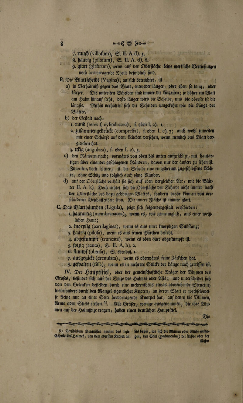 7. rauch (villofum), S. II. A. d). 5. 8. haarig (piloſum), S. II. A. d). 6. 9. glatt (glabrum), wenn auf der Oberfläche kene matt erh noch hervorragende Theile befindlich find, B. Die Blattſcheide (Vagina), an ſich betrachtet, iſfſ i 2 in Verhaͤltniß gegen das Blatt, entweder laͤnger, oder eben 0 lang, oder fürger. Die unterſten Scheiden find immer die kuͤrzeſten; je höher ein Blatt am Halm hinauf ſteht, deſto laͤnger wird die Scheide, und die oberſte iſt die laͤngſte. Mithin verhalten ſich die Scheiden umgekehrt wie die Laͤnge der Bläkter, en m 0 n „ee Kin b) der Geſtalt nach: „ i 1. rund (teres ſ. cylindracea), ſ. oben I. o) 1. | 2. zuſammengedruͤckt (compreſſa), ſ. oben I. 5 35 auch wohl 1 mit einer Schaͤrfe auf dem Ruͤcken 1 wenn nemlich das Blatt der⸗ gleichen hat. 5 | 3. eckig (angulara), f. oben l. o. 5. o) 0 Raͤndern nach; vorwaͤrts von oben bis unten aufgeſchlzt mit hautar⸗ tigen über einander geſchlagenen Raͤndern, davon nur der aͤußere zu ſehen iſt. Zuweilen, doch ſeltner, iſt die Scheide eine ringsherum zugeſchloſſene Röh⸗ re, ohne Schliz und folglich auch ohne Raͤnder. d) auf der Oberflaͤche verhält fie fi) auf eben dergleichen Art, wie die Blat ter II. A. HD. Doch richtet ſich die Oberflaͤche der Scheide nicht immer nach der Oberflaͤche des dazu gehörigen Blattes, ſondern beyde kennen, von ver⸗ ſchiedener Beſchaffenheit ſeyn. Die innere Flaͤche iſt immer glatt. C. Das Blatthaͤutchen (Ligula), zeigt ſich folgendergeſtalt verſchieden: | 1. hautartig (membranacea), wenn es, wie gemeiniglech, aus einer weiß⸗ lichen Haut; 2. knorplig (cartilaginea) , wenn es aus einer knorpligen Subſtanz; 3. haarig (piloſa), wenn es aus feinen Haͤrchen beſteht. 4. abgeſtumpft (truncata), wenn es oben quer abgeſtumpft ven 5. ſpizig (acuta), S. I. A. h). 2. n 6. ſtumpf (obtuſa), S. ebendaſ. . * 7. ausgezaͤckt (crenulara), wenn es abewörts feine Zächen hat. 85 8. geſpalten (fiſta), wenn es in mehrere Stücke der Länge nach zerrlſſen iſt. IV. Der Hauptſtiel, oder der gemeinſchaftliche Träger der Blumen des Graſes, befindet ſich auf der Spize des Halmes oder Aſts; und unterſcheidet fich von den Gelenken deſſelben durch eine mehrentheils etwas abweichende Structur, insbeſondere durch den Mangel eigentlicher Knoten, an deren Statt er wechſelswei⸗ ſe kleine nur an einer Seite hervorragende Knorpel hat, auf denen die Blumen, Arme oder Stiele ſtehen D. Alle Graͤſer, wenige ausgenommen, die ihre Blu⸗ men auf der Halmſpize tragen , haben einen Paltiehe NE Ae nnn „Die 5 6) Verſchiedene Botaniſten nennen das lezte bis , wo 0 f * * un oder Stile Aren Gdkenke des Halmes, von dem oberſten Knoten an gen, den Stiel (pedunculus) der Ache oder der Riſpes