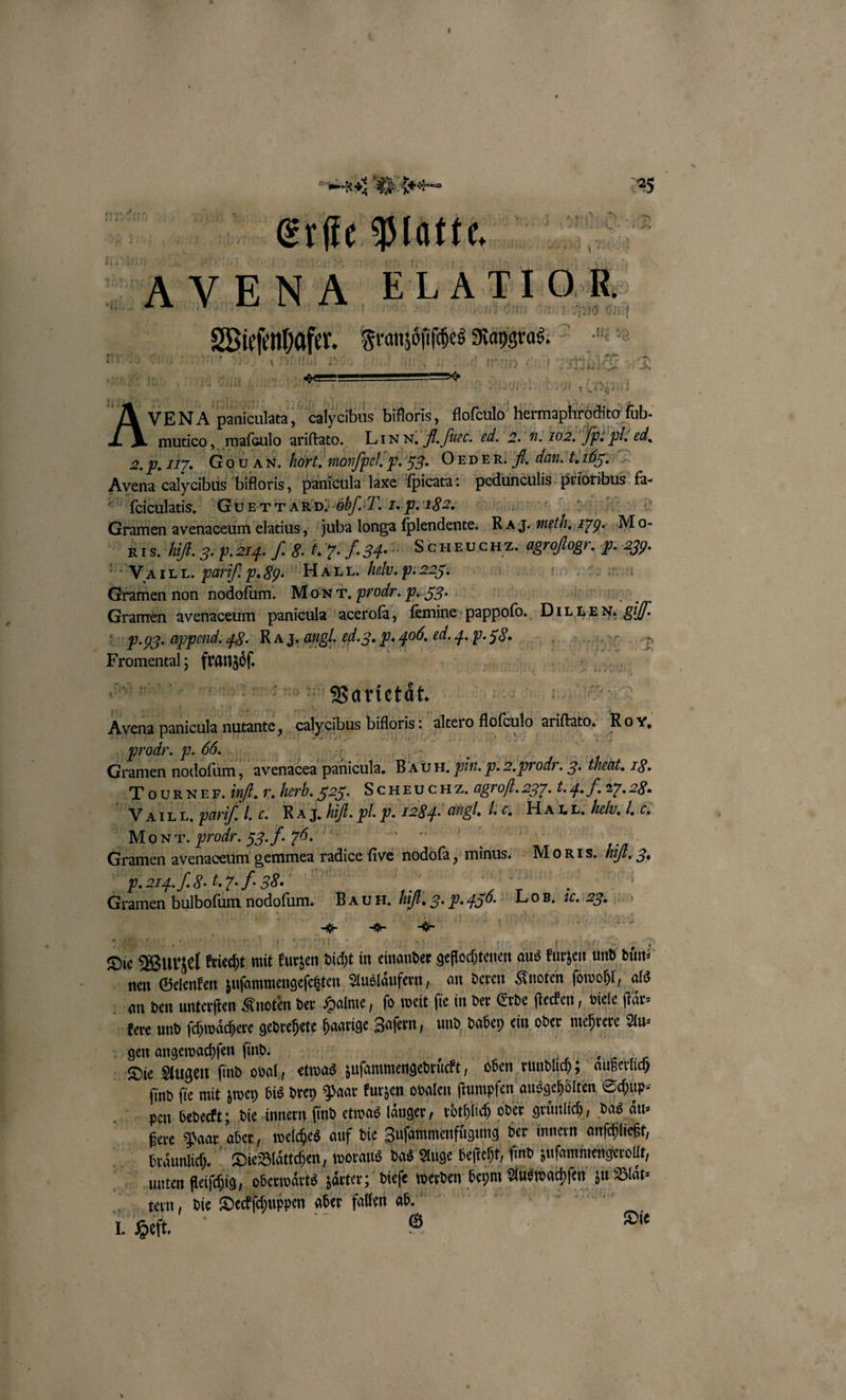 324 RE e ee AVENA ELATIOR et 110 1 Ars paniculata, calycibus bifloris, flofeulo Hermaphrödito fub- mutico, maſculo ariſtato. Linn. fl. fuer. ed. 2. u. 702. P. Pl. ed. 2.9.1177. G OU AN. Fort. monfpel'p. 59. ORDER. A. dan. t. IH. Avena calycibus bifloris, panicula laxe ſpicata: pedunculis prioribus fa- ſelculatis. GET TARD. H/ I. Z. p. 16222. Gramen avenaceum elatius, juba longa ſplendente. R A J. eth zy. Mo- 18. hifl. g. p. 27g. .. G. l. . . S. Scν⏑ðctha. agroflogr. b. 239. VII I. pariſ p. S. HALL. Helu. p. 225. | I Gramen non nodofum. MoNT. prodr. p. 53. | kai huge Gramen avenaceum panicula aceroſa, ſemine pappoſo. DIL EE N. gi. V. . append. 48. R a J. angl. ed. 3. p. 400. N Avena panicula nutante, calycibus bifloris: altero Aofculo ariftato. Roy, ee En Gramen nodoſum, avenacea panicula. BA U H. pin. p. 2. prodr. 3. theat. 1. ‚Tourner. inf. v. lerb. 3235. SCHEUCHZ. agrofl.237. f. 4. . 27. a. Ir JAIL L. parif. 1 0. RA J. iſt. pl. p. 1284. angl. J. c. Maui: hehr. 755 * Mo NT. prodr. 33.f.76. ain Gramen avenaceum gemmea radice five nodoſa, minus. Mo Rs. if. 3, P. 27g. I.G. l. 5. J. 56. Gramen bulboſum nodoſum. BA UH. Vit. . 9.456. Lo B. ic. 2q. ad . aha | N Die Wurzel kriecht mit kurzen dicht in einander geflochtenen aus kurzen und duͤn⸗ nen Gelenken zuſammengeſetzten Auslaͤufern, an deren Knoten ſowohl, als an den unterſten Knoten der Halme, ſo weit ſie in der Erde ſtecken, viele ſtaͤr⸗ kere und ſchwaͤchere gedrehete haarige Zaſern, und dabey ein oder mehrere Au⸗ gen angewachſen ſind. E 2 | | ! Die Augen ſind oval, etwas zuſammengedruͤckt, oben rundlich; aͤußerlich ſind ſie mit zwey bis drey Paar kurzen ovalen ſtumpfen ausgehoͤlten Schup⸗ pen bedeckt; die innern ſind etwas langer, roͤthlich oder gruͤnlich, das aͤu⸗ ßere Paar aber, welches auf die Zuſammenfügung der innern anſchließt, braͤunlich. Die Blattchen, woraus das Auge beſteht, ſind zuſammengerollt, unten fleiſchig „oberwaͤrts zaͤrter; dieſe werden beym Aus wachſen zu Blaͤt⸗ teen, die Deckſchuppen aber fallen bz. I. Heft. (6) Die
