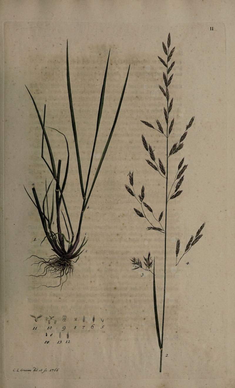 ÖL Grusises er ge 1766. \ N AN N NN \ ö 4 &gt; N N N SS U N, NN 1 . \ \ 14 N Wa N V \ . * N “| 74 . a IL A, 5 N IA Syn 4 5 N N N W 7 | \ | MI N. x N W 8 f N WA — N \ N N 4 \ un ZN 10 „ 1 a) 4 . = v _ * 3