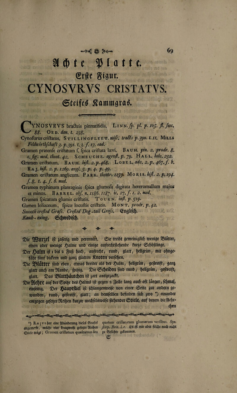 Achte Platte. Erſte Figur. | _CYNOSYRVS CRISTATVS. | Steifes Kammgras. | YNOSVRVS bracteis ira, Linn. /b. pl. p. 105. A. Juec, &gt; 88. On b. dan. t. e Cynofurus criftatus, SIL LIV PEP. mie, wraßls . 390. f. Il. Mira — Feldwirthfchaft 3. p.391. f. 9. F. 13. cad. Gramen pratenfe criftatum ſ. ſpica criftata levi BA UH. pin. 2. roch. = C. Vg. med. theat. 4%. ScHEUCEHZ. agroff. p. 29. HALL. Helv. 232. Gramen eriſtatum. BA UH. Vit. 2. p. a. LOBE L. adv, 2.7. 405. J. b. RAI. Hit. 2. h. 1269. angl. g. p. 4: p. 40. Gramen eriſtatum anglicum. P ARE. tleutr. 2g. Mo 1s. Au if. 2. p. Iq. J. . f. J. F. 6. med. Gramen typhinum plantaginis ſpica glumoſa digitata heteromellum majus et minus. BAR REI. 000. n. 1186. 1187. ic. 27. F. I. 2. med, Gramen ſpicatum glumis criſtatis. TOUR N. inf. p. 79. Gamen loliaceum, ſpicæ locuſtis oriſtatis. Mo Nx. prodr. p. 42. Smooth creed Grafs. Crofied De a ii | Kanb- er Schwediſch. 1 RE RR e de 1 ſt gert und perennirt. Sie treibt gemeiniglich wenige Blätter, einen oder wenige Halme und einige aufrechtſtehende kurze Schoͤßlinge. Der Halm iſt 1 bis 2 Fuß hoch, aufrecht, rund, glatt, hellgrün mit ohne fahre fünf dickern und ganz glatten Knoten verſehen. Die Blaͤtter ſind eben, etwas breiter als der Halm, hellgruͤn, geſteeſt, ganz glatt auch am Rande, ſpitzig. Die Scheiden find rund / RO j geſtreift, glatt. Das Blatthaͤutchen iſt zart ausgezackt. | Die Aehre auf der Spitze des Halms iſt gegen 2 Zolle lang 4800 oft [änger, ſchmal, einſeitig. Der Hauptſtiel iſt ſchlangenweiſe von einer Seite zur andern ge⸗ wunden, „rund, geſtreift, glatt; an demſelben befinden ſich zwo ) einander er Pa um 18 e ch 5 5 so denen die Aehr⸗ chen ö . ——-U:⅛ 0 R] us hat eine Abaͤnderung dieſes Graſes quatuor eriſtatarum glumarum verſibus. Syn. angemerkt, welche vier kreuzweiſe geſetzte Reihen Jip. Brit. l. c. Es iſt mir aber ſolche noch nicht Stiele traͤgt; Gramen criltatum quadratum ſeu zu Geſichte gekommen. S
