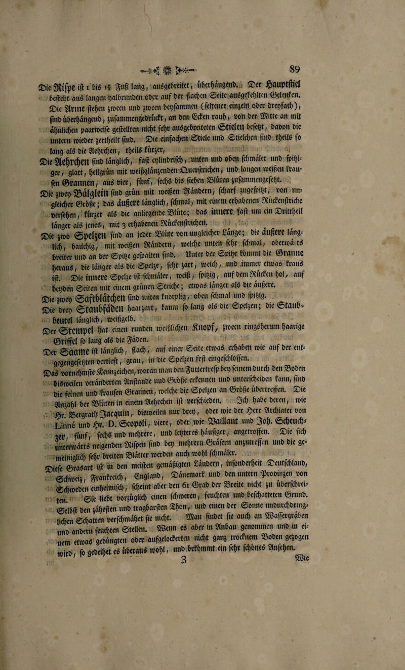 Die Riſpe iſt 1 bis 13 Fuß lang, ausgebreitet, uͤberhaͤngend. Der Hauptſtiel beſteht aus langen halbrunden oder auf der flachen Seite ausgekehlten Gelenken. Die Arme ſtehen zween und zween beyſammen (ſeltener einzeln oder dreyfach), ſind uͤberhaͤngend, zuſammengedruͤckt, an den Ecken rauh, von der Mitte an mit nͤhnlichen paarweiſe geſtellten nicht ſehr ausgebreiteten Stielen beſetzt, davon die untern wieder zertheilt ſind. Die einfachen Stiele und Stielchen ſind theils ſo lang als die Aehrchen, theils kuͤrzerfr a mn Damn n: insnal Die Aehrchen ſind laͤnglich, faſt cylindriſch unten und oben ſchmaͤler und ſpitzi⸗ ger, glatt, hellgruͤn mit weißglaͤnzenden Querſtrichen und langen weißen krau⸗ ſen Grannen, aus vier, fuͤnf, ſechs bis ſieben Bluͤten zuſammengeſetzt. Die zwey Baͤlglein find gruͤn mit weißen Rändern; ſcharf zugeſpitzt, von un⸗ gleicher Große; das aͤußere laͤnglich, ſchmal/ mit einem erhabenen Ruͤckenſtriche verſehen, kuͤrzer als die anliegende Bluͤte; das innere faſt um ein Drittheil laͤnger als jenes, mit 3 erhabenen Ruͤckenſtrichen. Die zwo Spelzen ſind an jeder Bluͤte von ungleicher Laͤnge; die äußere laͤng⸗ lich, bauchig, mit weißen Naͤndern, welche unten ſehr ſchmal, oberwaͤrts breiter und an der Spitze geſpalten ſind. Unter der Spitze koͤmmt die Granne heraus, die laͤnger als die Spelze, ſehr zart, weich, und immer etwas kraus iſt. Die innere Spelze iſt ſchmaͤler, weiß/ ſpitzig, auf dem Ruͤcken hol, auf beyden Seiten mit einem gruͤnen Striche; etwas laͤnger als die aͤußere. Die zwey Saftblaͤtchen ſind unten knorplig, oben ſchmal und ſpizig. Die drey Staubfaͤden haarzart, kaum ſo lang als die Spelzen; die Staub⸗ beutel laͤnglich, weißgelbod. Be . l Ha e Der Stempel hat einen runden weißlichen Knopf, zween ringsherum haarige Griffel ſo lang als die Faͤden. ES Be Der Saame iſt laͤnglich, ſtach, auf einer Seite etwas erhaben wie auf der ent⸗ e gegengeſetzten vertieft, grau, in die Spelzen feſt eingeſchloſſen. 71 Das vornehmſte Kennzeichen, woran man den Futtertreſp bey feinem durch den Boden bisweilen veraͤnderten Anſtande und Groͤße erkennen und unterſcheiden kann, ſind die feinen und krauſen Grannen, welche die Spelzen an Größe übertreffen. Die Anzahl der Blüten in einem Aehrchen iſt verſchieden. Ich habe deren, wie Hr. Bergrath Jacquin, bisweilen nur drey, oder wie der Herr Archiater von Linne und Hr. D. Scopoli, viere, oder wie Vaillant und Joh. Scheuch⸗ zZeer, fuͤnf ſechs und mehrere, und letzteres haͤuſiger, angetroffen. Die ſich urnterwaͤrts neigenden Riſpen ſind bey mehrern Graͤſern anzutreffen und die ge: meiniglich ſehr breiten Blaͤtter werden auch wohl ſchmaͤler. Dieſe Grasart iſt in den meiſten gemaͤßigten Laͤndern, inſonderheit Deutſchland, Schweiz Frankreich, England, Daͤnemark und den untern Provinzen von Schweden einheimiſch, ſcheint aber den 61. Grad der Breite nicht zu uͤberſchrei⸗ ten. Sie liebt vorzuͤglich einen ſchweren, feuchten und beſchatteten Grund. Seelbſt den zaͤheſten und tragbarſten Thon, und einen der Sonne undurchdring⸗ lichen Schatten verſchmaͤhet ſie nicht. Man findet ſie auch an Waſſergraͤben und andern feuchten Stellen. Wenn es aber in Anbau genommen und in ei⸗ nem etwas geduͤngten oder aufgelockerten nicht ganz trocknem Boden gezogen wird / fo gedeihet es uͤberaus wohl, er bekommt ein fehr Ichönes Anſehen. | * x | Wie *