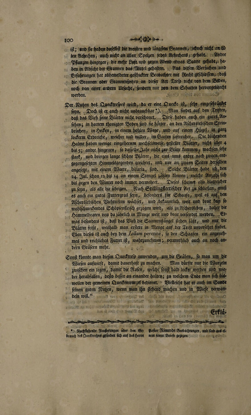 iſt; und ſie haben daſelbſt die meiſten und laͤngſten Grannen / jedoch PEN len Aehrchen, auch nicht an allen Spelzen jedes Aehrchens / gehabt. Andre Pflanzen hingegen) die mehr Luft und gegen Abend etwas Sonne gehabt, ha⸗ ben in Abſicht der Grannen das Mittel gehalten. Aus dieſen Verſuchen und ap Erfahrungen hat obbemeldeter geſchickter Beobachter mit Recht geſchloſſen daß die Grannen oder Grannenſpitzen an dieſer Art Treſp nicht von dem Baden, noch von einer andern Urſache, ſondern nur pon e F e werden. Je sig 108 Nauen”. Der Nutzen! des Quecktreſpes wird / da e er eine Quecke. ib, cn noeh ſeyn. Doch iſt er guch nicht unbrauchbar! ). Man findet, auf den Triften, daß das Vieh ſeine Blätter nicht verſchonet. „Dieſe. haben auch ein güteg, Ans Er ſehen; in hartem thonigten Boden ſind ſie häuser , an den Aſcherslebiſchen Stein ⸗ bruͤchen / in Hecken, in einem hohlen Wege, und auf einem Hügel, in ganz lockerm Erdreiche , weicher und müer im Garten ſaftreichezn. Die blühe ae Halme haben wenige ringsherum wechſelsweiſe, geſtellte Blaͤtter, nicht i dies 5; andre hingegen / ſo daſſelhe Jahr nicht zur Bluͤte kommen 5 eiE ſtark, und bringen lange ſchone Blätter, die eins ums andre nach zwoen ent⸗ gegengeſetzten Himmelsgegenden gerichtet, nee an zwoen Seiten N angeſetzt, mit einem Worte, bifaria, ſind. Solche ‚Blätter habe ich, 24. Jul. schon, 12 bis 14 an einem Stengel zählen konnen; welche Anzah bis gegen den Winter noch immer vermehret., Dieſes ſcheinet alſo blatzel er zu ſeyn, als alle die uͤbrigen. Nach, Stilingfeetifcher. Art zu, ſchließen, uß es auch ein, gutes Futtergras ſeyn, beſonders für Schaafe, weil es den | Aſcherslebiſchen, Viehtriften waͤchſet, und ‚befanntlich,. weit und breit kein ſo wohlſchmeckendes Schoͤpſenſleiſch gezogen wird, als zu Alſchersleben daher die Hommelbraten von da jaͤhrlich in Menge weit und breit versendet wan de Et⸗ 3 was beſonders iſt / daß das Vieh die Sagmenſfangel ſtehen ſaͤßt, und nur die Blaͤtter frißt, weshalb man erſtere in Menge, auf der Trift unversehrt findet Eben dieſes iſt auch bey dem Lolium perenne, ſo den, Schaafen ein angeneh⸗ f mes und reichliches Futter iſt / 3 fem auch 98 Bi an« dern Graͤſern mehr. di Senf: konnte man dieſen Quecktreſp e ee Graͤben, ſo * um die Wieſen aufwirft, damit dauerhaft zu machen. Man dürfte nur die Wurzeln 00 zwiſchen ein legen, damit die Roſen, we je fon ſt bald locker werden un ie der herabfallen, deſto beſſer an einander ha alten; zu welchem Ende man f Ge weilen der gemeinen ee aaay » Bielleicht hat er auch im Sande feinen guten FM wenn i ihn bet beer und . EN . bew . Mt “_ N bein, wil. 722304243 Wag 1 BR rer „rn * rg euer en Maul RE) 2 155 ND. 1 1 i — aun 66 * Image ne, ad RN Hl hruunars in a a0 ber nel gan 7 en un eitel 12 eie ne dun? Bü ne