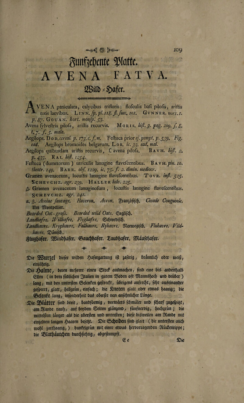Funfzehente Platte. | SAVENA. FAT VA. Wild Hafer. — ——ĩů— Avımı paniculata, calyeibus tifloris: floſculis bafı pilofis, ariftis totis laevibus. LI x N. Op. El. 220. N ſüet. 107. G VNN ER. 207 U. Z. P. Hr. Gou aN. hort. monfp. 33. m 1 Avena Hreltris piloſa, ariſtis recurvis. Marıs. . 3. pag. 209. .. 8. t. 7. f 5. malg. a | | Asgilops. Don.cereal. p. 7g. c. f m. Feſtuca prior . pempt. p. 359. Fig. ead. Aegilops bromoides belgarum. Lo B. ic. 33. ead, mal. Aegilops quibusdam ariſtis recurvis, f. avena lo. BAH. hi 5. 43. RAI. . 1234. Feftuca ( dumetorum ) utriculis lanugine flayeſcentibus. Ba vH. pin. 10. theatr. Lag. BARR. obf. 1229. ic. 75. J. 2. dimin. mediocr. Granen avenaceum, locuſtis lanugine 3 To vR. inf. 555. SCHEVCHZ. agr. 299. HAL ILE R Helv. 2 | 6. Gramen avenaceum lanuginoſum, bocults kanngine flavefcentibus, N ISCHEVCHZ. agr. 241. - a. ß..-Ävoine ſauvage. Haveron. A Feamyöfif. Civade Couguoule. Um Montpellier. a at 2 Bearded Oat-grafs. Bearded wild Oats. Engliſch. Landhafre. Willhafre. Hlygliafre. Schwediſch. Landſiaure. Kryphavre. Fullfaure. Ryhavre. Norwegiſch. Fluhavre: Vild- faure. Danifhe Ge Windhafer. Gauchhafer. Tnusafer Maͤuſehafer. Die Wurzel Al widen oem N aafeig 1 oder weiß, einjaͤhrig. Die Halme, „ deren mehrere einen Stock hal find eine bis anderthalb Ellen (in dem ſuͤdlichen Italien in gutem Boden oft Mannshoch und druͤber) lang, mit den unterſten Gelenken geſtreckt, uͤbrigens aufrecht, ſehr auseinander geſperrt, glatt, hellgruͤn, einfach; die Knoten glatt oder etwas haarig; die Gelenke lang, inſonderheit das oberſte von anſehnlicher Laͤnge. 90 1055 Blaͤtter find. breit, bandfoͤrmig, vorwärts ſchmaͤler und ſcharf zugeſpigt; am Rande rauh, auf beyden Seiten glänzend, fuͤnfnervig, hochgruͤn; die mittelſten länger als die oberſten und unterſten; dieſe bisweilen am Rande mit einzelnen langen Haaren beſetzt. Die Scheiden find glatt (die unterſten auch wohl zarthaarig,) dunkelgruͤn mit einer etwas hervorragenden Ruͤckenrippe; die Blathaͤutchen durchſichtig, abgeſtumpft. 1 Le} 2 20 Ee di