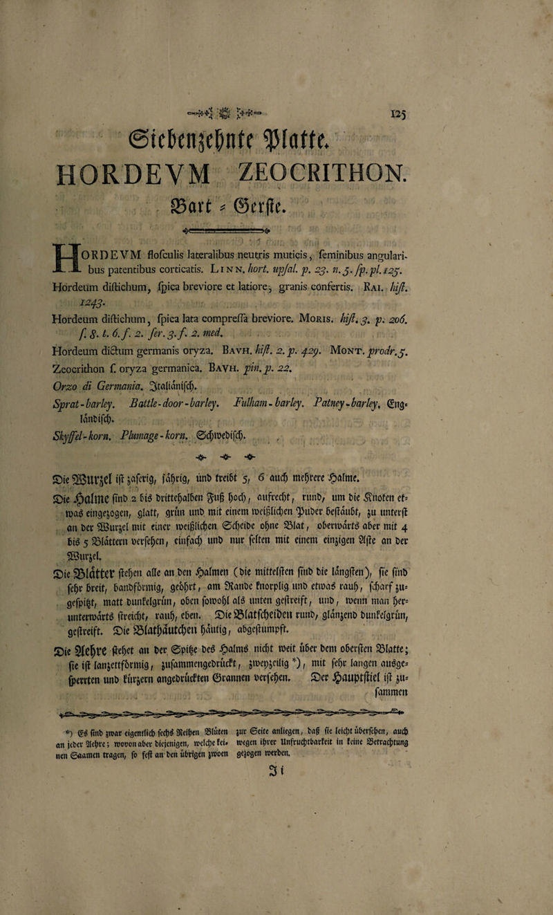 Siehbenzehnte Platte. HO RD EV M ZEOCKTHON Bart⸗ ek Hon DEVM Aofzulis ak allen neutris 1 a ſeminibus angulari- L bus patentibus corticatis. LIN N. hort. upfal. p. 23. u. F. ſp. pl. Ig. Hordeum diſtichum, fpica breviore et latiore, granis confertis. Ral. hiff. 1243. | Hordeum diſtichum, fpiea lata h Drchiore, Monis. J 1. 8. v. 2006, . b. C. . 2 2. fer. g. F. 2. med, Hordeum dictum germanis oryza. BavH. Hiſt. 2. P- 429. Moxr. pr Bad . Zeoerithon f. oryza germanica. BavH. pin. p. 22. Orzo di Germania, Itallͤͤniſch. | Sprat- harley. Battle. door - boch ‚Fulham- .barley. Patney- barley, Eng: laͤndiſch. | Skyffel- -korn. Plumage- korn, Soweit, I Die Wurzel ift zaſerig, ſaͤhrig, und treibt 5, 6 auch mehrere Halme. Die Halme find a ls duitehalben Fuß hoch, aufrecht, rund, um die Knoten et⸗ was eingezogen, glatt, gruͤn und mit einem weißlichen Puder beſtaͤubt, zu unterſt an der Wurzel mit einer weißlichen Scheide ohne Blat, oberwaͤrts aber mit 4 pr 5 Blättern verſehen, einfach und nur ſelten mit einem einzigen Aſte an der Wurzel. Die Blaͤtter ſtehen ale a an den Auer (die mittelſten find die laͤngſten), fie find ſehr breit, bandfoͤrmig, geoͤhrt, am Rande knorplig und etwas rauh, ſcharf zu— geſpitzt, matt dunkelgrün, oben ſowohl als unten geſtreift, und, wenn man her⸗ unterwaͤrts ftreicht, rauh, eben. Die Blatſcheiden rund, glänzend dunkelgruͤn, geſtreift. Die Blathaͤutchen häufig, abgeſtumpft. Die Die Aehre ſtehet an der Spitze des Halms nicht weit über dem oberſten Blatte; ſie iſt lanzettfoͤrmig, zuſammengedruͤckt, zweyzeilig *), mit ſehr langen ausge: Perrten und Fürgemn angedruͤckten Grannen verſehen. Der Hauptſtiel iſt zu: | WR ſammen A * Es find zwar eigentlich ſechs Reihen Bluͤten zur Seite Ei daß fie leicht überfeben, auch an jeder Aehre; wovon aber diejenigen, welche kei. wegen ihrer Unfruchtbarkeit in keine Betrachtung nen Saamen tragen, fo feſt an den übrigen zwoen gezogen werden. Ji