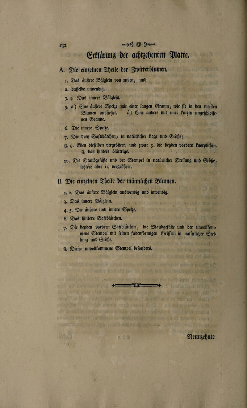 * DE ehe Erklaͤrung der achtzehenten Platte. A. Die einzelnen Theile der Zwitterblumen. 1. Das äußere Baͤlglein von außen, undd 2. daſſelbe inwendig. 3. 4. Das innere Baͤlglein. 5. a) Eine aͤußere Spelze mit einer langen Granne, wie ſie in den meiſten Blumen ausſiehet. 69 Eine andere mit einer kurzen eingeſchloſſe⸗ nen Granne. 6. Die innere Spelze. | 7. Die drey Saftblätchen, in natürlicher Lage und Größe; 8. 9. Eben dieſelben vergrößert, und er 9. die 8 vordern n emp, 8. das hintere blaͤttrige. ANN 10. Die Staubgefaͤße und der Stempel in F Stellung und Giöfe, letztere aber 11. en 0 132 B. Die einzelnen Theile der männlichen Blumen. 1. 2. Das aͤußere Baͤlglein auswendig und inwendig. 3. Das innere Bälglein. n AS 4. 5. Die aͤußere und innere Speise. | 6. Das hintere Saftblaͤtchen. 7. Die beyden vordern Saftblaͤtchen, die Staubgefaͤße und der unvollkom⸗ mene Stempel mit ſeinen fadenfoͤrmigen Griffeln in natürlicher Stel⸗ lung und Groͤße. 8. Dieſer unvollkommene Stempel beſonders. Neunzehnte