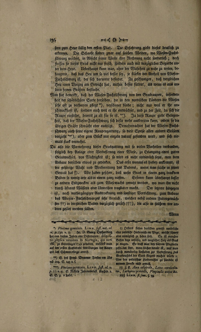 ſern zum Heue billig den erſten Platz. Die Erfahrung giebt dieſes deutlich zu erkennen. Die Schaafe finden zwar auf, ſolchen Weiden, wo Wieſen⸗Fuchs⸗ ſchwanz waͤchſet, in Abſicht feiner Wolle ihre Rechnung nicht ſonderlich; doch A 2 freſſen fi fi e dieſes Gras nicht nur friſch, sondern auch mit botzigicher Begierde un⸗ ter dem Heue. Ueberhaupt kann man, ohne der Wahrheit zu nahe zu treten, be⸗ | haupten, daß das Heu um fo viel beſſer ſey, je ſtaͤrker der Antheil von Wieſen⸗ pi Fuchsschwanz iſt, der ſich darunter befindet. Zu geſchweigen, daß dergleichen x a Heu einen Vorzug am Gewicht hat, mithin beſfe füttert, als wenn 0s * an⸗ dern feinen Graͤſern beſtunde. e heit der ſchaͤdlichſten Sorte derſelben, die in den nordiſchen Laͤndern die Wieſen ſehr oft zu verheeren pflegt“), verſchonet bleibe; 5 nicht nur weil er ihr un⸗ ſchmackhaft ift, fondern auch weil er ihr entwaͤchſet, und zu der Zeit, da ſich die Raupe einſtellet, bereits zu alt für fie iſt. . Ja dieſe Raupe giebt Gelegen heit, daß der Wieſen⸗Fuchsſchwanz fi ch deſto mehr ausbreiten kann, indem ſie ie die uͤbrigen Graͤſer ſchwaͤcht oder austilgt. Demohnerachtet hat der Wieſen; Fuchs⸗ ſchwanz auch ſeine eigene Raupengattung, ſo dieſe Speiſe allen andern Graͤſern vorzieht *), aber zum Glück nur einzeln darauf Aung wird, und ſich nie⸗ mals ſtark vermehrt. 900 ul Du alſo die Vermehrung dieſer Grasgattung mit fo. dilen Borken 1 folglich bey Anlage oder Verbeſſerung einer Wieſe, zu Erlangung eines guten Graswuchſes, von Wichtigkeit iſt; ſo wird es nicht undienlich ſeyn, von dem Anbaue derſelben etwas zu gedenken. Das erſte worauf es hiebey ankommt, iſt die gehoͤrige Wahl und Vorbereitung des Bodens, wenn man ſolche in ſeiner Gewalt hat f). Wir haben geſehen, daß unſer Gras in einem ganz trocknen Boden fo wenig arte als in einem ganz naſſen. Erſterer kann uberhaupt beſſer zu andern Endzwecken als zum Wieſewachs genutzt 8 wo man ihn nicht durch oͤfteres Waͤſſern oder Umreißen tragbarer macht. Der letztere hingegen iſt; nach vorhergaͤngiger Austrocknung und ſonſtiger Vorrichtung „zum Anbaue des Wieſen⸗Fuchsſchwanzes ſehr dienlich, welcher nebſt andern Futtergewaͤch⸗ fen tr) in dergleichen Boden vorzuͤglich h u: } bie, ze in u ſolchem dor an⸗ dern in werden ae 12 0 t u is vill, zu Kopenhagen 1742 gehalten, woſelbſt man zu tragen. So muß man bey duͤrrem Flugſande auf der erſten Kupfertafel Abbildungen der Raupe zufri den ſeyn, wenn ſolcher beraſet iſt, weil man z Graßwuchſes den Sand fliegend machen würde ıc. UA 8 7 We „Bronner Taufen ate Von den polltiſehen Hinderniſſen zu handeln iſt ccd dg. S. las bn RSS e ei e ned 7 79 Phalgnapgatoia, Inn. ed. 2. 0 3. E. Aira ceſpitoſa „Lotus, cornicnla- PR 1. u. J. S. Roͤſels Infetenbetuf Ahe 2. tus, Laryrus pratenfis, Pimpinalla major &amp;c. vl. S. 9. 2 Tafel. 5 5 LIN N. H. ſusc. f. 9. Er N 7 . a a ie