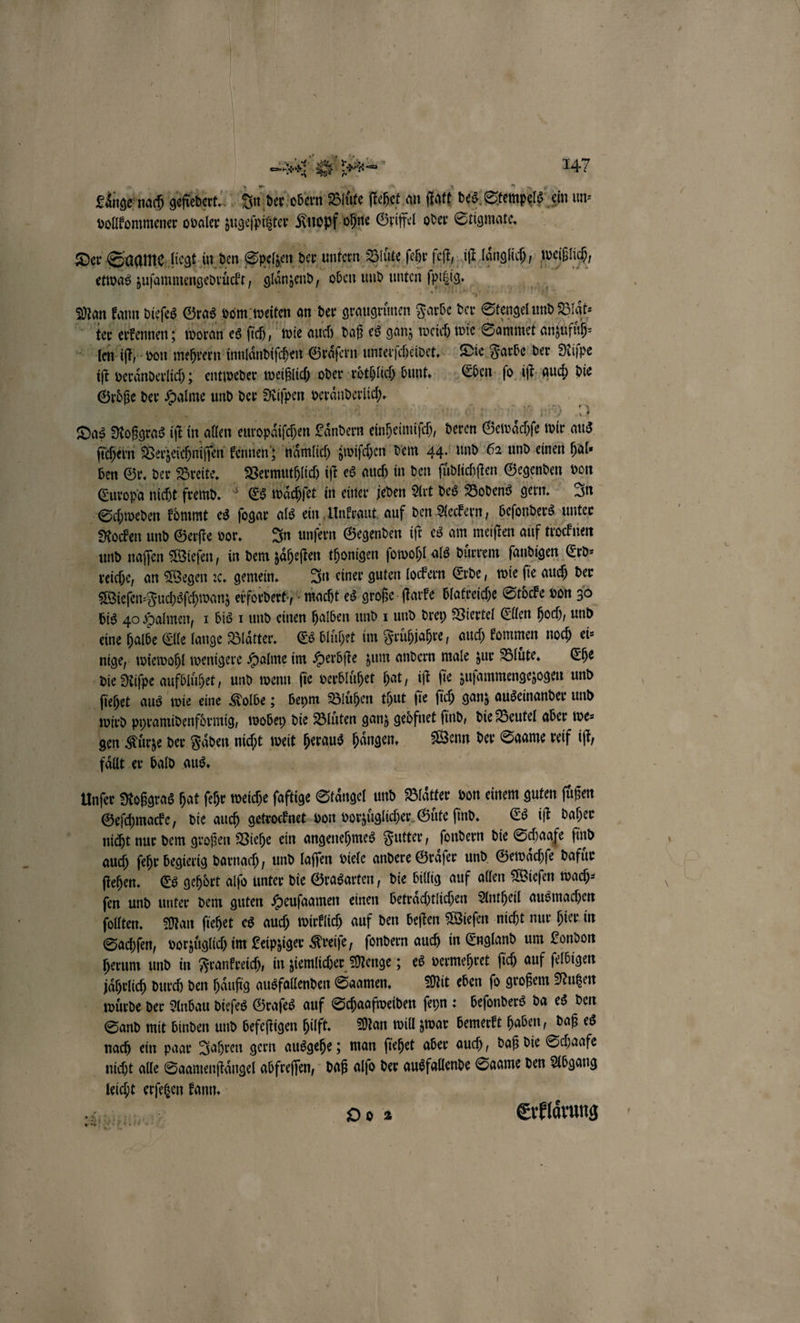 Laͤnge nach geſiedert. In der obern Blüte ſtehet an ſtatt des Stempels ein un⸗ vollkommener ovaler zugeſpitzter Knopf ohne Griffel oder Stigmate. etwas zuſammengedruͤckt, glänzend, oben und unten ſpitzig. ter erkennen; woran es fi), wie auch daß es ganz weich wie Sammet anzufuͤh⸗ len iſt, von mehrern innlaͤndiſchen Graͤſern unterſcheidet. Die Farbe der Riſpe iſt veraͤnderlich; entweder weißlich oder roͤthlich bunt. Eben ſo iſt auch die Größe der Halme und der Riſpen veraͤnderlich. ſichern Verzeichniſſen kennen; naͤmlich zwiſchen dem 44. und 62 und einen hal⸗ ben Gr. der Breite. Vermuthlich iſt es auch in den ſuͤdlichſten Gegenden von Europa nicht frend. Es waͤchſet in einer jeden Art des Bodens gern. In Rocken und Gerſte vor. In unſern Gegenden iſt es am meiſten auf trocknen Wieſen⸗Fuchsſchwanz erfordert, macht es große ſtarke blatreiche Stöcke von 30 eine halbe Elle lange Blätter, Es bluͤhet im Fruͤhjahre, auch kommen noch ei⸗ nige, wiewohl wenigere Halme im Herbſte zum andern male zur Bluͤte. Ehe wird pyramidenfoͤrmig, wobey die Bluͤten ganz gedfnet ſind, die Beutel aber we⸗ faͤllt er bald aus. nicht nur dem großen Viehe ein angenehmes Futter, ſondern die Schaafe ſind auch ſehr begierig darnach, und laſſen viele andere Graͤſer und Gewaͤchſe dafuͤr ſtehen. Es gehört alſo unter die Grasarten, die billig auf allen Wieſen wach⸗ ſen und unter dem guten Heuſaamen einen betraͤchtlichen Antheil ausmachen ſollten. Man ſiehet es auch wirklich auf den beſten Wieſen nicht nur hier in Sachſen, vorzuͤglich im Leipziger Kreiſe, ſondern auch in England um London herum und in Frankreich, in ziemlicher Menge; es vermehret ſich auf ſelbigen jahrlich durch den häufig ausfallenden Saamen. Mit eben fo großem Nutzen Sand mit binden und befeſtigen hilft. Man will zwar bemerkt haben, daß es nach ein paar Jahren gern ausgehe; man ſiehet aber auch, daß die Schaafe nicht alle Saamenſtaͤngel abfreſſen, daß alſo der ausfallende Saame den Abgang leicht erſetzen kann. | O0 2 Erklaͤrung