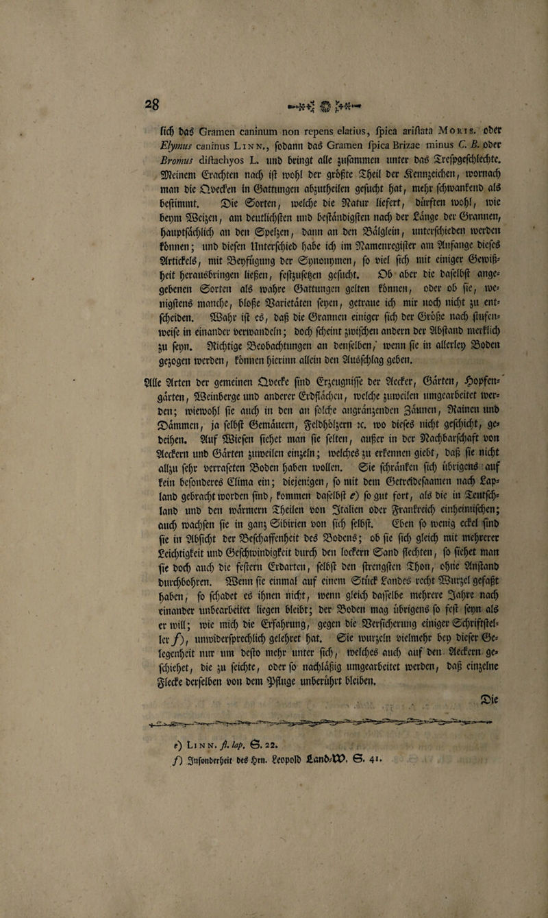 lich das Gramen caninum non repens elatius, ſpica ariftata Monr8. oder Elymus cuninus LI NN., ſodann das Gramen ſpica Brizae minus C. B. oder Bromus diftachyos L. und bringt alle zuſammen unter das Treſpgeſchlechte. Meinem Erachten nach iſt wohl der groͤßte Theil der Kennzeichen, wornach man die Qvecken in Gattungen abzutheilen geſucht hat, mehr ſchwankend als beſtimmt. Die Sorten, welche die Natur liefert, duͤrften wohl, wie beym Weizen, am deutlichſten und beſtaͤndigſten nach der Laͤnge der Grannen, hauptſaͤchlich an den Spelzen, dann an den Baͤlglein, unterſchieden werden koͤnnen; und dieſen Unterſchied habe ich im Namenregiſter am Anfange dieſes Artickels, mit Beyfügung der Synonymen, fo viel ſich mit einiger Gewiß⸗ heit herausbringen ließen, feſtzuſetzen geſucht. Ob aber die daſelbſt ange⸗ gebenen Sorten als wahre Gattungen gelten koͤnnen, oder ob fie, we nigſtens manche, bloße Varietaͤten ſeyen, getraue ich mir noch nicht zu ent⸗ ſcheiden. Wahr iſt es, daß die Grannen einiger ſich der Größe nach ſtufen⸗ weiſe in einander verwandeln; doch ſcheint zwiſchen andern der Abſtand merklich zu ſeyn. Richtige Beobachtungen an denſelben, wenn ſie in allerley Re gezogen werden, koͤnnen hierinn allein den Ausſchlag geben. Alle Arten der gemeinen Qvecke ſind Erzeugniſſe der Aecker, Gaͤrten, 7 gaͤrten, Weinberge und anderer Erdflaͤchen, welche zuweilen umgearbeitet wer⸗ den; wiewohl ſie auch in den an ſolche angraͤnzenden Zaͤunen, Rainen und Daͤmmen, ja ſelbſt Gemaͤuern, Feldholzern ꝛc. wo dieſes nicht geſchicht, ge⸗ deihen. Auf Wieſen ſiehet man ſie ſelten, außer in der Nachbarſchaft von Aeckern und Gaͤrten zuweilen einzeln; welches zu erkennen giebt, daß ſie nicht allzu ſehr verraſeten Boden haben wollen. Sie ſchraͤnken ſich uͤbrigens auf kein beſonderes Clima ein; diejenigen, ſo mit dem Getreideſaamen nach Lap⸗ land gebracht worden find, kommen daſelbſt ©) fo gut fort, als die in Teutſch⸗ land und den waͤrmern Theilen von Italien oder Frankreich einheimiſchen; auch wachſen ſie in ganz Sibirien von ſich ſelbſt. Eben ſo wenig eckel ſind ſie in Abſicht der Beſchaffenheit des Bodens; ob ſie ſich gleich mit mehrerer Leichtigkeit und Geſchwindigkeit durch den lockern Sand flechten, ſo ſiehet man fie doch auch die feſtern Erdarten, ſelbſt den ſtrengſten Thon, ohne Anſtand durchbohren. Wenn ſie einmal auf einem Stuͤck Landes recht Wurzel gefaßt haben, fo ſchadet es ihnen nicht, wenn gleich daſſelbe mehrere Jahre nach einander unbearbeitet liegen bleibt; der Boden mag uͤbrigens ſo feſt ſeyn als er will; wie mich die Erfahrung, gegen die Verſicherung einiger Schriftſtel⸗ ler 7), unwiderſprechlich gelehret hat. Sie wurzeln vielmehr bey dieſer Ge⸗ legenheit nur um deſto mehr unter ſich, welches auch auf den Aeckern ge⸗ ſchiehet, die zu ſeichte, oder ſo nachlaͤßig umgearbeitet werden, daß einzelne Flecke derſelben von dem Pfluge unberührt bleiben. e) LIN N. . ind S. 22. 7 Jnſonderheit des Hrn. Leopold 10 8. 41,