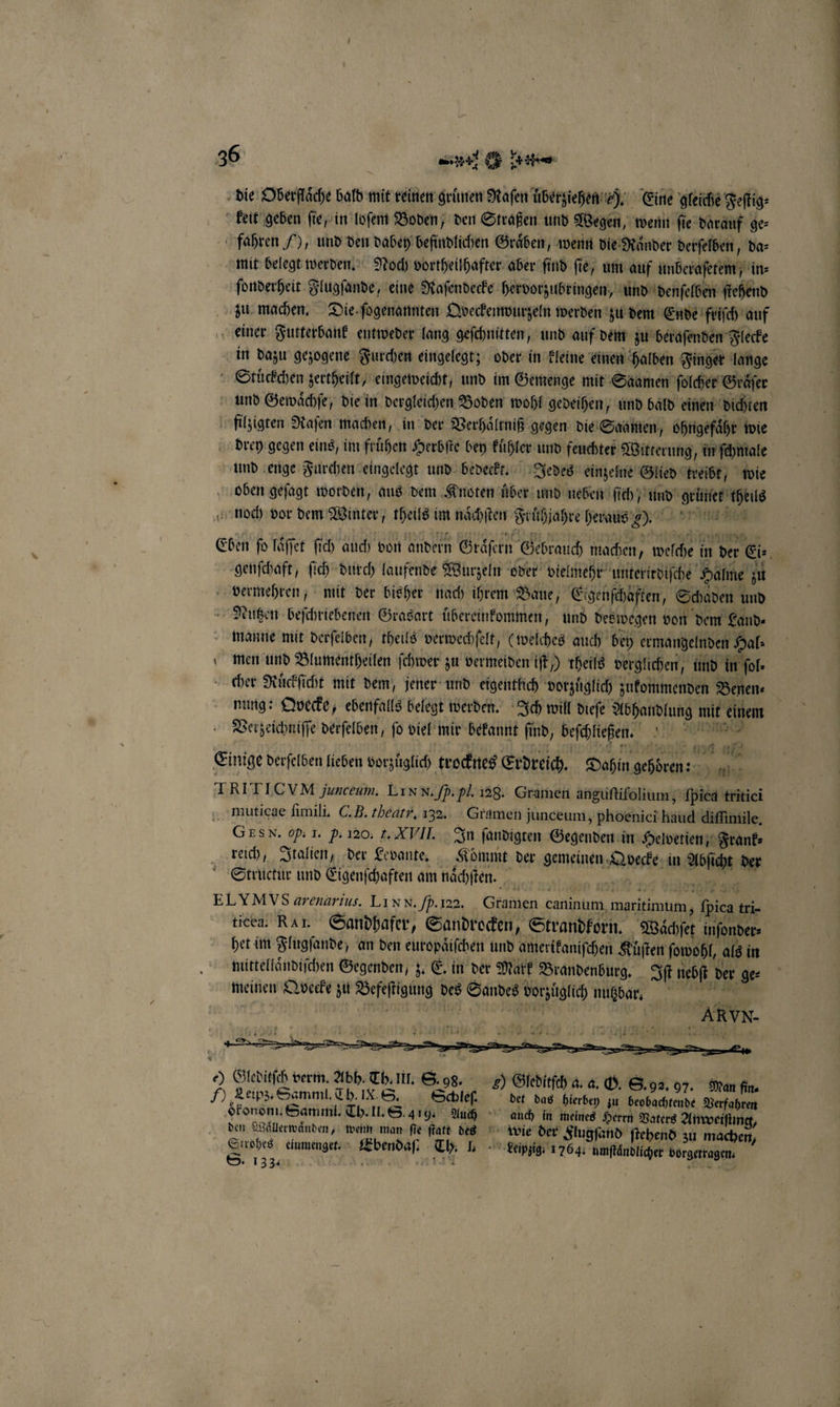 die Oberfläche bald mit reinen grünen Raſen überziehen ). Eine gleiche Feſtig⸗ keit geben ſie, in loſem Boden, den Straßen und Wegen, wenn ſie darauf ge⸗ fahren 7), und den dabey befindlichen Gräben, wenn die Ränder derſelben, da⸗ mit belegt werden. Noch vortheilhafter aber ſind ſie, um auf unbeaeften in⸗ ſonderheit Flugſande, eine Raſendecke hervorzubringen, und denſelben ſtehend zu machen. Die. ſogenannten Qveckenwurzeln werden zu dem Ende friſch auf einer Futterbank entweder lang geſchnitten, und auf dem zu beraſenden Flecke in dazu gezogene Furchen eingelegt; oder in kleine einen halben Finger lange Stuͤckchen zertheilt, eingeweicht, und im Gemenge mit Saamen ſolcher Graͤſer und Gewaͤchſe, die in dergleichen Boden wohl gedeihen, und bald einen dichten filzigten Raſen machen, in der Verhältniß gegen die Saanen, ohngefaͤhr wie drey gegen eins, im fruͤhen Herbſte bey kuͤhler und feuchter Witterung in ſchmale und enge Furchen eingelegt und bedeckt. Jedes einzelne Glied treibt, wie oben geſagt worden, aus dem Knoten uͤber und neben ſich , und . noch vor dem Winter, theils im naͤchſten Frithjahre heraus Er” FRI genſchaft, ſich durch laufende Wurzeln oder vielmehr unterirdiſche Halme zu vermehren, mit der bisher nach ihrem Baue, Eigenfchaften, Schaden und Nutzen beſchriebenen Grasart uͤbereinkommen, und deswegen von dem Land⸗ manne mit derſelben, theils verwechſelt, (welches auch bey ermangelnden Hal: men und Blumentheilen ſchwer zu vermeiden iſt ) theils verglichen, und in fols cher Ruͤckſicht mit dem jener und eigentlich vorzuͤglich zukommenden Benen⸗ mung: Qvecke, ebenfalls belegt werden. Ich will dieſe Abhandlung mit einem 0 e e 15 viel mir 1 ae Dur 10 nas TRITI CVM junceum. LI x N. 72 Pl. 128. Gramen . riet tritiei muticae ſimili. C. B. thearr, 132. Gramen junceum, phoenici haud diſſimile. GES N. G. I. P. 120. f. XVII. In ſandigten Gegenden in Helvetien, Frank⸗ reich, Italien, der Levante. Komm der gemeinen. Ane in Abc der Structur und Eigenſchaften am naͤchſten. ELYMVS arenarius. LI N N. b. 122. Gtamen « caninum maritimum N 795 ii. ticea. RAI. Sandhafer, Sandrocken, Strandkorn. Waͤchſet inſonder⸗ het im Flugſande, an den europaͤiſchen und amerikaniſchen Kuͤſten ſowohl, als in mittellaͤndiſchen Gegenden, z. E. in der Mark Brandenburg. Iſt nebſt der ge⸗ meinen Qvecke zu Wefeſtvüng! des Sandes dotzüglc nutzbar. = U enten N. e) Gleditſch verm. Abh. Th. III. S. 98. 2) Gleditſch a. a. ©. S. 92. 97. Man fin 5) Leipz. Samml. Th. IX. S. Schleſ. det das hierbey zu beobachtende Verfahren oͤkonom, Samml. Th. II. S. 419. Auch auch in meines Herrn Vaters Anweiſung, den Waͤllerwaͤnden, wenn man ſie ſtatt des wie der Flugſand ſtehend zu machen, Strohes einmenget. KEbendsf; Th. IL. Leipzig. 1764. umſtaͤndlicher vorgerragen. S. 133. Nyon 9141