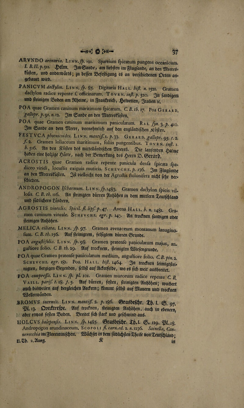 ARVNDO ætenaria. LI xx. Hp. 121. Spartium ſpicatum pungens Oceanieum. I. B. II. p. 5. Helm. Im Sande, am liebſten im Flugfande, an den Meeres⸗ Füften, und anderwaͤrts; zu deſſen Befeſtigung es an berſchiedenen Orten ari- gebauet wirr. RN PANICVM dackylon. Linn, p. 85. Digitaria Haı 1. bi. 1. 1521. Gramen dactylon radice repente ſ. officinarum. TOR N. inf. p. 50. In ſandigem und ſteinigen Boden am Rheine, in Frankreich, Helvetien, Italien ic, 50 &amp; quae Gramen caninum maritimum ſpieatum. C. B. 1h. 17. Poa Gexaro, Lallor. p. 9. . a. Im Sande an den Meeresküſten. | POA quae Gramen caninum maritimum paniculatum. Ra i. Im. 3. P. 410. Im Sande an dem Meere, vornehmlich auf den englaͤndiſchen Küſten. e phoenicoides, Luxx. mantiſſ. 1. p. 33. GERARD. gallopr..95. f. 2. . Gramen loliaceum maritimum, foliis pungentibus. To VRN. inf. x. 5.576. An den Küften des mittelländifchen Meeres. Die laufenden 67 haben eine holzige Haͤrte, nach der Bemerkung des Herrn D. Gerard ACROSTIS quae Gramen radice repente panicula denſa ſpicata fpa- diceo viridi, locuſtis exiguis muticis. SchEVCHZ. P. 136. Im Flugſande an den Meereskuͤſten. Iſt vielleicht von der Agroſtis ſtolonifera nicht ſehr ber: ſchieden. | | ANDROPOGON Ifehaemum. Li N N. . 1483. Gramen dadylon fpieis vil- lofis. C. B. th. 116. An ſteinigten dürren Anhoͤhen in dem mittlern Teutſchland + * und füplichern Laͤndern. e AGROSTIS vineahs. Spicil. fl. lipſ. p. 47. Avenã HAL T. Y. 1. 1481. Gra- men caninum vineale. Sch£venz. gr. P. 14%: An trocknen ſandigen oder ſteinigen Anhoͤhen. MELICA ciliata. Linn. P. 97. Gramen avenaceum montanum lanugino- ſum. C. B. th. 156. Auf ſteinigtem, felſigtem duͤrren Grunde. | POA angufifolia. Lin. p. 98. Gramen pratenfe paniculatum majus, an. . -guftiore folio. C. B.rh.29. Auf trocknem, ſteinigten Wieſengrunde. PO A quae Gramen pratenfe paniculatum medium, anguſtiore folio. C B. Pin. 2. ScHEVcHZ. agr. 181. Poa. HALL. bifl. 1464. In trocknen leimigtſtei⸗ nigten, bergigen Gegenden, ſelbſt auf Ackerfelde, wo es ſich weit ausbreitet. POA compreſſa. Linn. Hp. pl. 101. Gramen murorum radice repente C. B VII I. pariſi l. 18. F. 5. Auf duͤrren, feſten, ſteinigten Anhoͤhen; wuchert auch bisweilen auf dergleichen Aeckern; koͤmmt ſelbſt auf Mauern und trocknen Wellerwaͤnden. n Ä | BROMVS inermis. Linn. mantiſſ. 2. p. 186. Grasbeſchr. Th. I. S. 97. Pl. 13. Ooecktreſpe. Auf trocknen, ſteinigten Anhoͤhen. auch in ebenern, aber etwas feſten Boden. Breitet ſich ſtark und geſchwind aus. 6 HOL s balepenfis. Linn. Sp 1485. Grasbeſchr. Th. I. S. 129. Pl. g. Andropogon arundinaceum, Sc oProLifl. carni.ed. 2. N. 1236. Sainella, Can- nerecchia im Florentiniſchen. Waͤchſet in dem ſüdlichſten Theile von Teutſchland;