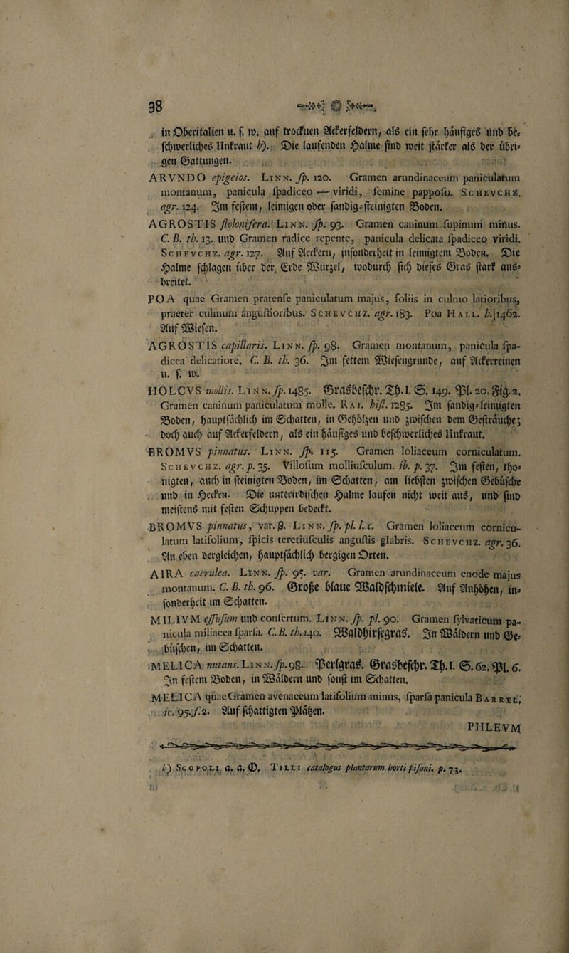 ſchwerliches Unkraut ). Die laufenden Halme Ar nd weit Are als 11 uͤbri⸗ gen Gattungen. HEFT ARVNDO epigeios. Linn. p. 120. Gemen e baren montanum, panicula ‚(padiceo viridi, ſemine pappoſo. SCHEVcHZ, agr.124. Im feſtem, leimigen oder ſandig⸗ ſteinigten Boden. AGROSTIS ffoloni ſerau. LI x N. Jp: 93. Gramen caninum ſupinum minus. C. B. tb. 13. und Gramen radice repente, panicula delicata ſpadiceo viridi. ScHEvcHz. agr. 127. Auf Aeckern, inſonderheit in leimigtem Boden. Die Halme ſchlagen über der, Erde Wurzel y wodurch ſich dieſes Gras ſtark aus breitet. OA quae Gramen pratenſe paniculatum majus, foliis in culmo are praeter culmum anguftioribus, SCHEVENHZ. agr. 183. Poa HALL. ger Auf Wieſen. AGROSTIS capillaris. Linn. /. 98. 1 montanum, panicula pa- dicea delicatiore. C. 9 th. 36. Im fettem Wieſengrunde, auf Ackerreinen u. ſ. w. Aa HOLCVS mollis. Linn. p. 1483. Grasbeſchr. Th. I. S. 149. Pl. 20. Sig, 8, Gramen caninum paniculatum molle. RA T. Hit. 1285. Im ſandig⸗ leimigten Boden, hauptſaͤchlich im Schatten, in Gehoͤlzen und zwiſchen dem Geſtraͤuche; doch auch auf Ackerfeldern, als ein häufiges und beſchwerliches Unkraut. BROM VS pinnatus. LIN N. / 115. Gramen loliaceum corniculatum, ScHEVCHZ. agr. P. 35. Villoſum molliuſculum. 1b. P. 37. Im feften, tho⸗ nigten, auch in ſteinigten Boden, im Schatten, am liebſten zwiſchen Gebuͤſche und in Hecken. Die unterirdiſchen Halme laufen nicht welk aus, ht 2 meiſtens mit feſten Schuppen bedeckt. latum latifolium, ſpicis teretiufeulis anguſtis glabris. Schrvec HZ. 2 5 36. An eben dergleichen, hauptſaͤchlich bergigen Orten. ſonderheit im Schatten. buͤſchen, im Schatten. BIG nutans. LIN N. Ip. 98. Perlgras. Grasbeſchr: 55. I. S. en * In feſtem Boden, in Waͤldern und ſonſt im Schatten. Ir. 95. UN. Auf We Platzen. PHLEYM u c r