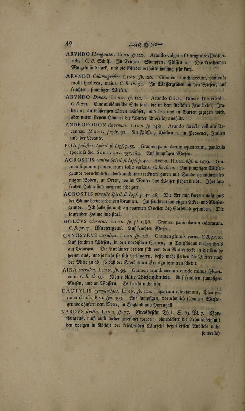 ridis. C. B. Schilf. In Teichen, Suͤmpfen, Fluͤſſen ꝛc. Die kriechenden Wurzeln find ſtark, und die Glieder verhaͤltnißmaͤßig fehr kurz. ARVNDO Calamagroflis. LIN N. Hb. 120. Gramen arundinaceum, panicula molli ſpadicea, majus. C. B. rh. 94 In He he an Du 3 Ei feuchten, ſumpfigen Wieſen. ARVNDO Donax. Linn. p. 120. Arundo ſativa, Donax Dioſeoridis. CB. 271. Eine ausländifche Schilfart, die in dem ſüͤdlichen Frankreich, Ita⸗ lien ꝛc. an waͤßerigen Orten waͤchſet, und bey uns in Gärten gezogen air, aber unter freyem Himmel die Winter ſchwerlich aushaͤlt. oel ANDRO POGON Ravennae. Linn. Fb. 1481. Arundo farecta valium Ra- vennae. Mo r. prodr. 32. An Fluͤſſen, Baͤchen ꝛc. in Provence, Zralien und der Levante, 0 Ning POA palufiris Spicil. fl. Lipf- p. 55. Gramen paniculatum aquaticum, ift fpeciofa &amp;c. Schν VR. agr, 184. Auf ſumpfigen Wieſen. | AGROST IS canına Spicil. A. Lipſi p. 47. Avend. Hart. Hit. 1. 1479. Gra. men fupinum paniculatum folio varians. C. B. b. 12. Ini ſumpfigen Wieſen⸗ grunde vornehmlich, doch auch im trocknem guten mit Sande gemiſchten lei⸗ migem Boden, an Orten, wo im Winter das Waſſer ſehen bleibt. AR lau⸗ fenden Halme ſind meiſtens ſehr zart. AGROSTIS vinealis Spicil. fl. Lipf. P. 47. 48. Die Art mit e nicht zus der Blume hervorgehenden Grannen. In feuchtem ſumpfigen Acker ⸗ und Wieſen⸗ grunde. Ich habe fie auch an warmen Qvellen bey Carlsbad gefuupeh Die laufenden Halme ſind ſtark. N el gen HOLCVS odoratus. LIN N. p. pl. 1486. Gramen N odoratum. C. B. pr. 2. Mariengras. Auf feuchten Wieſen. CYNOSVRVS caeruleus. LI N N. p. 106. Gramen glumis variis. Br B. pri 2 Er Auf feuchten Wiefen, in den nordifchen Ebenen, in Teutſchland mehrentheils auf Gebirgen. Die Auslaͤufer breiten ſich von dem Mutterſtocke in die Runde herum aus, und je mehr fie fich verlängern, deſto mehr ſterben die Blätter nach der Mitte zu ab, ſo daß der Stock einen Kreis zu formiren ſcheint. AI RA caerulea. Linn. p. 95. Gramen arundinaceum enode minus Ghati- cum. C. B. rb. 97. Kleine blaue Wieſenſchmiele. Auf feuchten funpfigen Wieſen, und an Waſſern. Es kriecht nicht ſehr. | DACTYLIS cynofuroides. Linn. Jb- 104. partum offexianum, 1 „ 9255 mina claufa. RA I. fyn. 303. Auf ſumpfigen, vornehmlich thonigen Wieſen⸗ grunde ohnfern dem Meere, in England und Portugall. NARDVS ride, Linn. Ip. 9. Grasbeſchr. Th. . S. 65. Pl. 7. Bor- ſtengras, muß auch hieher gerechnet werden, ohnerachtet die Aehnlichkeit. mit den gorigen in Abſicht der krechenden Wurzeln beym erſten Anblicke nicht * g ſonderlich