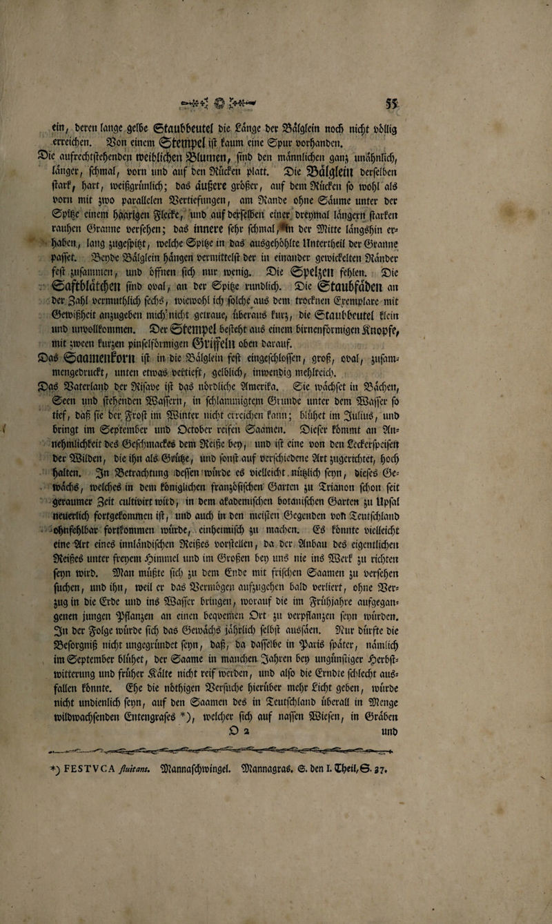 ein, deren lange gelbe Staubbeutel die Länge der Baͤlglein noch nicht völlig J erreichen. Von einem Stempel iſt kaum eine Spur vorhanden. Die aufrechtſtehenden weiblichen Blumen, ſind den maͤnnlichen ganz unaͤhnlich, laͤnger, ſchmal, vorn und auf den Rücken platt. Die Baͤlglein derſelben ſtark, hart, weißgruͤnlich; das aͤußere größer, auf dem Ruͤcken ſo wohl als vorn mit zwo parallelen ee am Rande ohne Saͤume unter der Sptitze einem haarigen Flecke, und auf derſelben einer dreymal laͤngern ſtarken rauhen Granne verſehen; das innere ſehr ſchmal, An der Mitte laͤngshin er⸗ haben, lang zugeſpitzt, welche Spitze in das ausgehoͤhlte Untertheil der Granne 45 en Beyde Baͤlglein hängen vermittelſt der in einander gewickelten Raͤnder feſt zuſammen, und. öffnen ſich nur wenig. Die Spelzen fehlen. Die » Saftbläthen find oval, an der Spitze rundlich. Die Staubfaͤden an 5 5 Zahl vermuthlich ſechs, wiewohl ich ſolche aus dem trocknen Exemplare mit Gewißheit anzugeben mich' nicht getraue, überaus kurz, die Staubbeutel klein f und unvollkommen. Der Stempel beſteht aus einem brnenſdrnigen Knopfe, mit zween kurzen pinſelformigen Griffeln oben darauf. Das Saamenkorn iſt in die Baͤlglein feſt eingeſchloſſen, groß, oval, zuſam⸗ mengedruckt, unten etwas vertieft, gelblich, inwendig mehlreich. Das Vaterland der Riſave it das nördliche Amerika. Sie waͤchſet in Baͤchen, 1 Seen und ſtehenden Waſſern, in ſchlammigtem Grunde unter dem Waſſer ſo 2 tief daß fie e der Froſt im Winter nicht erreichen kann; bluͤhet im Julius, und bringt im September und October reifen Saamen. Dieſer kommt an Ans 23 Zuehttlchkett des Geſchmackes dem Reiße bey, und iſt eine von den Leckerſpeiſen der Wilden, die ihn als Gruͤtze, und ſonſt auf verſchiedene Art zugerichtet, hoch un halten In Betrachtung deſſen wuͤrde es vielleicht nuͤtzlich ſeyn, dieſes Ge⸗ waͤchs, welches in dem königlichen franzöfifchen Garten zu Trianon ſchon ſeit geraumer Zeit cultibirt wird, in dem akademiſchen botaniſchen Garten zu Upſal neuerlich fortgekommen iſt, und auch in den meiſten Gegenden von Teutſchland was ae fortkommen wuͤrde, einheimiſch zu machen. Es koͤnnte vielleicht eine Art eines innlaͤndiſchen Reißes vorſtellen, da der Anbau des eigentlichen Heißes unter freyem Himmel und im Großen bey uns nie ins Werk zu richten ſeyn wird. Man muͤßte ſich zu dem Ende mit friſchen Saamen zu verſehen ſuchen, und ihn, weil er das Vermögen aufzugehen bald verliert, ohne Ver— zug in die Erde und ins Waſſer bringen, worauf die im Fruͤhjahre aufgegan⸗ genen jungen Pflanzen an einen beqvemen Ort zu verpflanzen ſeyn wurden. In der Folge wuͤrde ſich das Gewaͤchs jaͤhrlich ſelbſt ausſaͤen. Nur duͤrfte die Beſorgniß nicht ungegruͤndet ſeyn, daß, da daſſelbe in Paris ſpaͤter, naͤmlich im September bluͤhet, der Saame in manchen Jahren bey unguͤnſtiger Herbſt⸗ witterung und früher Kälte nicht reif werden, und alſo die Erndte ſchlecht aus: fallen koͤnnte. Ehe die noͤthigen Verſuche hieruͤber mehr Licht geben, wuͤrde nicht undienlich ſeyn, auf den Saamen des in Teutſchland überall in Menge wildwachſenden Entengrafes ), welcher ſich auf naſſen Wieſen, in Gräben 5 O 2 und rrrrrrrrrrrrrr—— — —-—¼ — ) FEST VCA Auitant. Mannaſchwingel. Mannagras. S. den J. che S 37.