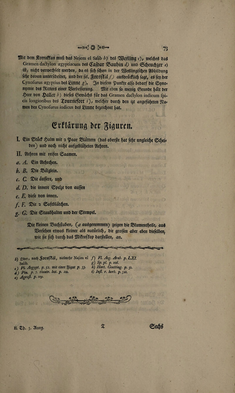 Mit dem Korrakkan muß das Nejem el Salib b) des Wesling c), welches das Gramen dadtylon ægyptiacum des Caſpar Bauhin d) und Scheuchzer e) iſt , nicht verwechſelt werden, da es ſich ſchon in der Weslingiſchen Abbildung ſehr davon unterſcheidet, und der ſel. Forsſkäl /) ausdrücklich ſagt, es ſey der Cynoſurus ægyptius des Linne g). In dieſem Punkte alſo bedarf die Syno— nymie des Ritters einer Verbeſſerung. Mit eben ſo wenig Grunde haͤlt der Herr von Haller 5) dieſes Gewaͤchs fiir das Gramen dactylon indicum ſpi- cis longioribus des Tournefort 7), welcher durch den izt in Na: men den Cynofurus indicus des Linne Wei hat. Erklärung der Figuren. I. Ein Stuͤck Halm mit 2 Paar Blättern (das oberſte hat fehr ungleiche Schei⸗ den) und noch nicht aufgebluͤheten Achren. II. Aehren mit reifen Saamen. 4. A. Ein Aehrchen. 5. B. Die Baͤlglein. c. C. Die aͤuſſere, und 4. D. die innere Spelze von auſſen e. E. dieſe von innen. / E. Die 2 Saftblaͤchen. g. G. Die Staußhalter und der Stempel. | Die kleinen Buchſtaben, (a gen) zeigen die Blumentheile, aus Verſehen etwas kleiner als natuͤrlich, die groſſen aber eben dieſelben, wie ſie ſich durch das Mikroſkop darſtellen, an. — NORS 5) Oder, nach Forsſkaͤl, vielmehr Najim el 7) Fl. Are. Arab. p. LX1. Selib. g) Sp. pl. p. 106. c) Pl. Argypt. p. 52. mit einer Figur p. J. 4) Hort. Goetting. p. sı. d) Pin. p. 7. theatr. bot. p. 110. 2) Inſt. r. Herb. p. 521. e) Agroſt. p. 109. HE. 3. Ausg. | T Sechs