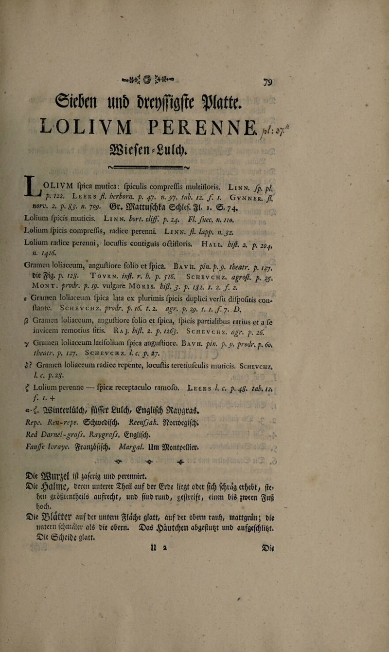 Sieben und dreyſſigſte Platte. LOLIVM PERENNE Wieſen⸗Lulch. . * Lor fpica mutica: ſpiculis compreſſis multifloris. Li NN. f. pl. P. 122. LEER S fl. Herborn. p. 47. n. 97. tab. 12. f. J. GxVNN ER. A. norv. 2. p. 83. u. 709. Gr. Mattuſchka Schleſ. Fl. 1. S. 74. Lolium ſpicis muticis. LI NN. Hort. cliſſ p. 24. Fl. ſiec. m 110. Melium fpieis compreſſis, radice perenni. LI NN. H. Iapp. u. 52. Lolium radice perenni, 5 eontiguis octifloris. HAT T. bif 2. p. 204 n. 1416, Gtamen loliaceum, anguſtiore folio et fpica. BAV R. pin. P. 9. theatr. p. 127. die Fig. P. 125. Tovan. inf. 7. b. p. 516. Schevenz. agrofl. p. 25. Mox r. prodr. p. 19. vulgare Moris. Bf 3.2 12. k. 2. f. 2. € Gramen loliaceum fpica lata ex plurimis fpieis duplici verſu . con- ſtante. Scugv CHE. prodr. P. 10. t. 2. agr. p. 20. f. I. H. D 8 Gramen loliaceum, anguſtiore folio et fpica, ſpicis partialibus rarius et a fe invicem remotius ſitis. Ra J. bifl. 2. P. 1263. ScHEVCHZ. agr. p. 28. Gramen loliaceum latifolium ſpica anguſtiore. Ba vn. Pin. p. g. Prodr. p. 60, tbeatr. p. 127. SchrvcRZ. l. c. p. 29. 92 Gramen loliaceum radice repente, locuflis teretiufeulis muticis. SchgvcHz, I. c. P. 25. i Lolium perenne — fpicz receptaculo ramoſo. Lrens . c. P. 4. tab. 12 J. 1. 4 | e-2. Winterluͤlch, ſuͤſſer Lulch, Engliſch Raygras. Repe. Ren repe. Schwediſch. KReenfjak. Norweglſch. Red Darnel-grafs. Raygrafs, Engliſch. | Fauſſe Toraye, Franzoͤſiſch. Margal. Um Montpellier. ie * Die Wurzel iſt zaſerig und perennirt. Die Halme, deren unterer Theil auf der Erde liegt oder ſich ſchraͤg erhebt, fie: hen groͤßtentheils , und N rund, geſtreift, einen bis N Fuß hoch. EL Die Blätter auf der untern Fläche glatt, auf der obern rauh, wattgrüͤn; die untern ſchmaͤler als die obern. Das Haͤutchen abgeſtutzt und aufgeſchlitzt. Die bh glatt. 1 2 Die