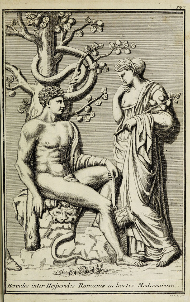 £a$:3. 'VS/T/TV/fly, m\sx\m> r Romanis in hortis ÄtecLtceohicm. Hercules inter Hejpert