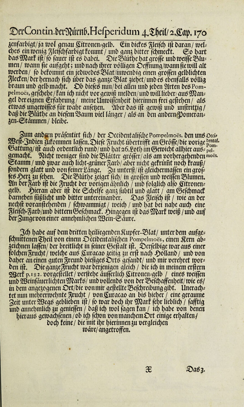 ■DerContin.fcer^ürn^Hefperidum 4.^ct(/ 2$q&gt;, 170 $cnfarbigt/fa wo! genau Sitroncmgelb. (Ein btcfeö gletfcf) ifl Daran / »eh d)C6 ein roentg gleifchfarbigt fonunt / unb gan§ bitter fehmeeft. ©0 hart babSÄarf ifl/fo fauer ifl cd babei. ©ic55lüthehatgro|[e unbweiffeSM» men/ wann fte aufgebt; uitbnad) ihrer völligen Ocffnung/wannftewill alt »erben/ fo befoimnt ein febwebebSMat/imvcnbig einen groffen gelblicbten glecFen/berbcrnacb ficb über bas ganjc^Mat jiehef/unb eb ebenfalls völlig braun unb gelb macht. Ob biefeb nun/ bei allen unb (eben Slrten beb Pom- peimocs.gefchehe/fan id) nid)f »orgemifi melbcn/unb will lieber/ aubSfta» gel ber eignen Erfahrung/ meine Unmiffcnheit hürinnenfreigcjtehen/ alb etmab ungemiffeb für wahr anfehen. '/(ber bab ifl gewifj unb unjtrittig / baß bie S5lüthe an biefem SSaum soiel länger / alb an ben anbern ipomera» jen-@tämmen/ bleibe. Sunt gnbirn präfentirt ftef) / ber ©cciöenfalifchePompeimoes, ben unb 3Befl-3nbien jlifonmten laf[en.©iefe Srudrt übertrifft an©röffe/bie »orige p*“1, ©attung/ifl auch orbentlid) runb/unb l)at 26.20t!) im ©e»id)t allhier aus; pei-' gemacht, laicht weniger ftnb bie SMättcr gröffcr/alb am »orhergehenben mois- ©tamm / unb $»ar aud) lid)t-grüner §arb/ aber nicht gefrümt noä) fr auf/ fonbern glatt unb »01t feiner Sänge. 3tt unterft/ ifl gleichermaffcn ein grof feb fyexs ju fehen. ©ie SMüthe jetget ff d&gt;/ in großen unb »eiffen Blumen. Sin bergarb ifl bie 3rud)t ber »origen ähnlid) / unb folglich alfo ffitrone» gelb, hieran aber ifl bie ©d&gt;elfe gan$ fubtil unb glatt / am ©efehmaef barneben füfjlicht unb bitter unfereinanber. ©ab gieifd) ifl / t»ie an ber ncd)fl »oranflehenben / fch»ammtgt/ »eich / unb hat bei nahe auch eine gleifch-Sarb/unb bittern©efchmacf. hingegen ifl babSflarf »eifj/unb auf ber gungevon einer annehmlid)en SBein-®äure. 3d&gt; habe auf bem briften bciliegcnbenälupfer-SMat/ unter bem aufge* fchnittenen^htü t»n einem ©ceibentalifchen Pompelmoes, einen äfern ab* jeichnen laffen/ ber breitlid)t in feiner ©eftalt ifl. ©erfelbigc toaraub einer folchenSruchf/ »eiche aub Suracao jteitig $u erfl nach €&gt;ollanb/ unb »on baher an einen guten greunb hieftgeb Orts gefanbt/ unb mir »erehret »or* ben ifl. ©ie gan^Srucht »ar berfenigen gleid) / bie ich in meinem erflern Sßerf p.i 8 2. »orgeftellet/ »erflehe äufferlid) gitronemgelb / eineb »eiffen unb2Beinfäuerlid)ten9Dtarfö/ unb»ollenbb »on berSkfchaffenheit/mte eb/ in bem angelegenen Ort/bic »on mir geflehte 5Scfd)rcibung gibt. Unerad)* tet mm mchrermebnte grud/t / »onguracaoan bibhieher/ eine geraume geit unter SBegb geblieben ifl/ fo »at bod&gt; ihr SJtarf fehr lieblich / fafjftig unb annehmlich ju genieffen / bafj ich »ol fagen fan / ich hübe »on beneti hieraub ge»achfenen/ob ich fd)on »onmanchemOrt einige erhalten/ bod) feine/ bie mit ihr hierinnen 51t vergleichen »äre/ angetroffen. 38 ©ab 3.