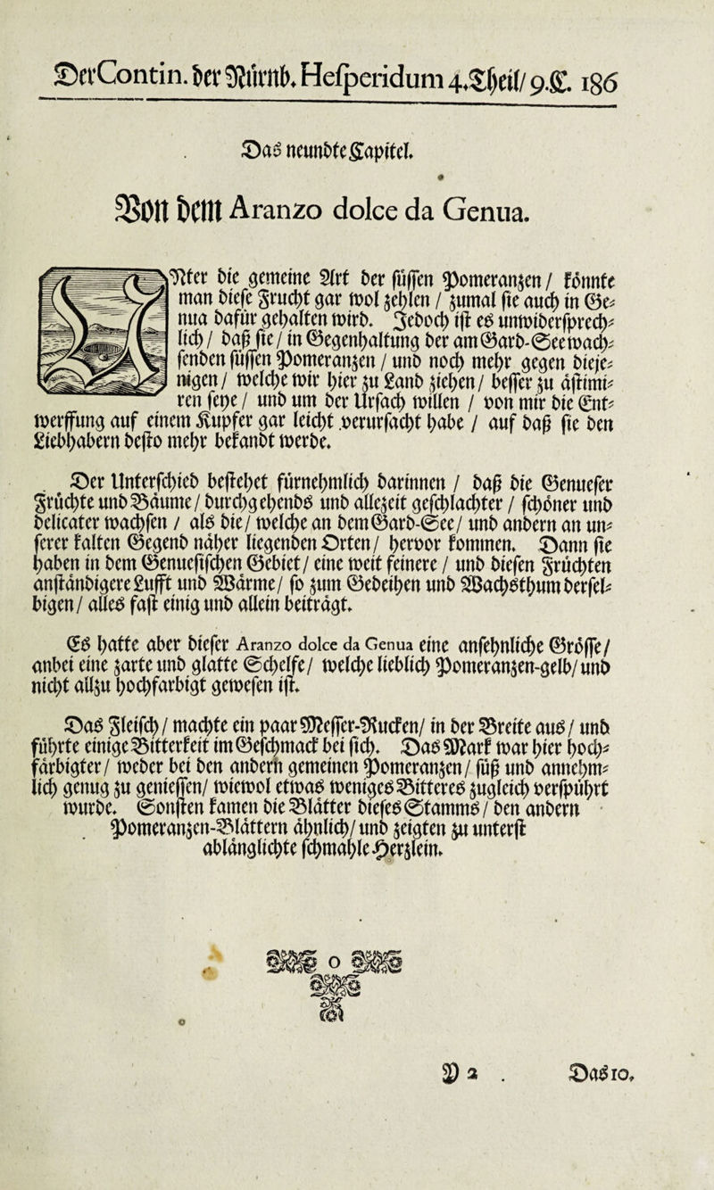 JDevContin. t&gt;cv Hefperidum 4,£(jeil/ 9.S). 186 ©aö ncunbtegapitcl. i’BOlt teilt Aranzo dolce da Genua. Wer bie gemeine 2lrt £&gt;er fuffen fpomeranjen / fönnte man biefe gruept gar mol jeplen / jumal fie au cf) in ©e^ nua bafür gehalten mirb. 3ebocp iß es unmiberfpreep* lief&gt;/ baß fie / tn ©egenpalfung ber am©arb-@eemacp; fenben fußen «pomeransen / mtb noef) mef)r gegen bieie- nigen/ mcfd)e mir pier $u ganb ßepen/ beffer 51t äftimt- ren fepe / unb um ber Urfacf) millen / oon mir bie gnt* merßung auf einem Tupfer gar leicf&gt;t oerurfaept pabe / auf baß fie ben giebpabern beßo mepr befanbt merbe. ©er Unferfcpieb beßepet fürnepntlicß barinnen / baß bie ©enuefer gefiepte unb Säume / burepgepenbs unb allezeit gefcplacpter / fd) Örter unb bclicater maepfen / als bie/ melcpe an bem©arb-®ee/ unb anbern an um ferer falten ©egenb näper liegenben Orten/ peroor fommen. ©ann fie paben in bem ©enuefifepen ©ebtet / eine meit feinere / unb biefen grüepten anßänbigere grifft unb SBärme/ fo jum ©ebeipen unb Sßacpstpum berfeb btgen/ alles faß einig unb allein beiträgt. C£S patte aber biefer Aranzo dolce da Genua eine anfepnltcße ©röffe/ anbei eine jarte unb glatte ©cpelfe/ melcpe lieblicp ^omeranjen-gelb/uttb niept allßt poepfarbigt gemefen iß. ©aö gleifcß / maepte ein paar 9)?eßer-fRucfen/ in ber Greife aus / unb füprte einigeSttterfeitim©efcpmacfbeiftep. ©aSSJfarfmar pier poep* färbigfer/ meber bei ben anberit gemeinen ^otneranjen / füß unb anneptm lief) genug ju genießen/ mtemol etmaö mentges Sitter es juglcicp »crfptiptt mürbe. ®ortßen famen bie Slätter biefes (Stamms / ben anbern fPonteranjen-Slättern äpnlicp/unb zeigten ju unterß ablänglicpte fcpmaple^erjlein. /