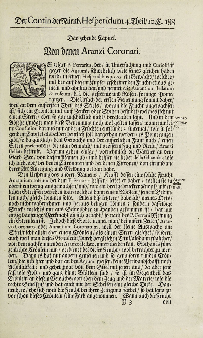 ©er Contin.tier^ürit^Hefperidum 4&amp;Ijeif/ io,&amp;\ 188 ©ab jdjjcnbc gapitcl. kntn Aranzi Coronati. B jetget P. Ferrarius, bd*/ itt tlntcrfiicl)tmg Ullb Curiofitdt gegen bie Agrumi, fcbwcbrlid) »tele fetneb gleichen haben wirb/ in feinen Hefperidibusp.3 95. etn©ewad)b/ wclcbce/ mit ber auf biefem Tupfer erfd&gt;einenbengrud)t/etwab ge? mein «nb ähnlich hat/nnb nennet cb: Aurantium fteiiatum &amp; rofeum, b.i. bie gcfternte tmb 9lofen?formtge ipornc? ranjen. ©ie Urfacp ber ctftcn Benennung fotnnit baber/ weil an bem dufferff en Sbcil beb ©fiele / woran bie grncht angewacbfett iff/ fiel) ein grönlein mit fünf genfen ober ©piiscn befiiibet/roelclrce fiel) mit einem ©fern/ eben fo gar tmfcl)icE(icf) nicht/ vergleichen löjft. Unb in bem Aranzo Slbfeben/mögte man biefe Benennung noch wol gelten (affen/ wann nur fei?coroM- ne Confufion barattb mit anbern Stückten entfhinbe; fmtemal/ wie in fob“' genbemgapitelalbbalben beutlicl) foll bargetpan werben/ cb Pomeranzen gibt/fo ba gänzlich / bem ©ewdebb tmb ber dufferlid)cn gigur nad) / einen ©fern pnefentiren/ bie man bcntnach/ mit gröffermgug tmb SKed)t/ Aranzi fteiiati betitult. ©arunt gehen einige / vornehmlich bie ©drtnee an bem ©arb-@ee / von biefem Planten ab / unb beiffen fte lieber deiia chianda; wie id) hiebevor/ bei benengttronaten unb beibenen ©fronen/ von ein unb an? berertlrt Slnregung unb Reibung gefilmt habe. ©en Urfprung beb anbern 5tamcno / dirafft beffen eine folclfc grud)t Aurantium rofeum bet bCtU P. Ferrario pCtffef / (CltCt er baber / Weilen fte jU^1?,nzo oberji ein wenig aubgewad)fen/ unb/ wie ein breitgebruefter Ättopf/ mit cf; Roß. liehen ©treiffen oerfepen war/we(d&gt;eb bann einem ‘tKöblein/ feinem 33ebün? ten nach/ gleich fontmen folte. Mein biß (entere / habe ich/ meines ©rtb/ noch nicht wabrnebmen unb beraub bringen fötuteit; fonbent baffelbige ©tuet'/ welches mtr atte ©cbmöbber 51t jpanben gekommen tfi / bat nur einzig babjenige 9ftcrfmal)l an ftd) gehabt/ fo nad) beb p. Ferrani gflcimmg ein ©ternlein ift. 3ebod) biefe ©orte nennet man/ bet unfern feiten/ Aran¬ zo Coronato, Ober Aurantium Corona tum, Weil btt fletttC §lUbWdd)b attt ©tiel/niebt allein eber einem grönlein/alb einem ©fern gleichet/ fonbent auch weil man biefeb ©cfd)(cd)t/burd) bergteicben ©tul/albbann füglicbct/ von bemnaebfotnmenben Aranzo ftellato,unterfd)etbenf an. ©othatteb fünf? jenfiebte grönlein nun / verbienet bet btefer gruebt/ wol betrachtet zu wer? beit, ©ap eb bat mit anbern gemeinen unb fo genanbten runben grön? lein/.bie fiel) hier unb bar an bcnAgrumi weifen/feine 33erwanbfd)afft noch 5lebnlicbfeit; unb gebet zwar von bem ©fiel mit jenen aub/ ba aber jene faff wie JP&gt;ol$ / unb ganz bunte SBlätlem ftitb / fo ift im ©egentbeil bab grönlein an biefem ©ewdebb/oon eben bemgeug unb ber Materie/wie bie rechte ©ebelfen/ unb bat auch mit ber ©cbelfett eine gleiche ©iefe. ©an? nenbero/ ehe fta) noch bie gruebt bei ihrergeitigung färbet/ fo bat lang zu vor fchon biefeb grönlein fetnegarb angenommen. SBann aud)biegrud)t 2) 3 bon