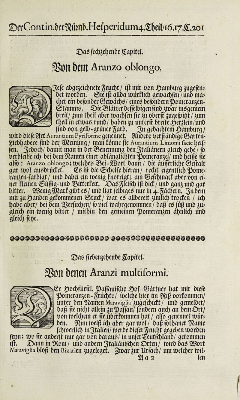 ©erContiii.kf^ibnb.Hefpcridum4^1)eil/i6j7.£.2oi ©ad fcd)$ehcnbc gapifel. $0it t)Cm Aranzo oblongo. 3efe abgejeicpnete Srucpt / iff mir »on Hamburg jugefetu bet worben. ©ie ift aliba würflig gewachfen / unb ma* ebet ein befoitberöewächd/ etned befonbern$)omeran$en- ©tammd. ©ie Blatter bcffelbtgen ftnb $war tndgemeüt breit/ Juni tpetl aber waepfen fte ju oberft jugefpipt / $um tt&gt;ei 1 in ctmad runb/ haben $u unterfi breite jP&gt;erjlein/unb finb »on gelb - grüner Sarb. 3n gedachtem Hamburg / wirb biefe SlrtAurantiumPyriformegenennet. 2inbere »erftänbige ©arten- Siebpabere ftnb ber Meinung/ manfonne fte Aurantium Limoniifadepeip fen, 3cbiid)/ bamit man in ber Benennung ben3taliänern gleich gebe / fo »erbletbe ich bei bem tarnen einer ablänglicpten ?)omeranje|/ unb petffe fte alfo: Aranzo oblongo; welcped 35ct-5Bort bann / bie äuffcrltcpe ©eftalt gar mol audbrücf et. €d ift bie ©cpelfe hieran / recht eigentlich ipome* ranjeit-farbigt/ unb babei ein wenig fnorrigt; am ©efd)macf aber non ei* ner tleinen ©tifftg- unb SSitterfcit. ©ad gletfcp ift bief / unb ganj unb gar bitter. SBentg 9Äatf gibt ed / unb ligt felbtged nur tn 4. Sachern. 3« bem mir jupanben gefommenen ©tuet / mar ed allbereit jimlicp troefen / ich habe aber/ bei bem 23crfucpen/ fooiel waprgenontnten/ bafj ed fiif; unb 5m gleich ein wenig bitter / mithin ben gemeinen ipomeranjen ähnlich unb gletd) fepe. „ ©ad ftebenjepenbe Sapitel. 3501t kmn Äranzi multiformi. Ix -fwcpfürftl. ?)affauifche ^of-©ärfner hat mir biefe 9&gt;onteran$en-Srüchte/ welche hier im ©\tf5 »orfommen/ unter ben Flamen Maravigiia $ugefd)icft/ unb gemelbet/ bafj fte nicht allein $u*paffau/ fonbern auch an bem Ort/ »on welchem er fte überfontnten hat/ alfo genennet wür* ben. 9tun weif ich «ber gar wol / baf; fotpaner ‘Jiarne fcpwerlicp in 3talien/werbe bicferSrucht gegeben worben fepn; wo fte anberfi nur gar 001t baraud/ tn unferSeutfcplanb/ gefommen ift. ©anntnSKom/ unb andern 3taliänifcpen Orten/ wirbbadSBort Maravigüa bloß ben Bizarien jugeleget. 3mar jur Urfacp/ um welcher wtP 21 a 2 len G