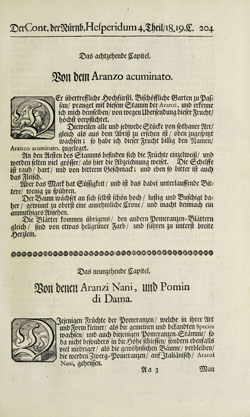 s £)evCont, ktlfturn&amp;.Hefperidum 4.Sf)ei(/i8.i9.£* 204 ■ . I |»| '»I TU ' ' ' ' ■ 1 1 — ■ ■' * 1,1 * r 1 1 «f * ■■■-,, n ■ ■ 1.1 I, I , I ©ab ad)tjcl)cnbe gapitel, m\ t&gt;CIU Aranzo acuminato. €r übertrepche JP)od)fürfH. S5ifd)öPd&gt;e ©arten jutpaf? fau/ pranget mit biefem ©tamm Per Aranzi, unb erfenne id) mid) benifelben/ bon wegen Uberfenbungbiefer3rud&gt;t/ höchfl; berpftieptet. ©iewctlcn alte unb iebwebe ©ttief e bon fbft&gt;aner SCrf/ gleich alb aub bem 2wrtf $u etfepen ift / oben jugefpigt warfen; fo habe id) biefer gruept billig ben tarnen/ Aranzo acuminato, JugelegCt. 2tn ben Slcftcn beb ©tammb befinben fid) bie S&gt;'iid)tc ein$eltt&gt;ei(5/ unb »erben feiten biel gröffer/ alb l)ter bie 2lb$eichnung weifet, ©ie ©cbelffe jjl raut&gt;/ l&gt;art / unb bon bttterm ©efetnnaef; unb eben fo bitter iffc auch bab Seifet)- Slber bab SSRarf l&gt;at (Süffigfett / unb ift bab habet unterlaufenbe %5iU tere/ wenig ,$u fpühren. ©erSSaum wächfet an fiel) fclbft fdwn l&gt;ocf&gt; / luftig unb 55ufd)igt ba* |&gt;er / gewinnt $u obetft eine annel&gt;mlid)e firone / unb tnad)t bemnad) ein anmutbtgebSlnjehen. ©ie glätter fomtnen übrigenb/ ben anbernpomeranjen-^Mattern gleich/ finb bon etwab hellgrüner Jarb/ unb führen 511 unterft breite jf&gt;er$lein. ©ab neunjehenbe gapitel. £B01t Um Aranzi Nani, di Daraa. Pomin ftejentgen Snichfe ber Remter atip / weicht in ihrer Slrt unb^orm Heiner/ alb bie gemeinen unb betäubten Speaes wachfen/ unb auch biejenigen tpomcran$en-©tdmme/ fo ba nicht befonberb in bie^ohe fd)ic(fen/ fonbern ebenfaltb biel niebriger/ alb bie gemöl)nlid)en Saume/ berbleiben/ bie wcrbenjwerg-pomeranäen/ aufStaliänifd)/ Aranzi Nani, gehetjfen. _ . 2la 3 «Watt
