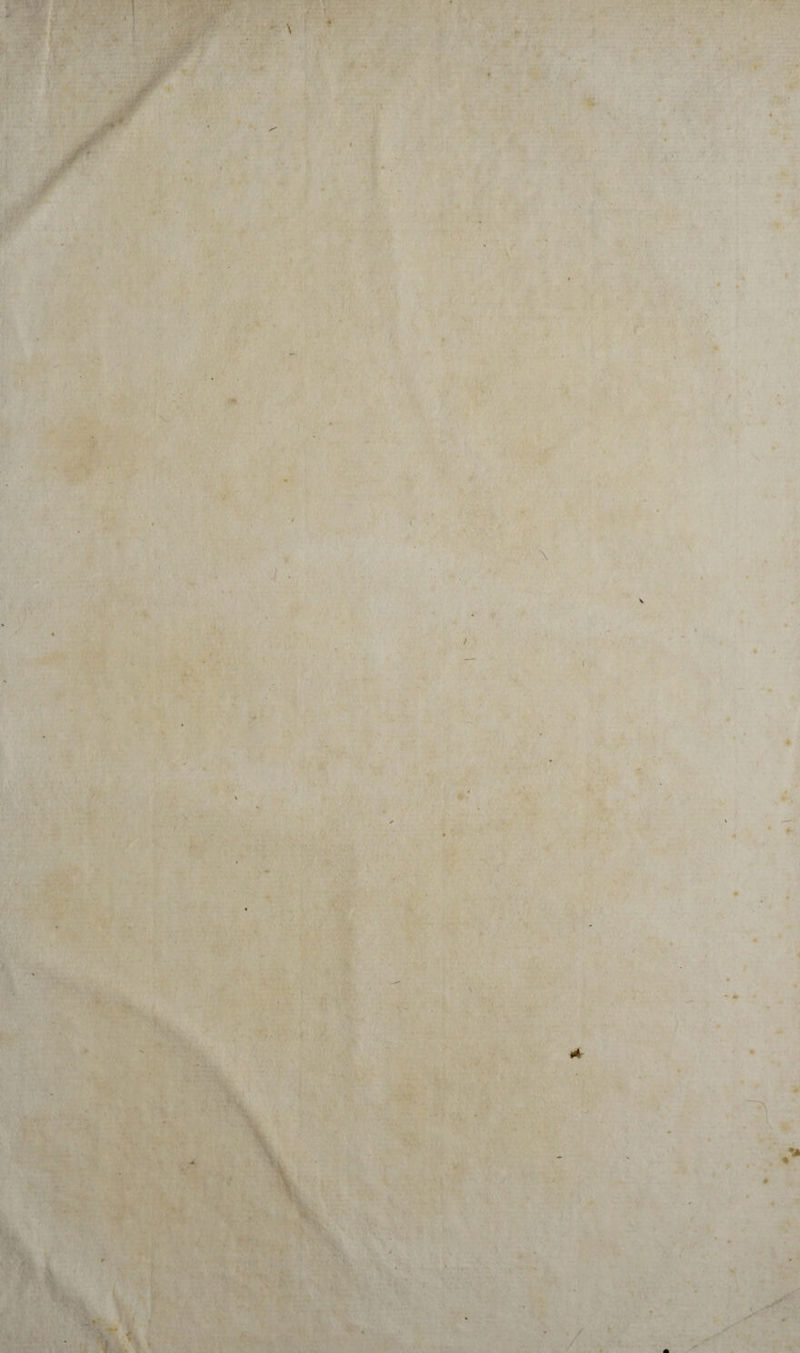 / / i \ i / l ( \ * f m * ✓ t