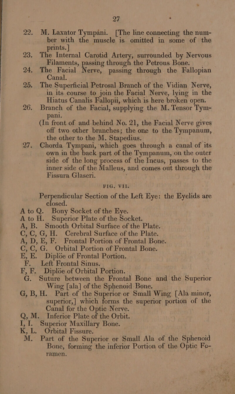 2d ; 22. M. Laxator Tympani. [The line connecting the num- ber with the muscle is omitted in some of the prints. | 23. The Internal Carotid Artery, surrounded by Nervous Filaments, passing through the Petrous, Bone. 24. me Facial Nerve, passing through the Fallopian anal. 25. The Superficial Petrosal Branch of the Vidian Nerve, in its course to join the Facial Nerve, lying in the Hiatus Canalis Fallopii, which is here broken open. 26. Branch of the Facial, supplying the M. Tensor Tym- pani. (In front of and behind No. 21, the Facial Nerve gives off two other branches; the one to the Tympanum, the other to the M. Stapedius. 27. Chorda Tympani, which goes through a canal of its own in the back part of the Tympanum, on the outer side of the long process of the Incus, passes to the inner side of the Malleus, and comes out through the Fissura Glaseri. ' FIG, VII. Perpendicular Section of the Left Eye: the Eyelids are closed. | A to Q. Bony Socket of the Eye. A to H. Superior Plate of the Socket. A, B. Smooth Orbital Surface of the Plate. C,C, G, H. Cerebral Surface of the Plate. A, D, E, F. Frontal Portion of Frontal Bone. C,C, G. Orbital Portion of Frontal Bone. E, E. Diploe of Frontal Portion. F. Left Frontal Sinus. | F, F. Diploe of Orbital Portion. G. Suture between the Frontal Bone and the Superior Wing [ala] of the Sphenoid Bone. __. G,B,H. Part of the Superior or Small Wing [Ala minor, superior,| which forms the superior portion of the Canal for the Optic Nerve. Q, M. Inferior Plate of the Orbit. I, I. Superior Maxillary Bone. K, L. Orbital Fissure. M. Part of the Superior or Small Ala of the Sphenoid Bone, forming the inferior Portion of the Optic Fo- ramen.