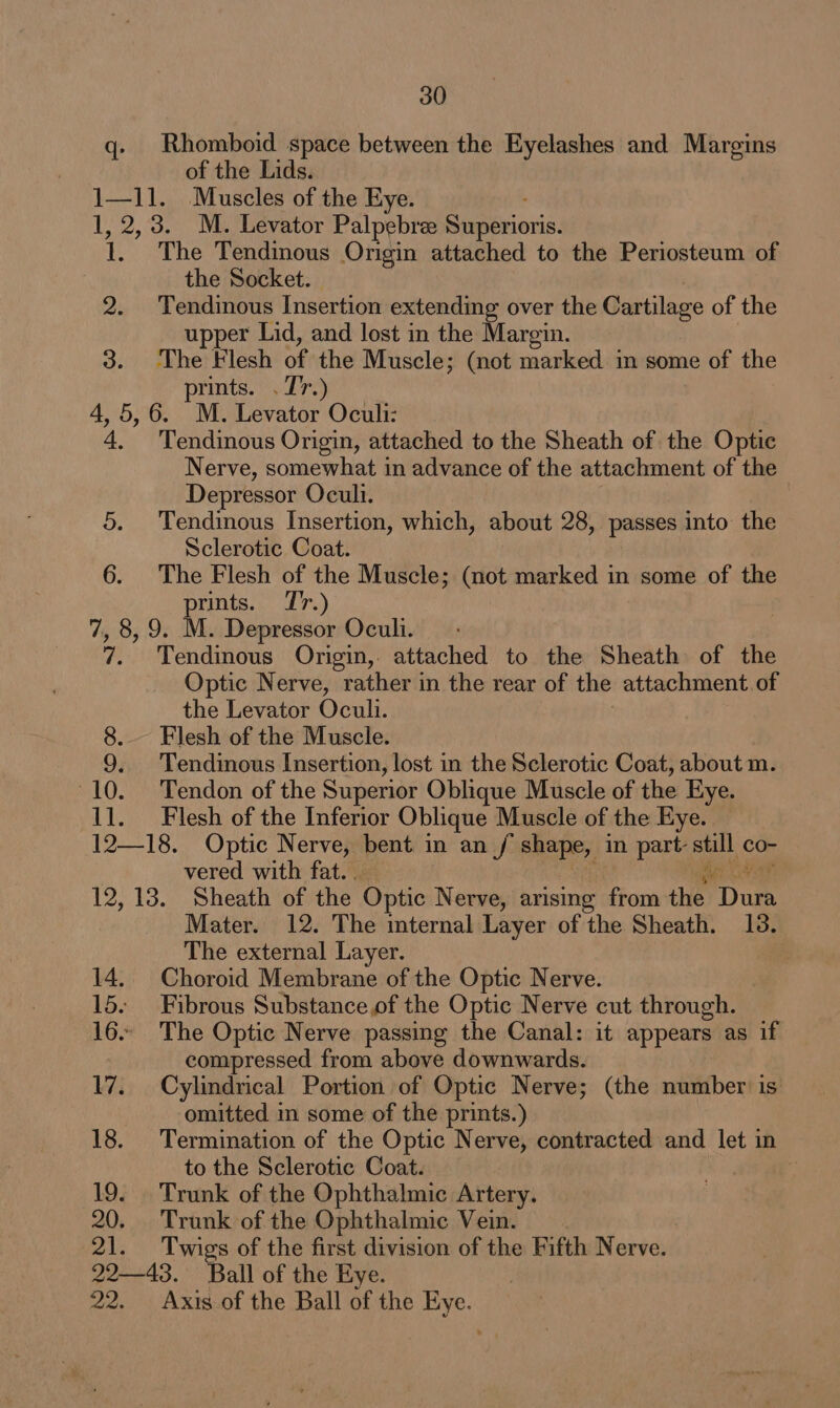 q- Rhomboid space between the Eyelashes and Margins of the Lids. 1—11. Muscles of the Eye. 1, 2,3. M. Levator Palpebree Simpdoris: 1. The Tendinous Origin attached to the Periosteum of the Socket. 2. Tendinous Insertion extending over the Cartilage of the upper Lid, and lost in the Margin. 3. The Flesh of the Muscle; (not marked in some of the prints. . Tr.) 4,5, 6. M. Levator Oculi: 4, 'Tendinous Origin, attached to the Sheath of the Optic Nerve, somewhat in advance of the attachment of the Depressor Oculi. 5. Tendinous Insertion, which, about 28, passes into the Sclerotic Coat. 6. The Flesh of the Muscle; (not marked in some of the prints. Tr.) Zz 8, 9. M. Depressor Oculi. Tendinous Origin,. attached to the Sheath of the Optic Nerve, rather in the rear of the attachment of the Levator Oculi. 8. Flesh of the Muscle. 9. Tendinous Insertion, lost in the Sclerotic Coat, about m. 10. Tendon of the Superior Oblique Muscle of the Eye. 11. _ Flesh of the Inferior Oblique Muscle of the Eye. 12—18. Optic Nerve, bent in an / shape, in part- ode co- vered with fat. . 12, 13. Sheath of the Optic Nerve, arising from ae aie Mater. 12. The internal Layer of the Sheath. 18. The external Layer. 14. Choroid Membrane of the Optic Nerve. 15. Fibrous Substance.of the Optic Nerve cut through. 16... The Optic Nerve passing the Canal: it appears as if compressed from above downwards. 17. Cylindrical Portion of Optic Nerve; (the number is omitted in some of the prints.) 18. Termination of the Optic Nerve, contracted and let in to the Sclerotic Coat. | 19. Trunk of the Ophthalmic Artery. 20. Trunk of the Ophthalmic Vein. 21. Twigs of the first division of the Fifth Nerve. 22—43. Ball of the Eye. 22. Axis of the Ball of the Eye.