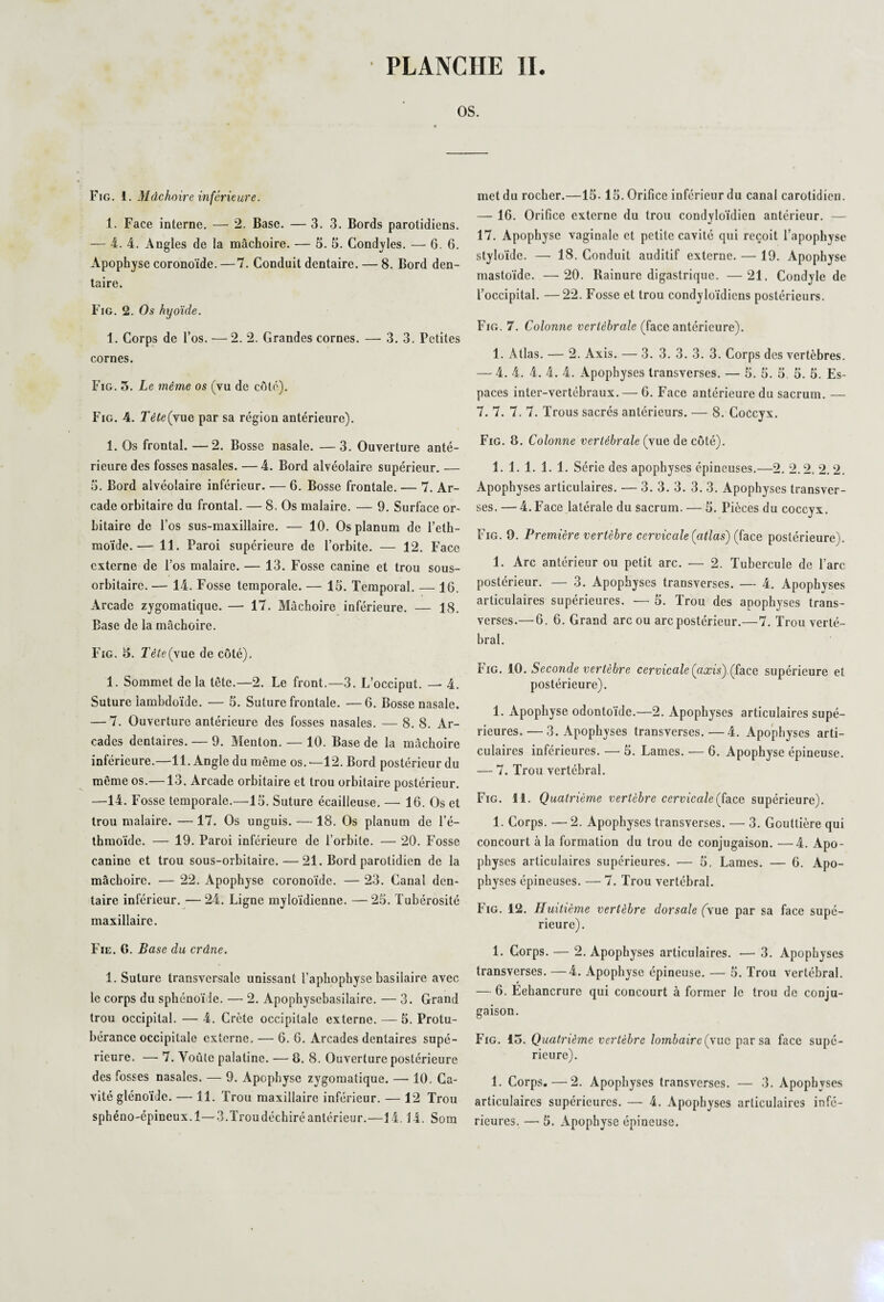 os. Fig . i. M de hoir e in férié ure. 1. Face interne. — 2. Base. — 3. 3. Bords parotidiens. — 4. 4. Angles de la mâchoire. — 5. 5. Condyles. — 6.6. Apophyse coronoïde. —7. Conduit dentaire. — 8. Bord den¬ taire. Fig. 2. Os hyoïde. 1. Corps de l’os. — 2. 2. Grandes cornes. — 3. 3. Petites cornes. Fig. 5. Le même os (vu de côté). Fig. 4. Tête (y ue par sa région antérieure). 1. Os frontal. —2. Bosse nasale. — 3. Ouverture anté¬ rieure des fosses nasales. — 4. Bord alvéolaire supérieur. — 5. Bord alvéolaire inférieur. — 6. Bosse frontale. — 7. Ar¬ cade orbitaire du frontal. — 8. Os malaire. — 9. Surface or¬ bitaire de l’os sus-maxillaire. — 10. Os planum de l’eth- moïde.— 11. Paroi supérieure de l’orbite. — 12. Face externe de l’os malaire. — 13. Fosse canine et trou sous- orbitaire. — 14. Fosse temporale. — 15. Temporal. — 16. Arcade zygomatique. — 17. Mâchoire inférieure. — 18. Base de la mâchoire. Fig. 3. Tête(\ue de côté). 1. Sommet de la tête.—2. Le front.—3. L’occiput. — 4. Suture lambdoïde. — 5. Suture frontale. —6. Bosse nasale. — 7. Ouverture antérieure des fosses nasales. — 8. 8. Ar¬ cades dentaires. — 9. Menton. — 10. Base de la mâchoire inférieure.—11. Angle du même os. —12. Bord postérieur du même os.—13. Arcade orbitaire et trou orbitaire postérieur. —14. Fosse temporale.—15. Suture écailleuse. — 16. Os et trou malaire. —17. Os unguis. — 18. Os planum de l’é— thmoïde. — 19. Paroi inférieure de l’orbite. — 20. Fosse canine et trou sous-orbitaire. — 21. Bord parotidien de la mâchoire. — 22. Apophyse coronoïde. — 23. Canal den¬ taire inférieur. —24. Ligne myloïdienne. —25. Tubérosité maxillaire. Fie. G. Base du crâne. 1. Suture transversale unissant l’aphophyse basilaire avec le corps du sphénoïde. — 2. Apophysebasilaire. — 3. Grand trou occipital. — 4. Crète occipitale externe. — 5. Protu¬ bérance occipitale externe. — 6. 6. Arcades dentaires supé¬ rieure, — 7. Voûte palatine. — B. 8. Ouverture postérieure des fosses nasales. — 9. Apophyse zygomatique. — 10. Ca¬ vité glénoïdc. — 11. Trou maxillaire inférieur. — 12 Trou sphéno-épiceux.l—3.Troudéchiréantérieur.—14. 14. Som met du rocher.—15. 15. Orifice inférieur du canal carotidien. — 16. Orifice externe du trou condyloïdien antérieur. — 17. Apophyse vaginale et petite cavité qui reçoit l’apophyse styloïde. — 18. Conduit auditif externe. — 19. Apophyse mastoïde. —20. Rainure digastrique. —21. Condyle de l’occipital. —22. Fosse et trou condyloïdiens postérieurs. Fig. 7. Colonne vertébrale (face antérieure). 1. Atlas. — 2. Axis. — 3. 3. 3. 3. 3. Corps des vertèbres. — 4. 4. 4. 4. 4. Apophyses transverses. — 5. 5. 5. 5. 5. Es¬ paces inter-vertébraux.— 6. Face antérieure du sacrum. — 7. 7. 7. 7. Trous sacrés antérieurs. — 8. Coccyx. Fig. 8. Colonne vertébrale (vue de côté). 1. 1. 1. 1. 1. Série des apophyses épineuses.—2. 2.2. 2. 2. Apophyses articulaires. — 3. 3. 3. 3. 3. Apophyses transver¬ ses. — 4.Face latérale du sacrum. — 5. Pièces du coccyx. Fig. 9. Première vertèbre cervicale (atlas) (face postérieure). 1. Arc antérieur ou petit arc. — 2. Tubercule de l’arc postérieur. — 3. Apophyses transverses. — 4. Apophyses articulaires supérieures. •— 5. Trou des apophyses trans¬ verses.— 6. 6. Grand arc ou arc postérieur.—7. Trou verté¬ bral. Fig. 10. Seconde vertèbre cervicale (axis) (face supérieure et postérieure). 1. Apophyse odontoïde.—2. Apophyses articulaires supé¬ rieures,— 3. Apophyses transverses.—4. Apophyses arti¬ culaires inférieures. — 5. Lames. — 6. Apophyse épineuse. — 7. Trou vertébral. Fig. SI. Quatrième vertèbre cervicale (face supérieure). 1. Corps. — 2. Apophyses transverses. — 3. Gouttière qui concourt à la formation du trou de conjugaison. —4. Apo¬ physes articulaires supérieures. — 5. Lames. — 6. Apo¬ physes épineuses. — 7. Trou vertébral. Fig. 12. Huitième vertèbre dorsale (vue par sa face supé¬ rieure). 1. Corps. — 2. Apophyses articulaires. — 3. Apophyses transverses. —4. Apophyse épineuse. — 5. Trou vertébral. — 6. Echancrure qui concourt à former le trou de conju¬ gaison. Fig. 15. Quatrième vertèbre lombaire (vue par sa face supé¬ rieure). 1. Corps. — 2. Apophyses transverses. — 3. Apophyses articulaires supérieures. — 4. Apophyses articulaires infé¬