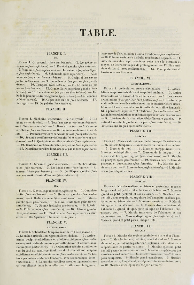 TABLE. PLANCHE I. os. Figure 1. Os coronal. (face antérieure).—2. Le même os vu par sa face inférieure). — 3. Pariétal gauche (face externe). —4.Ethmoïde {face supérieure).—5. Le même os {représentépar sa face inférieure). — G. Sphénoïde {face supérieure). — 7. Le meme os {vupar sa face postérieure). —8. Occipital {vu par sa partie inférieure). — 9. Le même os {vu par sa face posté¬ rieure). — 10. Temporal {face externe). —11. Le même os {vu par sa face interne). — 12. Os maxillaire supérieur gauche {face externe). — 13. Le même os {vu par sa face interne). — 14. Os de la pommette du côté gauche {face externe). —13. Le même os {face inter ne). — 16. Os propres du nez {face externe). — 17. Os unguis. — 18. Os palatin {face externe). PLANCHE II. Figure 1. Mâchoire inférieure. — 2. Os livoïde. — 3. Le J même os {vu de coté). — 4. Tète {vuepar sa région antérieure). — 5. Tète {vue de côté). — G. Base du crâne. — 7. Colonne vertébrale {face antérieure). — 8. Colonne vertébrale (vue de côté). —9. Première vertèbre cervicale (atlas) {facepostérieure). — 10. Seconde vertèbre cervicnle (axis) {face supérieure et pos¬ térieure). —11. Quatrième vertèbre cervicale {face supérieure). — 12. Huitième vertèbre dorsale {vuepar sa face supérieure). — 13. Quatrième vertèbre lombaire {vue par sa face supérieure). PLANCHE III. os. Figure 1. Sternum (facé antérieure). — 2. Les douze côtes {face externe).— 3. Les douze côtes {face interne). — 4. Sacrum {face postérieure). — 3. Os iliaque gauche {face externe). — G. Bassin d’homme {face antérieure). PLANCHE IV. os. Figure 1. Clavicule gauche {face supérieure). — 2. Omoplate droite {face postérieure). — 3. Humérus gauche {face posté¬ rieure). — 4. Radius gauche fface antérieure). — 3. Cubitus gauche {face postérieure). — 6. Main droite {face palmaire ou <intérieure). — 7. Fémur droit {face postérieure). — 8. Rotule. — 9. Tibia gauche (face antérieure). — 10. Péroné gauche (facepostérieure). — 11. Pied gauche (face supérieure ou dor¬ sale). — 12. Squelette d’homme {vu de face). PLANCHE V. ARTICULATIONS. Figure 1. Articulation temporo-maxillaire ( côté gauche ). — 2. La même articulation représentée en dedans. — 3. Articu¬ lations occipito-atloïdienne et atloïdo-axoïdienne {face anté¬ rieure). —4. Articulations occipito-atloïdienne et atloïdo-axoï¬ dienne (face postérieure).— 5. Articulation occipito-atloïdienne vue du côté du canal vertébral. — G. Articulations occipito- axoïdienne et atloïdo-axoïdienne (face postérieure). — 7. Les trois premières vertèbres lombaires avec les cartilages inter¬ vertébraux. — 8. Lames des vertèbres avec les ligamens jaunes qui remplissent leurs intervalles. — 9. Atlas avec le ligament tranverse de l’articulation atloïdo-axoïdienne (face supérieure). — H). Colonne vertébrale d’adulte représentée de profil. — 11. Articulations des sept premières côtes avec le sternum au moyen de leurs cartilages de prolongement.— 12. Plananté- rieur du bassin avec ses ligamens. — 13. Plan postérieur du bassin avec ses ligamens. PLANCHE VI. ARTICULATIONS. Figure 1. Articulation sterno-claviculaire. — 2. Articu¬ lations scapulo-claviculaire et scapulo-humérale. — 3. Articu¬ lations des os de l’avant-bras et de la main. — 4. Les mêmes articulations (vues par leur face postérieure). — 5. Os du carpe et du métacarpe sciés verticalement pour montrer leurs articu¬ lations et leurs synoviales. — 6. Articulations tibio-fémorale , tibio-péronière supérieure etrotulienne (face antérieure). — 7. Les mêmes articulations représentées par leur face postérieure). — 8. Intérieur de l’articulation tibio-fémorale gauche. —9. Articulations de la jambe et du pied (face antérieure). — 10. Articulations du pied (face inférieure). PLANCHE VII. MUSCLES. Figure 1. Muscles du crâne et de la îaee (partie antérieure;. — 2. Muscle temporal. — 3. Muscles du crâne et delà face. — 4. Muscles de l’œil. — 5. Muscles ptérygoïdiens. —G. Muscles péristaphylins. — 7. Muscles de la langue. —8. Muscles de la région linguale (face antérieure). — 9. Muscles du pharynx (face postérieure). — 10. Muscles constricteurs du pharynx et buccinateur (face latérale). — 11. Muscles anté¬ rieurs du cou. — 12. Muscles du cou(facelatérale).—13. Muscles des régions hyoïdiennes. PLANCHE VIII. MUSCLES. Figure 1. Muscles scalènes antérieur et postérieur, muscles long du col, et petit droit antérieur de la tète. — 2. Muscles grand et petit pectoral et sous-clavier. — 3. Muscles grand dentelé , sous-scapulaire, angulaire de l’omoplate, scalènes pos¬ térieur et antérieur, etc. — 4. Muscles sur-costaux. — 5. Muscle triangulaire du sternum. — 6. Muscles droit anterieur de l’abdomen, grand oblique, petit oblique de l’abdomen, cre- master , etc. — 7. Muscle transverse de l’abdomen et son aponévrose. — 8. Muscle diaphragme (face inférieure). —9. Muscles grand et petit psoas , iliaque , etc. PLANCHE IX. MUSCLES. Figure 1. Muscles des régions génitale et anale chez l’hom¬ me. — 2. Muscles trapèze, deltoïde, grand dorsal.— 3. Muscles rhomboïde, petit dentelé postérieur , splenius , etc., dans leurs rapports avec les parties voisines. — 4. Muscles splenius , petit dentelé postérieur et supérieur. — 5. Insertions supérieures des muscles sacro-lombaires. — G. Muscle transversaire.—7. Muscle petit complexus. — 8. Muscle grand complexus.— 9. Muscles sacro-lombaire, long dorsal, sur-épineux dorso-lombaire, etc., — 10. Muscles inter-épineux (vus par derrière).