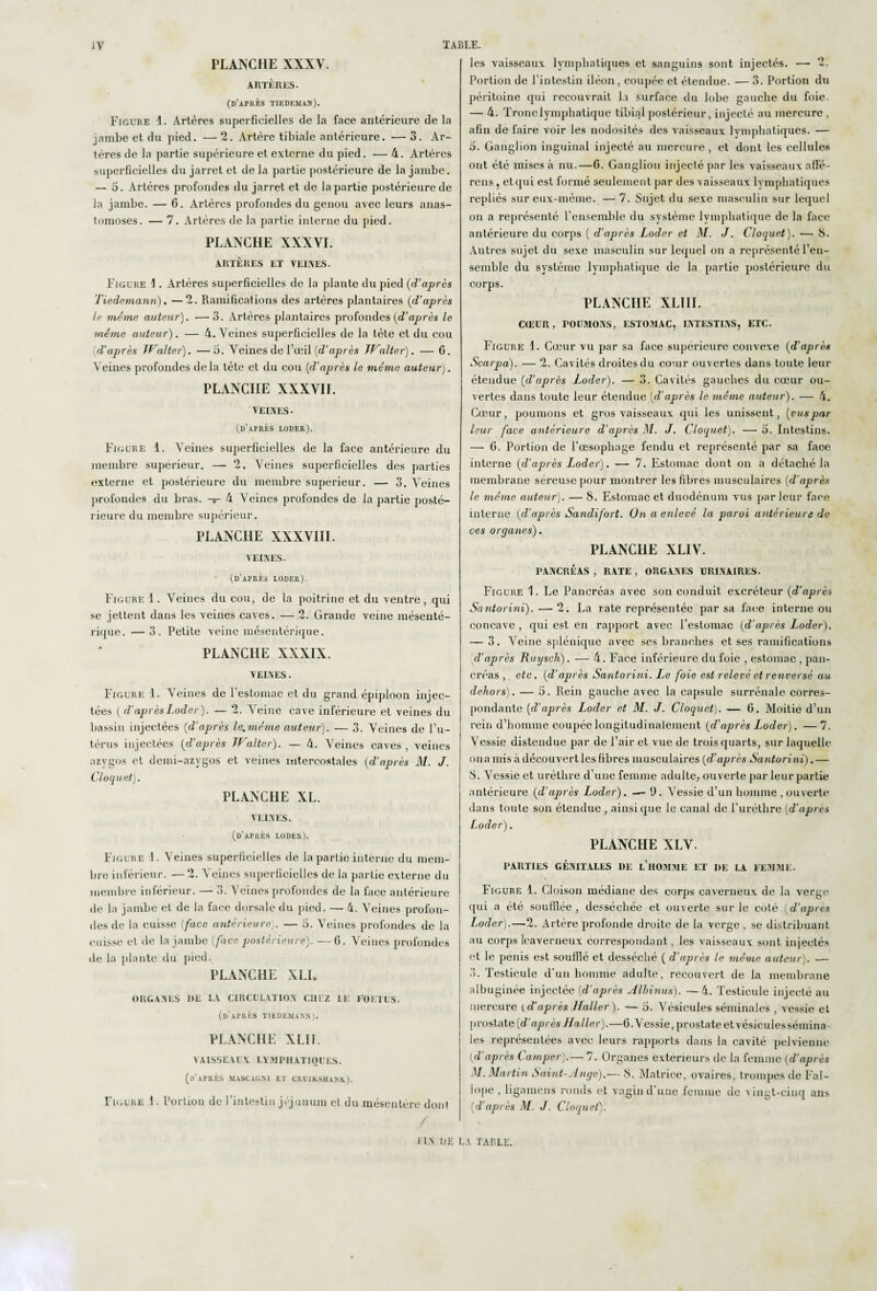 PLANCHE XXXV. ARTÈRES. (d'après tiedeman). Figure 4. Artères superficielles de la face antérieure de la jambe et du pied. — 2. Artère tibiale antérieure. — 3. Ar¬ tères de la partie supérieure et externe du pied. — 4. Artères superficielles du jarret et de la partie postérieure de la jambe. — 5. Artères profondes du jarret et de la partie postérieure de la jambe. — C. Artères profondes du genou avec leurs anas¬ tomoses. — 7. Artères de la partie interne du pied. PLANCHE XXXVI. ARTÈRES ET VEUVES. Figure 4 . Artères superficielles de la plante du pied (d’après Tiedemann). —2. Ramifications des artères plantaires (d’après te meme auteur). —3. Artères plantaires profondes {d’après le même auteur). — 4. Veines superficielles de la tête et du cou d'après Walter). —5. Veines de l’œil [d’après Walter). — G. Veines profondes de la tète et du cou (d’après le même auteur). PLANCHE XXXVII. VEINES- (d’après loder). Figure 4. Veines superficielles de la face antérieure du membre supérieur. — 2. Veines superficielles des parties externe et postérieure du membre supérieur. — 3. Veines profondes du bras, -s- 4 Veines profondes de la partie posté¬ rieure du membre supérieur. PLANCHE XXXVIII. VEUVES. (d’après loder). Figure 4. Veines du cou, de la poitrine et du ventre, qui se jettent dans les veines caves. — 2. Grande veine mésenté¬ rique. — 3. Petite veine mésentérique. PLANCHE XXXIX. VEINES. Figure 4. Veines de l'estomac et du grand épiploon injec¬ tées (d'aprèsLoder). — 2. Veine cave inférieure et veines du bassin injectées (d’après le.même auteur). — 3. Veines de l’u- térus injectées (d apres JValter). — 4. Veines caves, veines azygos et demi-azygos et veines intercostales (d’après M. J. C loquet). PLANCHE XL. VEUVES. (d’après loder). Figure 4. Veines superficielles de la partie interne du mem¬ bre inférieur. — 2. Veines superficielles de la partie externe du membre inférieur. — 3. Veines profondes de la face antérieure de la jambe et de la face dorsale du pied. — 4. Veines profon¬ des de la cuisse [face antérieure . — o. Veines profondes de la cuisse et de la jambe (/ace postérieure). — 6. Veines profondes de la plante du pied. PLANCHE XLI. ORGANES DE LA CIRCULATION CHEZ LE FOETUS. (d'après TIEDEMANN). PLANCHE XLIl. VAISSEAUX LYMPHATIQUES. (d’après mascagni et cruiksh ank.). Figure 1. Portion de l’intestin jéjunum el du mésentère dont les vaisseaux lymphatiques et sanguins sont injectés. — 2. Portion de l'intestin iléon, coupée et étendue. — 3. Portion du péritoine qui recouvrait la surface du lobe gauche du foie. — 4. Tronc lymphatique tibial postérieur, injecté au mercure , afin de faire voir les nodosités des vaisseaux Ivmphatiques. — 6. Ganglion inguinal injecté au mercure, et dont les cellules ont été mises à nu.—6. Ganglion injecté par les vaisseaux affé- rens , et qui est formé seulement par des vaisseaux Ivmphatiques repliés sur eux-même. — 7. Sujet du sexe masculin sur lequel on a représenté l’ensemble du système lymphatique de la face antérieure du corps ( d'après Loder et M. J. Cloquet). — S. Autres sujet du sexe masculin sur lequel on a représenté l’en¬ semble du système lymphatique de la partie postérieure du corps. PLANCHE XLIII. CŒUR, POUMONS, ESTOMAC, INTESTINS, ETC. Figure 4. Cœur vu par sa face supérieure convexe (d’après Scarpa). — 2. Cavités droites du co;ur ouvertes dans toute leur étendue (d’après Loder). — 3. Cavités gauches du cœur ou¬ vertes dans toute leur étendue (d'après le même auteur). — 4. Cœur, poumons et gros vaisseaux qui les unissent, (vuspar leur face antérieure d’après M. J. Cloquet). — 5. Intestins. — G. Portion de l’œsophage fendu et représenté par sa face interne (d’après Loder). — 7. Estomac dont on a détaché la membrane séreuse pour montrer les fibres musculaires (d'après le même auteur). — 8. Estomac et duodénum vus parleur face interne (d’après Sandifort. On a enlevé la paroi antérieure de ces organes). PLANCHE XLIV. PANCRÉAS , RATE , ORGANES URINAIRES. Figure 1. Le Pancréas avec son conduit excréteur (d’après Santorini). — 2. La rate représentée par sa face interne ou concave , qui est en rapport avec l’estomac (d'après Loder). — 3. Veine splénique avec ses branches et ses ramifications d’après Ruysch). — 4. Face inférieure du foie , estomac , pan¬ créas , etc. (d’après Santorini. Le foie est relevé et renversé au dehors). — 5. Rein gauche avec la capsule surrénale corres¬ pondante (d’après Loder et M. J. Cloquet). — 6. Moitié d’un rein d’homme coupée longitudinalement (d'après Loder). —7. Vessie distendue par de l’air et vue de trois quarts, sur laquelle on a mis à découvert les fibres musculaires (d'après Santorini). — 8. Vessie et urèthre d’une femme adulte, ouverte par leur partie antérieure (d’après Loder). — 9. Vessie d’un homme , ouverte dans toute son étendue , ainsique le canal de l’urèthre (d’après Loder). PLANCHE XLV. PARTIES GÉNITALES DE L IIOMME ET DE LA FEMME. Figure 4. Cloison médiane des corps caverneux de la verge qui a été soufflée, desséchée et ouverte sur le cùté (d’apres Loder).—2. Artère profonde droite de la verge , se distribuant au corps Icaverneux correspondant, les vaisseaux sont injectés et le pénis est soufflé et desséché ( d'après le même auteur). — 3. Testicule d’un homme adulte, recouvert de la membrane albuginée injectée (d'après Albinus). —4. Testicule injecté au mercure ( cf après Haller). — 5. Vésicules séminales , vessie et prostate (d’après Haller).—G.Vessie, prostate et vésicules sémina les représentées avec leurs rapports dans la cavité pelvienne (d’après Camper).— 7. Organes extérieurs de la femme (d’après M. Martin Saint-Ange).'— 8. Matrice, ovaires, trompes de Fal- lope , ligamens ronds et vagin d une femme de vingt-cinq ans (d’après M. J. Cloquet). FIN U J- LA TABLE.