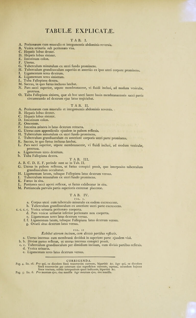 TABULAE EXPLICATAE. TAB. I. A. Peritonaeum cum musculis et integumentis abdominis reversis. B. Vesica urinaria sub peritonaeo visa. C. Hepatis lobus dexter. D. Hepatis lobus sinister. E. Intestinum colon. F. Uterus. G. Tuberculum minutulum ex uteri fundo prominens. H. Tuberculum grandiusculum superius et anterius ex ipso uteri corpore prominens. I. Ligamentum teres dextrum. K. Ligamentum teres sinistrum. L. Tuba Fallopiana dextra. M. Saccus, in quo foetus inclusus latebat. N. Pars sacci superior, utpote membranaceor, vi fluidi inclusi, ad modum vesiculae, protrusa. O. Tuba Fallopiana sinistra, quae ab hoc uteri latere basin membranaceoris sacci partis circumeundo ad dextrum ejus latus trajiciebat. TAB. II. A. Peritonaeum cum musculis et integumentis abdominis reversis. - B. Hepatis lobus dexter. C. Hepatis lobus sinister. D. Intestinum colon. E. Omentum. F. Intestina minora in latus dextrum retracta. G. Uterus cum appendiculis ejusdem in pubem reflexis. H. Tuberculum minutulum ex uteri fundo prominens. I. Tuberculum grandiusculum ex anteriore corporis uteri parte prominens. K. Saccus, in quo foetus inclusus latebat. L. Pars sacci superior, utpote membranaceor, vi fluidi inclusi, ad modum vesiculae, protrusa. a. Ligamentum teres dextrum. b. Tuba Fallopiana dextra. TAB. III. A. B. C. D. E. F. perinde sunt ac in Tab. II. G. Uterus in pubem reflexus, ut foetus conspici possit, quo interposito tuberculum grandiusculum occultatur. H. Ligamentum latum, tubaque Fallopiana latus dextrum versus. I. Tuberculum minutulum ex uteri fundo prominens. K. Foetus in situ. L. Portiones sacci aperti reflexae, ut foetus exhibeatur in situ. M. Portiuncula parvula partis superioris extremae placentae. TAB. IV. FIG. I. a. Corpus uteri cum tuberculo minutulo ex eodem excrescente. b. Tuberculum grandiusculum ex anteriore uteri parte excrescens, c. c. c. c. Vesica urinaria peritonaeo cooperta. d. Pars vesicae urinariae inferior peritonaeo non cooperta. e. Ligamentum teres latus dextrum versus. f. f. Ligamentum latum, tubaque Fallopiana latus dextrum versus, g. Ovarii situs dextrum latus versus. FIG. II Exhibet uterum incisum, cum divisis partibus reflexis. a. Uterus internus cum membrana decidua in superiore parte ejusdem visa. b. b. Divisae partes reflexae, ut uterus internus conspici possit. c. c. Tuberculum grandiusculum per dimidium incisum, cum divisis partibus reflexis. d. Vesica urinaria. e. Ligamentum teres latus dextrum versus. CORRIGENDA. Pag. 4. lin. 16. Pro qui, ex discolore linea transversim currente, bipartito &c. lege qui, ex discolore linea transversim per externam ejus superficiem currente, septum, secundum hujusce lines tractum, subtus interpositum quasi indicante, bipartito &c.