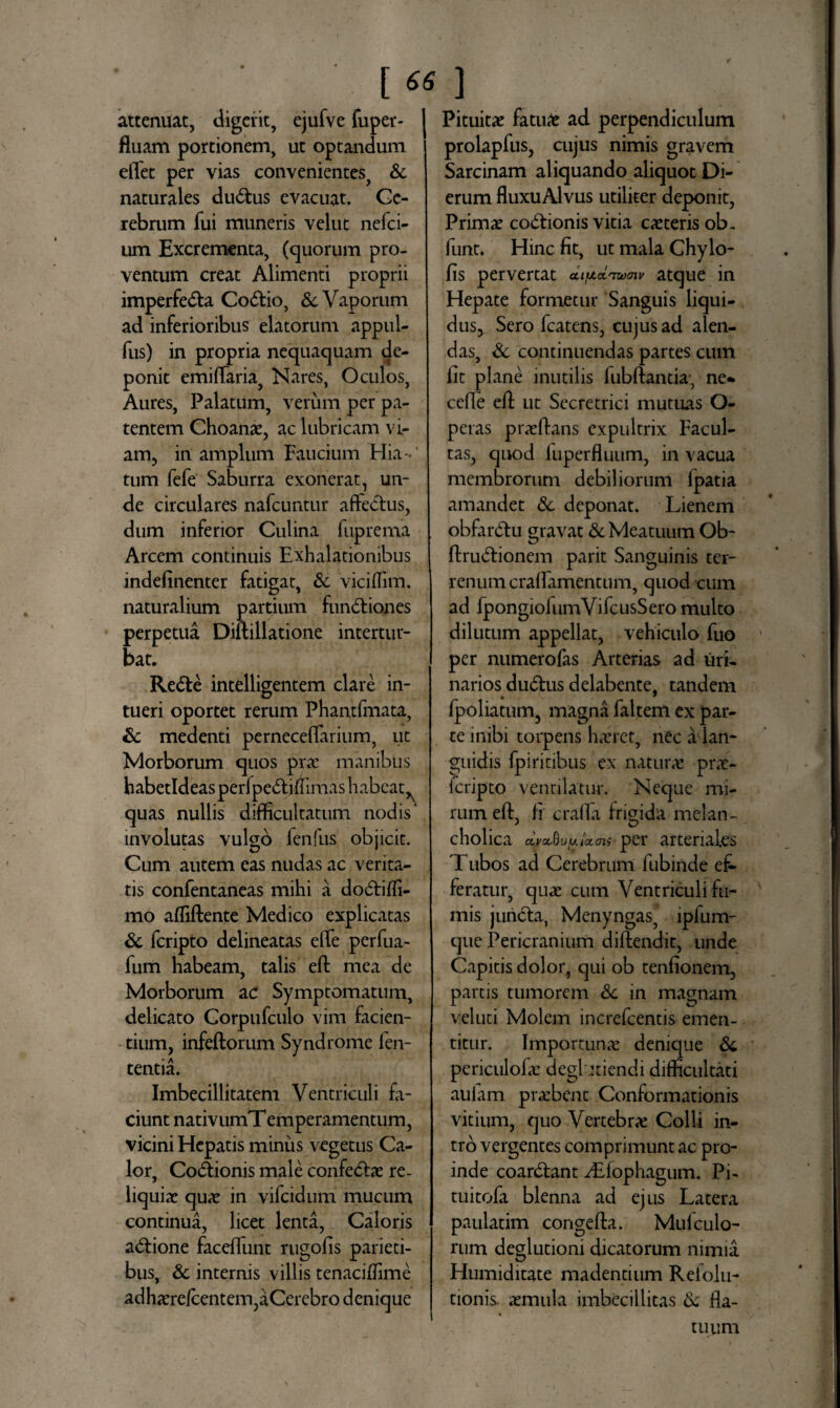 [«] attenuat, digerit, ejufve fuper- fluam portionem, ut optandum elTet per vias convenientes, & naturales dudtus evacuat. Ce¬ rebrum fui muneris velut nefci- um Excrementa, (quorum pro- ventum creat Alimenti proprii imperfecta CoCtio, & Vaporum ad inferioribus elatorum appul- fus) in propria nequaquam de¬ ponit emiflaria, Nares, Oculos, Aures, Palatum, verum per pa¬ tentem Choanae, ac lubricam vi¬ am, in amplum Faucium Hia¬ tum fefe Saburra exonerat, un¬ de circulares nafcuntur afteCtus, dum inferior Culina fuprema Arcem continuis Exhalationibus indefinenter fatigat, & viciflim. naturalium partium funCtiones perpetua Diftillatione intertur¬ bat. ReCte intelligentem clare in¬ tueri oportet rerum Phantfmata, & medenti perneceffarium, ut Morborum quos prae manibus habetldeas perfpeCt jflimas habeat^ quas nullis difficultatum nodis' involutas vulgo fenfus objicit. Cum autem eas nudas ac verita¬ tis confentaneas mihi a do&iffi- mo affiftente Medico explicatas & fcripto delineatas elfe perfua- lum habeam, talis eft mea de Morborum ac Symptomatum, delicato Corpufculo vim facien¬ tium, infeftorum Syndrome len¬ tentia. Imbecillitatem Ventriculi fa¬ ciunt nativumT emperamentum, vicini Hepatis minus vegetus Ca¬ lor, Co&ionis male confedhe re¬ liquiae quae in vifcidum mucum continua, licet lenta, Caloris a&ione faceffunt rugolis parieti¬ bus, & internis villis tenaciflime adhaerelcentem,aCerebro denique Pituitae fatuae ad perpendiculum prolapfus, cujus nimis gravem Sarcinam aliquando aliquot Di¬ erum fluxuAlvus utiliter deponit, Primae codtionis vitia exteris ob, funt. Hinc fit, ut mala Chylo- fis pervertat ciiyLoc^mv atque in Hepate formetur Sanguis liqui¬ dus, Sero fcatens, cujus ad alen¬ das, & continuendas partes cum fit plane inutilis fubftantia, ne* cefle eft ut Secretrici mutuas O- peras praftans expultrix Facul¬ tas, quod luperfluum, in vacua membrorum debiliorum fpatia amandet 8c deponat. Lienem obfardtu gravat & Meatuum Ob- ftrudtionem parit Sanguinis ter¬ renum cralfamentum, quod cum ad fpongiofumVifcusSero multo dilutum appellat, vehiculo fuo per numerofas Arterias ad uri¬ narios du&us delabente, tandem fpoliatum, magna faltem ex par¬ te inibi torpens hxret, nec a lan¬ guidis fpiritibus ex natura pra- icripto ventilatur. Neque mi¬ rum eft, ii crafia frigida melan¬ cholica a.va^vyictcni per arteriales Tubos ad Cerebrum fubinde ef¬ feratur, qux cum Ventriculi fu¬ mis juridta, Menyngas, lpfum- que Pericranium diftendit, unde Capitis dolor, qui ob tenfionem, partis tumorem Sc in magnam veluti Molem increfcentis emen¬ titur. Importunx denique & periculofx deghdendi difficultati aulam prabent Conformationis vitium, quo Vertebra Colli in¬ tro vergentes comprimunt ac pro¬ inde coardlant yEfophagum. Pi- tuitofa blenna ad ejus Latera paulatim congefta. Mufculo- rum deglutioni dicatorum nimia Humiditate madentium Reiolu- tionis. xmula imbecillitas & fla¬ tuum