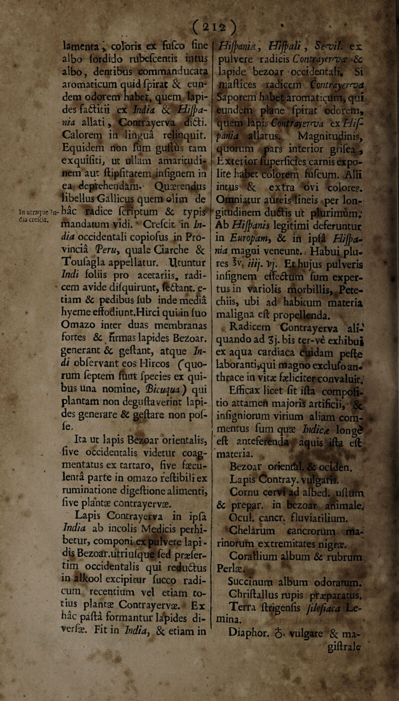 In utraque rn- riia crefei:. (212) lamenta , coloris ex fufco fine albo fordido rubefcentis intus albo, dentibus commanducata aromaticum quid fpirat & eun- dem odorem habet, quem lapi¬ des fa&itii ex India 8t ' Hijj>a- nia allati, Contrayerva didi. Calorem in lingua relinquit. Equidem non fum guftus tam exquifiti, ut ullam amaritudi¬ nem aut ftipfitatem,infignem in ea deprehendam* Querendus libellus Gallicus quem olim de hac radice fcriptum & typis mandatum vidi. Crefcit in In¬ dia occidentali copiofus in Pro¬ vincia <Peru, quale Garche 8c Toufagla appellatur. Utuntur Indi foliis pro acetariis, radi¬ cem avide difquirunt, ftdant. e- tiam & pedibus fub inde media hyeme effodiunt.Hirci qubin luo Omazo inter duas membranas fortes & firmas lapides Bezoar, generant & geftanc, atque In¬ di obfervant eos Hircos ('quo¬ rum feptem funt fpecies ex qui¬ bus una nomine, tBicuqua) qui plantam non deguftaverint lapi¬ des generare & geftare non pof- fe. Ita ut lapis Bezoar orientalis, fi ve occidentalis videtur coag¬ mentatus ex tartaro, five faecu¬ lenta parte in omazo reftibiliex ruminatione digeftione alimenti, five plantae contrayervae. Lapis Contrayerva in ipfa India ab incolis Medicis perhi¬ betur, componi ex pulvere lapi¬ dis Bezoar.utriufque fed prsefer- tim occidentalis qui redudus in alkool excipitur fucco radi¬ cum recentium vel etiam to¬ tius plantae Contrayervae. Ex hac pafta formantur lapides di- verfa?. Fit in India, & etiam in Hifymid, Hijfali, Sevil. ex pulvere radicis Contrayerva lapide bezoar occidentali. Si maftices radicem Contrayerva Saporem habet aromaticum, qui eundem plane fpirat odorem, quem lapis Contrayerva ex Hif- pania allatus. Magnitudinis, quorum pars interior grifea , Exterior fuperficies carnis expo¬ lite habet colorem fufcum. .Alii intus ■& extra ovi colores* Omniatur aureislineis per lon¬ gitudinem dudis ut plurimfim; Ab Hifyanis legitimi deferuntur in Europam, & in ipfi Hijpa* nia magni veneunt. Habui plu- res iiij. yj. Et hujus pulveris infignem eifedum fum exper¬ tus in variolis morbillisHPete- chiis, ubi ad habitum materia maligna eft propellenda. ■*, Radicem Contrayerva ali¬ quando ad 3j.bis ter-ve exhibui ex aqua cardiaca cuidam pefte laboranti,qui magno exclufoan¬ thrace in vitae feliciter convaluit. Efficax licet fit ifta compofi- tio attamen majoris artificii, & ir.figniorum virium aliam com¬ mentus fum quae Indica long& eft anteferenda aquis ifta eft materia. Bezoar oriendtl. & ociden. Lapis Contray. vulgatis. * Cornu cervi ad albed. ufttfm & prepar. in bezoar animale, Ocul. cancr. fluviatilium. Chelarum cancrorum ma¬ rinorum extremitates nigrae. Corallium album & rubrum Perl®, * | g Succinum album odoratum; Chriftallus rupis praeparatus. Terra ftrigenfis filefiaca Le- mina. mm ■ Diaphor. J. vulgare & ma- giftrale i'1 M 1 * %