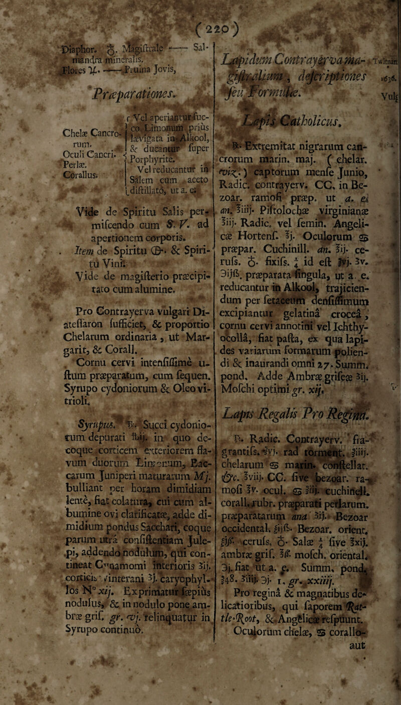 Diaphor. §. Mlgiftrale - mandra mineralis. .Flores ^—.Ptuina Jovis, ( 220 ) Sali §& »V, Praeparationes, ■n • ■ r Vel aperiantur fuo Contrayzrvama- Twitnaiij ^ jlvtfUum i dejcriptiones l63« Formike^'' Vu * Chelas Cancro- rum. Oculi Cancri. Perlse. Co rallus; co. Limonum .prius Kfvlgatra injtjAlkool, & ducantur' fuper -Por phy rite. Vel reducantur in Salem cum aceto ^diftillato, ut a. ei Vide de Spiritu Salis per- mifcendo cum & V» ad apertionem corporis. Item de Spiritu G>- & Spiri¬ tu ViniV Vide de magifterio praecipi¬ tato cum alumine. TJE ■*W Lapis Catholicus, Pro Contrayerva vulgari Di- ateflaron fufficiet, & proportio Chelarum ordinaria, ut Mar- garit, & CoralJ. Cornu cervi intenfiflime u- ftum praeparatum, cum fequen. Syrupo cydoniorum & Oleovi- trioli. Extremitat nigrarum can¬ crorum marin. maj. ( ehelar. ) captorum menfe Junio, Radie, contrayerv. CC. in Be¬ zoar. ramofi praep. ut a. ei an: liiij* PiFtolocfiae virginianae liij- Radie, vel femin. Angeli¬ cae Hortenf. 5j. Oculorum s praepar. Cuchinill. an. lij- ce- rufs. J. fixifs. 1 id eft ?vj. 3v, 3ij^. praeparata lingula, qt a .e* reducantur in Alkool, trajicien¬ dum per fetaceum denfiflimutrt excipiantur gelatina crocea, cornu cervi annotini vel IcJhthy- ocolia, fiat pafta, ex qua lapi¬ des variarum Formarum polien¬ di 8c inaurandi omni Sumrm pond. Adde Ambrae grifeae sij. MoFchi optimi gr. xij« , Sjirupu$.m Succi cydonio¬ rum depurati m quo de¬ coque corticem exteriorem fla¬ vum duonirn Limcnum, Bac¬ carum Juniperi maturarum Mj. bulliant per horam dimidiam lente, fiat colatura, cui cum al¬ bumine ovi clarificatae, adde di¬ midium pondus Sacchari, coque parum utra confidentiam Jule- .pi, addendohodulum, qui con¬ tineat Onatnomi interioris 3ij. corticis vinterani 3j. caryophyl-- los H° xij, Exprimatur faepius nodulus, & in nodulo pone am¬ brae grif, gr, rvj. relinquatur in. Syrupo continuo. Lapts Regalis Pro Re Radie. Contrayerv. ’ fra- grantifs.^yj. rad torment. Jiiij. chelarum s marin. cbnftellat. &c. 3viij. CC. five bezoar. ra«^ moli lv. ocul. 23 l^j. cuchinell* corall. a:ubr. praeparati perlarum. praeparatarum ana 3ij. Bezoar Occidental, fijft. Bezoar. orient. |j/* cerufs, 5* Salae 4 five fxij. ambrae grif. !/?• mofch. orientaL 3j. fiat ut a. g, Summ, pond, I48. 3]. 1, gr, xxiiij. Pro regina & magnatibus de¬ licatioribus, qui faporem tle^oot, &. Angelicae irelpuunt. Oculorum chelae, 23 corallo- mtr V *