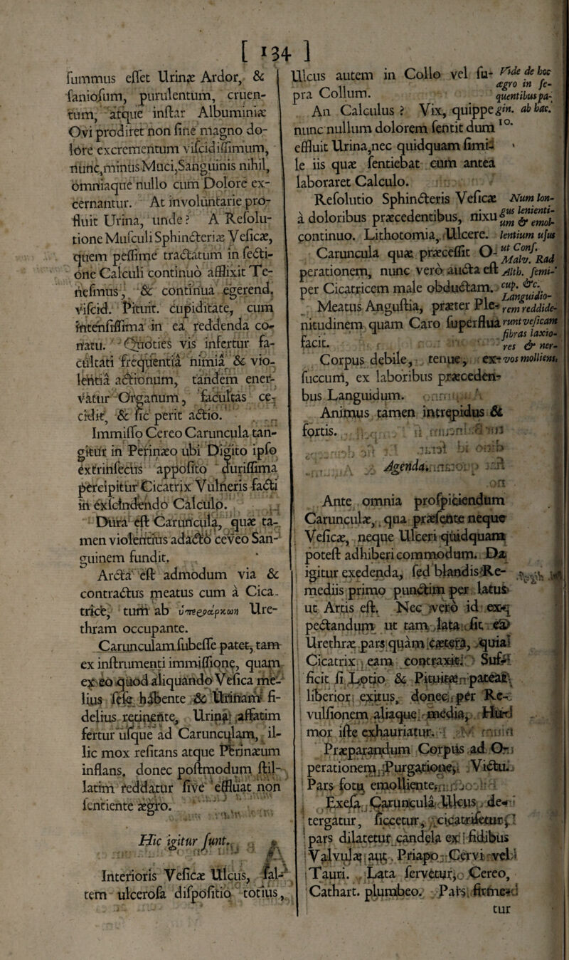 [ HA 1 fummus effet Urinae Ardor, & faniojiim, purulentum, cruen¬ tum, atque indar Albumini* Ovi prodiret non fine magno do¬ lore excrementum vifcidifflmum, rifetic,miniis Muci,Sanguinis nihil, omniaqne nullo cum Dolore ex¬ cernantur. At involuntarie pro¬ fluit Urina, unde ? A Refolu- tione Mufculi Sphinderiae V eficae, quem peffime tradatum in fedi- one Calculi continuo afflixit Te- riefmus , & continua egerend. vifeid. Pituit. cupiditate, cum mtehfifflma in ea reddenda co¬ natu. Quoties vis infertur fa¬ cultati frequentia nimia & vio¬ lentia adionum, tandem ener¬ vatur Organum , facultas ce¬ cidit & fic perit adio. Immifio Cereo Caruncula tan¬ gitur in Perinaeo ubi Digito ipfo extrinfecus appofito diiriffima percipitur Cicatrix Vulneris fadi in exiclndendo Calculo. Dura eft Caruncula, quae ta-. men violentius adadfo ceveo San¬ guinem fundit. Arda eft admodum via & contradus meatus cum a Cica. trkfe, turh ab vmtepdpKm Ure¬ thram occupante. Carunculamfubefte patet-, tam ex inftrumenti immiflione, quam ex eo quod aliquando Vefica me¬ lius fe%, bibente Sc fi¬ delius retinente. Urina- affatim fertur ufque ad Caruncqlam, il¬ lic mox refitans atque PE rinaeum inflans, donec poftmodum ftil- latim reddatur five 'effluat non fentiente aegiro. Hi ic igitur funt. .& - Ulcus autem in Collo vel fu- ^edeboc agro m fe- pra Collum. quentibusfa- An Calculus ? Vix, quippe^». obbae' nunc nullum dolorem fentit dumIO' effluit Urina,nec quidquam fimf- * le iis quae fentiebat cum antea laboraret Calculo. Refolutio Sphinderis Veficae Numion- a doloribus praecedentibus, nixu^^^ continuo. Lithotomia, Ulcere, lentium ufus Caruncula qu* prseceffit perationem, nunc vera auda elt Aitb. femi¬ net Cicatricem male obdudam. Meatus Angultia, praeter Pier remreddide- nitudinem quam Caro fuperflua rmtveficam w . * * 1 x fibras laxto- facit. ■ { Yes & ner- Corpus debile, tenue, ex-vos molliens. fuccum, ex laboribus praeceden- bus Languidum. . an • (H \ Animus tamen intrepidus & fortis. i * ^moh bR i-I bt onih . ,..\ Agenda. ■ oi ■.> - aR Interioris Veficae Ulcus, fal- tem ulcerofa difpofitio totius, Ante omnia profpiciendum Carunculae, . qua praefeftte neque Veficae, neque Ulceri quidquam poteft adhiberi commodum. Da igitur exedenda, fed blandisRe- • mediis primo pundim per latufc ut Artis eft. Nec vero id eacq pedandum ut tam lata .fit e'a> Urethrae pars quam .eaetera,, quia i Cicatrix eam contraxit. Sufk ficit fi L.otk> & Pituitaenpateafe'- liberior exitus, donec,. per Rc- ! vulfionem aliaquc medigp.Hufd mor ifte exhauriatur. • nuin Praeparandum Corpus ad Qn; perationemj ]Purgatioirej. Vidu. Pars fotu, emollientein;] > ; Exeia Caruncula Ukus de- : ; tergatur, ficcetur, a cicatrifeur, ' ; pars dilatetur candela ex I fidibus Valvulae aut Priapo Cervi vel s i Tauri. Lata fervetur j . Cereo, Cathart. plumbeo. Pah firme-' tur iVs M j