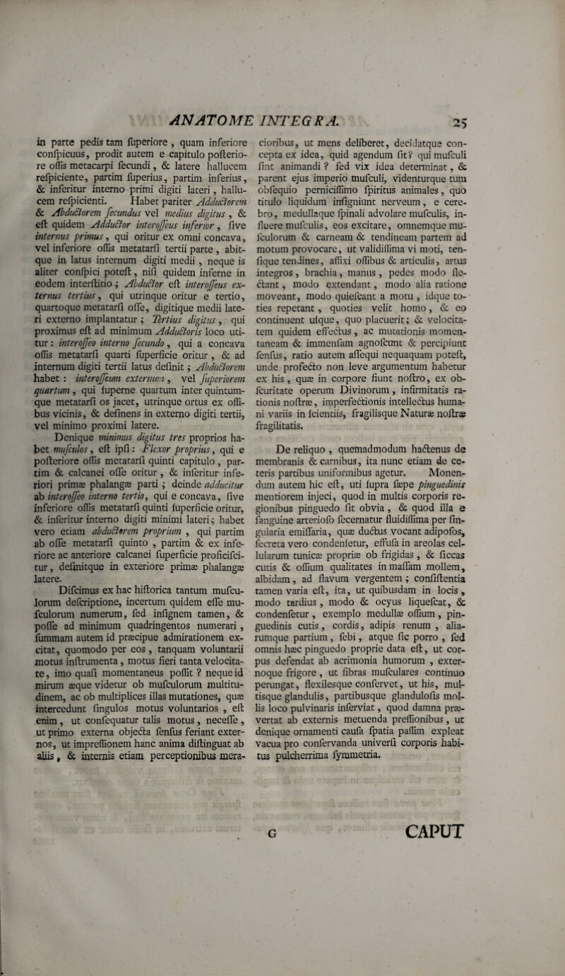 in parte pedis tam fuperiore , quam inferiore confpicuus, prodit autem e capitulo pofterio- re ollis metacarpi fecundi, & latere hallucem refpiciente, partim fuperius, partim inferius, & inferitur interno primi digiti lateri, hallu¬ cem refpicienti. Habet pariter Addi£forem & AbduSiorem fecundus vel medius digitus , & eft quidem AdduSfor interojjeus inferior, five internus primus^ qui oritur ex omni concava, vel inferiore offis metatarii tertii parte , abit- que in latus internum digiti medii, neque is aliter conipici poteft, nifi quidem inferne in eodem interllitio; AhduBor eft interojfeus ex¬ ternus tertius ^ qui utrinque oritur e tertio, quartoque metatarii ofle, digitique medii late¬ ri externo implantatur ; Tertius digitus, qui proximus eft ad minimum AdduStoris loco uti¬ tur : interofeo interno fecundo , qui a concava offis metatarii quarti fuperlicie oritur , & ad internum digiti tertii latus delinit; Ahdu&orem habet : interoffeum externun , vel fuperiorem quartum , qui luperne quartum inter quintum- que metatarii os jacet, utrinque ortus ex offi- bus vicinis, & delinens in externo digiti tertii, vel minimo proximi latere. Denique minimus digitus tres proprios ha¬ bet mufculos, eft ipli: Flexor proprius, qui e pofteriore offis metatarii quinti capitulo, par¬ tim & calcanei olTe oritur, & inferitur infe¬ riori primae phalangae parti; deinde adducitur ab interojfeo interno tertio, qui e concava, live inferiore offis metatarii quinti luperlicie oritur, & inferitur interno digiti minimi lateri ^ habet vero etiam abdudiorem proprium , qui partim ab ofle metatarii quinto , partim & ex infe¬ riore ac anteriore calcanei fuperlicie prolicifci- tur, delinitque in exteriore primae phalangae latere. Difcimus ex hac hiftorica tantum mufcu- lorum defcriptione, incertum quidem efle mu- fculorum numerum, fed inlignem tamen, & pofle ad minimum quadringentos numerari , fummam autem id praecipue admirationem ex¬ citat, quomodo per eos, tanquam voluntarii motus inftrumenta, motus fieri tanta velocita¬ te , imo quali momentaneus poffit ? neque id mirum aeque videtur ob mufculorum multitu¬ dinem, ac ob multiplices illas mutationes, quae intercedunt fingulos motus voluntarios , eft enim , ut confequatur talis motus , necefle , ut primo externa objedla fenfus feriant exter¬ nos, ut impreffionem hanc anima diftinguat ab aliis, & internis etiam perceptionibus mera¬ cioribus, ut mens deliberet, decidatque con¬ cepta ex idea, quid agendum fit? quimufculi lint animandi ? fed vix idea determinat, & parent ejus imperio mufculi, videnturque tum obfequio perniciffimo fpiritus animales, quo titulo liquidum inligniunt nerveum, e cere¬ bro, medullaque Ipinali advolare mufculis, in¬ fluere mufculis, eos excitare, omnemquemu- fculorum & carneam & tendineam partem ad motum provocare, ut validiffima vi moti, ten- fique tendines, affixi offibus & articulis, artus integros, brachia, manus, pedes modo fle- (ftant, modo extendant, modo alia ratione moveant, modo quiefcant a motu , idque to¬ ties repetant, quoties velit homo, & eo continuent ulque, quo placuerit; & velocita¬ tem quidem elfedus, ac mutationis momen¬ taneam & immenfam agnofcunt & percipiunt fenfus, ratio autem alTequi nequaquam poteft, unde profedto non leve argumentum habetur ex his, qute in corpore fiunt noftro, ex ob- fcuritate operum Divinorum, infirmitatis ra¬ tionis noftras, imperfectionis intelledlus huma¬ ni variis in Icientiis, fragilisque Naturse noftrs fragilitatis. De reliquo , quemadmodum haClenus de membranis & carnibus, ita nunc etiam de ce¬ teris partibus uniformibus agetur. Monen¬ dum autem hic eft, uti lupra fsepe pinguedinis mentiorem injeci, quod in multis corporis re¬ gionibus pinguedo fit obvia, & quod illa e fanguine arterioib fecernatur fluidiffima per fin- gularia emilfaria, quae duCtus vocant adipofos, fecrcta vero condenletur, effufa in areolas cel¬ lularum tunicte proprite ob frigidas , & ficcas cutis & offium qualitates inmaflam mollem, albidam, ad flavum vergentem ; confiftentia tamen varia eft, ita, ut quibusdam in locis, modo tardius , modo & ocyus liquefcat, & condenfetur , exemplo medullae olTium, pin¬ guedinis cutis, cordis, adipis renum , alia- rumque partium, febi, atque fic porro , fed omnis haec pinguedo proprie data eft, ut cor¬ pus defendat ab acrimonia humorum , exter¬ noque frigore, ut fibras mufculares continuo perungat, flexilesque confervet, ut his, mul¬ tisque glandulis, partibusque glandulofis mol¬ lis loco pulvinaris inferviat, quod damna prae- vertat ab externis metuenda preffionibus, ut denique ornamenti caufa fpatia paffim expleat vacua pro confervanda univerfi corporis habi¬ tus pulcherrima fymmetria.