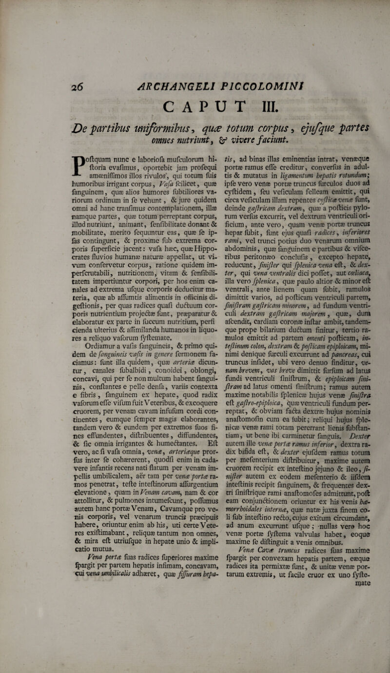 CAPUT III. $ De partibus uniformibus, quce totum corpus > ejufque partes omnes nutriunt ^ gf vivere faciunt. Poftquam nunc e laboriofa murculorum hi- ftoria evafimus, oportebit jam profequi amoeniflimos illos rivulos*, qui totum fuis humoribus irrigant corpus, Vafa fcilicet, quae fanguinem, quae alios humores fubtiliores va¬ riorum ordinum in fe vehunt, & jure quidem omni ad hanc tranfimus contemplationem, illae ■namque partes, quae totum perreptant corpus, illud nutriunt, animant, fenfibilitate donant & mobilitate, merito fequimtur eas, quae fe ip- fas contingunt, & proxime fub extrema cor¬ poris fuperficie jacent: vafa haec, quas Hippo¬ crates fluvios humanae naturae appellat, ut vi-- vum confervetur corpus, ratione quidem im- perfcrutabili, nutritionem, vitam & fenfibili- tatem impertiuntur corpori, per hos enim ca¬ nales ad extrema ufque corporis deducitur ma¬ teria, quae ab aflumtis alimentis in officinis di- geflionis, per quas radices quali dudluum cor¬ poris nutnentium projedlas funt, praeparatur & elaboratur ex paite in fuccum nutritium, perfi cienda ulterius & affimilanda humanos in liquo¬ res a reliquo vaforum fyftemate. Ordiamur a vafis fanguineis, & primO qui¬ dem de fanguineis vafs in genere fermonem fa¬ ciamus : funt illa quidem, quae arteria dicun¬ tur , canales fubalbidi, conoidei, oblongi, concavi, qui per fe non multum habent fangui- nis, conflantes e pelle denfa, variis contexta e fibris , fanguinem ex hepate, quod radix vaforum eflfe vifum fuit Veteribus, & excoquere cruorem, per venam cavam infufum cordi con¬ tinentes , eumque femper magis elaborantes, tandem vero & eundem per extremos fuos fi¬ nes effundentes, diflribuentes , diffundentes, & fic omnia irrigantes & humedlantes. Eft vero, acfi vafa omnia, vena^ arteriaque pror- fus inter fe cohaererent, quodfi enim in cada¬ vere infantis recens nati flatum per venam im¬ pellis umbilicalem, aer tam per vena porta ra¬ mos penetrat, tefte inteflinorum affurgentium elevatione, quam in Venam cavam^ nam & cor attollitur, & pulmones intumefcunt, polfumus autem hanc portae Venam, Cavamque pro ve¬ nis corporis, vel venarum truncis praecipuis habere, oriuntur enim ab his, uti certe Vete¬ res exiftimabant, reliquae tantum non omnes, & mira eft utriufque in hepate unio & impli¬ catio mutua. Vena porta fuas radices fuperiores maxime Ipargit per partem hepatis infimam, concavam, cui vena umbilicalis adhaeret, quae fijfuram hepa¬ tis, ad binas illas eminentias intrat, venaeque portae ramus elfe creditur, converfus in adul¬ tis & mutatus in ligamentum hepatis rotundum; ipfe vero venae portae truncus furculos duos ad cyftidem, feu veficulam felleam emittit, qui circa veficulam illam repentes cyflica vena funt, deinde gajiricam dextram, quae a pofticis pylo¬ rum verflis excurrit, vel dextrum ventriculi ori¬ ficium, ante vero, quam venae portae truncus hepar fubit, funt ejus quafi radices, inferiores rami, vel trunci potius duo venarum omnium abdominis, quae fanguinem e partibus & vifce- ribus peritonaeo conclufis , excepto hepate, reducunt, finifter qui fplenica Vena eft, & dex¬ ter, cpii vena ventralis dici po^Qt, coeliaca, illa vero fplenica, quae paulo altior & minor eft ventrali, ante lienem quam fubit, ramulos dimittit varios, ad pofticam ventriculi partem, fmiftram gajiricam minorem, ad fundum ventri¬ culi dextram gaftricam majorem, qu®, dum afcendit, Cardiam coronae inftar ambit, tandem- que prope bilarium dudum finitur, tertio ra¬ mulos emittit ad partem omenti pofticam, in- tejiinum colon, dextram & pojiicam epiploicam, mi¬ nimi denique furculi excurrunt ad pancreas, cui truncus infidet, ubi vero denuo finditur, ve¬ nam brevem, vas breve dimittit furflim ad latus fundi ventriculi fiiiiftrum, & epiploicam fini- ftram2id\d.tvs omenti finiftrum; ramus autem maxime notabilis fplenicae hujus venae finijira eft gaftro-epiploica, quae ventriculi fundum per¬ reptat, & obviam fadla dextrae hujus nominis anaftomofin cum ea fubit; reliqui hujus fple- nicae vena; rami totam pererrant lienis fubftan- tiam, ut bene ibi carminetur fanguis. Dexter autem ille vena porta ramus inferior, dextra ra¬ dix bifida eft, dexter ejufdem ramus totum per mefenteriiim diftribuitur, maxime autem cruorem recipit ex inteftino jejuno & ileo, fi- nifter autem ex eodem mefenterio & iifdem inteftinis recipit fanguinem, & frequentes dex¬ tri finiftrique rami anaftomofes admittunt, poft eam conjundlionem oriuntur ex his venis ha- morrhoidales interna, quae natae juxta finem co¬ li fub inteftino refto, cujus exitum circumdant, ad anum excurrunt ufque; nullas vero hoc venae portae fyftema valvulas habet, eoque maxime fe diftinguit a venis omnibus. Vena Cava truncus radices fuas maxime fpargit per convexam hepatis partem, eaeque radices ita permixtae funt, & unitae venae por¬ tarum extremis, ut facile eruor ex uno fyfte¬ mate