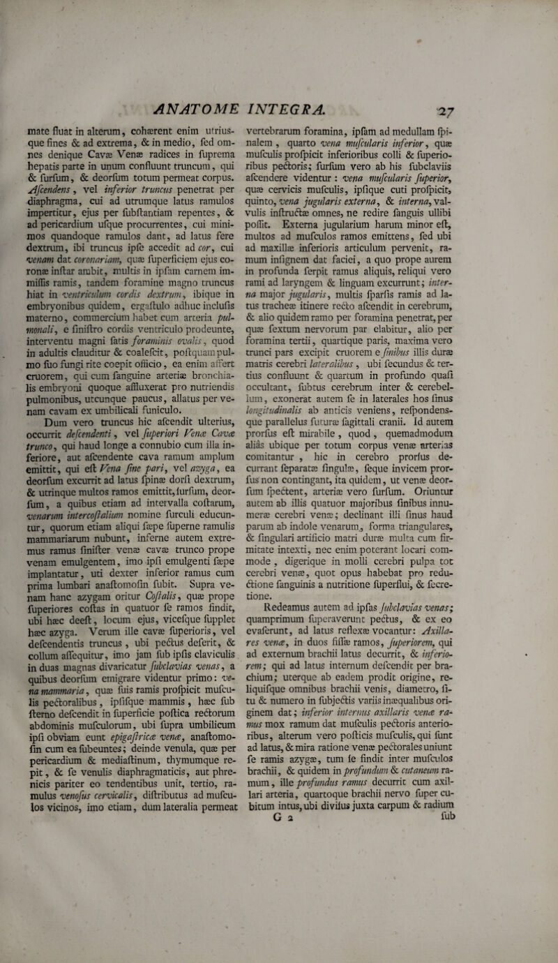 mate fluat in alterum, cohaerent enim utrius- que fines & ad extrema, & in medio, fed om¬ nes denique Cavae Venae radices in fuprema hepatis parte in unum confluunt truncum, qui & furfum, & deorfum totum permeat corpus. jifcendens, vel inferior tnmcus penetrat per diaphragma, cui ad utrumque latus ramulos impertitur, ejus per fubftantiam repentes, & ad pericardium ufque procurrentes, cui mini¬ mos quandoque ramulos dant, ad latus fere dextrum, ibi truncus ipfe accedit ad cor, cui *venam dat coronariam, quae fuperficiem ejus co¬ ronae inflar ambit, multis in ipfam carnem im- miflis ramis, tandem foramine magno truncus hiat in ventriculum cordis dextrum, ibique in embryonibus quidem, ergaftulo adhuc inclufis materno, commercium habet cum arteria pul¬ monali, e finiftro cordis ventriculo prodeunte, interventu magni foraminis ovalis, quod in adultis clauditur & coalefcit, poftquam pul¬ mo luo fungi rite coepit officio, ea enim affert cruorem, qui cum fanguine arterias bronchia¬ lis embryoni quoque affluxerat pro nutriendis pulmonibus, utcunque paucus, allatus per ve¬ nam cavam ex umbilicali funiculo. Dum vero truncus hic afcendit ulterius, occurrit defcendenti, vel ftiperiori Vena Cava trunco, qui haud longe a connubio cum illa in¬ feriore, aut afcendente cava ramum amplum emittit, qui e^Vena fme pari, yqI azyga, ea deorfum excurrit ad latus fpinas dorfi dextrum, & utrinque multos ramos emittit, lurfum, deor¬ fum, a quibus etiam ad intervalla collarum, venarum intercoftaUum nomine furculi educun¬ tur, quorum etiam aliqui faspe fuperne ramulis mammariarum nubunt, inferne autem extre¬ mus ramus fmiller ven^ cavas trunco prope venam emulgentem, imo ipfi emulgenti ffepe implantatur, uti dexter inferior ramus cum prima lumbari analtomofin fubit. Supra ve¬ nam hanc azygam oritur Cofalis, quae prope fuperiores collas in quatuor fe ramos findit, ubi haec deell, locum ejus, vicefque fupplet haec azyga. Verum ille cavae fuperioris, vel defcendentis truncus , ubi pedus deferit, & collum alTequitur, imo jam fub ipfis claviculis induas magnas divaricatur fuhclavias venas, a quibus deorfum emigrare videntur primo: ve¬ na mammaria, quae luis ramis profpicit mufcu- lis pedoralibus, iplifque mammis , haec fub llerno defcendit in fuperficie pollica redorum abdominis mufculorum, ubi fupra umbilicum ipfi obviam eunt epigafrica vena, anallomo- fin cum ea fubeuntes; deinde venula, quae per pericardium & mediallinum, thymumque re¬ pit , & fe venulis diaphragmaticis, aut phre¬ nicis pariter eo tendentibus unit, tertio, ra¬ mulus venofus cervicalis, diflributus admufcu- los vicinos, imo etiam, dum lateralia permeat ■27 vertebrarum foramina, iplam ad medullam Ipi- nalcm , quarto vena mufcularis inferior, quae mufculis profpicit inferioribus colli & fuperio- ribus pedoris; furllim vero ab his fubclaviis afcendere videntur : vena mufcularis fuperior, quae cervicis mufculis, iplique cuti profpicit, quinto, jugularis externa, & interna, woX- vulis inftrudae omnes, ne redire fanguis ullibi poffit. Externa jugularium harum minor efl, multos ad mufculos ramos emittens, fed ubi ad maxillae inferioris articulum pervenit, ra¬ mum infignem dat faciei, a quo prope aurem in profunda ferpit ramus aliquis, reliqui vero rami ad laryngem & linguam excurrunt; inter¬ na major jugularis, multis fparfis ramis ad la¬ tus tracheae itinere reclo afcendit in cerebrum, & alio quidem ramo per foramina penetrat, per quae fextum nervorum par elabitur, alio per foramina tertii, quartique paris, maxima vero trunci pars excipit cruorem e fnibus illis durae matris cerebri lateralibus , ubi fecundus & ter¬ tius confluunt & quartum in profundo quafi occultant, fub tus cerebrum inter & cerebel¬ lum , exonerat autem fe in laterales hos finus longitudinalis ab anticis veniens, refpondens- que parallelus futurae fagittali cranii. Id autem prorfus efl mirabile , quod , quemadmodum alias ubique per totum corpus venae arterias comitantur , hic in cerebro prorfus de¬ currant feparatae flngulas, feque invicem pror¬ fus non contingant, ita quidem, ut venae deor¬ fum fpeCtent, arteriae vero furfum. Oriuntur autem ab illis quatuor majoribus finibus innu¬ merae cerebri venae; declinant illi finus haud parum ab indole venarum,, forma triangulares, & Angulari artificio matri durae multa cum fir¬ mitate intexti, nec enim poterant locari com¬ mode , digerique in molli cerebri pulpa tot cerebri ven^, quot opus habebat pro redu- dlione fanguinis a nutritione fuperflui, & fecre- tione. Redeamus autem ad ipfas Jubclavias venas; quamprimum fuperaverunt pe6lus, & ex eo evaferunt, ad latus reflexae vocantur: Axilla¬ res vena, in duos fiflTae ramos, fuperior em, qui ad externum brachii latus decurrit, & inferio¬ rem; qui ad latus internum defcendit per bra¬ chium; uterque ab eadem prodit origine, re- liquifque omnibus brachii venis, diametro, fl- tu & numero in fubjedtis variis inaequalibus ori¬ ginem dat; inferior internus axillaris vena ra¬ mus mox ramum dat mufculis pe6loris anterio¬ ribus, alterum vero pollicis mufculis, qui funt ad latus, & mira ratione venae periorales uniunt fe ramis azygs, tum fe findit inter mufculos brachii, & quidem mprofundum & cutaneum ra¬ mum , ille profundus ramus decurrit cum axil¬ lari arteria, quartoque brachii nervo fuper cu¬ bitum intus, ubi divilus juxta carpum & radium G a fub
