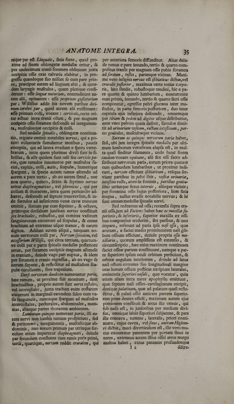 nique par efl: Linguale, latis forte, quod pro¬ xime ad finem oblongatae medullae oritur, & per undecimum cranii foramen obliquum juxta occipitis offis oras calvaria elabitur, in pro- greflli quandoque luo mifcet fe cum pare prio¬ re , praecipue autem ad linguam abit, & quos¬ dam laryngis mufculos , quare plerique credi¬ derunt : efle linguce motorium, contradicunt au¬ tem alii, opinantes : efle proprium guflatorium par; Willifius addit his novem paribus deci¬ mum cerebri par, quod aurem alii exillimant: clTe primum colli, vocant: cervicale,cene ori¬ tur adhuc intra cranii ollam , & per magnum occipitis offis foramen defcendit ad integumen¬ ta, mufculosque occipitis & colli. Sed medulla /pinalis, oblongata; continua¬ tio, triginta emittit notabiles nervos, qui a po- tiori voluntariis famulantur motibus, paucis exceptis, qui ad latera evadunt e fpecu verte¬ brarum , intra quem plurimas divifi funt in fi¬ brillas , & o6to quidem funt colli feu cervicis pa¬ ria, quae ramulos innumeros per mufculos fa¬ ciei, capitis, colli, auris, fcapulse, humerique Ipargunt, in Ipecie autem ramus afcendit ad aurem a pare tertio , ab eo autem limul, nec non quarto, quinto, fexto & feptimo nervus oritur diaphragmaticus , vel phrenicus , qui per collum & thoracem, intra quem pericardio ad¬ haeret, defcendit ad feptum transverfum, & in¬ de furculos ad inferiorem vense cavae truncum emittit, fextum par cum feptimo , & odavo, primoque dorfalium jundiim nervos conftituit jex brachiales, robufl;os,qui comites vaforum fanguineorum excurrunt ad fcapulas , & omne brachium ad extremas ufque manus, & carum digitos. Addunt autem aliqui, tanquam no¬ num nervorum colli par, Nervtm(pinalem,vel accejforium Willi/i^ qui circa tertium, quartum- ve colli par e parte Qjinalis medullae pofteriore ortus, per foramen occipitis magnum afcendit in cranium, deinde vago pari nuptus, & idem per foramen e cranio regreflfus, ab eo vago fe iterum feparat, & refleditur ad mufculum fca- pulae cucullarem, five trapezium. Dorfi nervorum duodecim numerantur paria, haec ramum, ut proxime fuit monitum, dant brachialibus , proprie autem funt nervi coftales, vel intercoftales, juxta tradum enim collarum excurrunt in marginali earundem fulco cum va- lis fanguineis, ramosque fpargunt ad mufculos interccllales, pedorales, abdominales, mam¬ mas , aliasque partes thoracem ambientes. Lumborum quinque numerant paria, illi au¬ tem nervi non lumbis tantum profpiciunt, fed & peritoneeo , integumentis , mufculisque ab¬ dominis , imo eorum primum par utrinque fur- culum etiam impertitur diaphragmati, deinde par fecundum confluens cum ramis paris primi, tertii, quartique, nervum reddit cruralem, qui per anteriora femoris diffunditur. Alius dein¬ de ramus e pare lecundo, tertio & quarto com- pofitus tranfit per magnum offis pubis foramen ad fcrotum , teftes, partesque vicinas. Maxi¬ me vero inlignis nervus ell ifchiaticus didus,vel cruralis pofterior, maximus certe totius corpo¬ ris, lato fimilis, robultoque tendini, hic e pa¬ re quarto & quinto lumbarium , concurrente cum primo, lecundo, tertio & quarto facri offis componitur, egrelfus pelvi glutaeos inter mu¬ fculos , in parte femoris pofteriore, duo inter capitula ejus inferiora defcendit, omnemque per tibiam & pedem ad digitos ufque diftribuitur, ante vero pelvim quam deferit, furculos dimit¬ tit ad urinariam veficam, re&um inteflimm, par¬ tes genitales, mufculosque vicinos. Sacrum os quinque nervorum paria habet, fed, ubi jam integra fpinalis medulla per ulti¬ mam lumborum vertebram elapfa eft, in mul¬ ta quali finditur filamenta, unde hunc finem caudam vocant equinam, alii fex offi facro ad- fcribunt nervorum paria, eorum priora quatuor cum quibusdam lumbaribus , ut proxime indi¬ cavi , nervum efficiunt ifchiaticum , reliqua fer- viunt partibus in pelvi litis, ve/cce urinaria, intejlino reSlo, utero in feminis, partibus genita¬ libus utriusque fexus internis , aliisque vicinis; per foramina offis hujus pofteriora, licet fatis magna , nullus evadit notabilis nervus; & hi funt omnes medullae fpinalis nervi. Sed redeamus ad oflTa; recenfui fupra cra-. nii olTaqam ad Faciem: habet haec os maxilla fur- pericrisinferioris, fuperior maxilla ex offi- bus componitur tredecim, fex paribus, & uno impare, referunt ad paria ipfa naft offa, quae acutum, e faciei medio prominentem nali gib¬ bum oflTeum efficiunt, deinde propria oj/a ma¬ xillaria , quorum ampliffima eft extenllo, & circumfcriptio , haec enim maximam continuam faciei oflfeae partem conftituunt, namque a par¬ te fuperiore ipfam oculi orbitam perficiunt, & orbitae angulum interiorem , deinde ad latus nafi offium extremo fuo longitudinali margine oras horum offium pofticas excipiunt laterales, eminentia fuperiori nafali, quae vocatur , quin etiam aliam intra nares apophyfin emittunt, quae feptum nafi oflfeo-cartilagineum excipit, denique palatinam, quae ad palatum quali refle- (ftitur, & palati oflTei anticam partem fuperio- rem pone dentes efficit, maximam autem ejus portionem conftituit & arcus ille omnis, qui fub nafo eft , in junioribus per medium divi- fus, omnique labio fuperiori fubjacens, & pars illa concava , tumens, lateralis, priori conti¬ nuata, cujus cavea, vel/nus, antrumHighmo- ri di6lus, muci diverticulum eft, ille vero mu¬ cus exoneratur patentem per portam linus in nares, extremus autem illius olTei arcus margo multos habet, extus patentes profundosque I 2 difere-