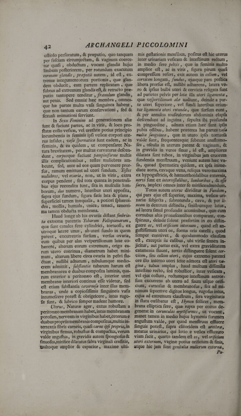 42 oftiolo perforatum, & prasputio, quo tanquam perfafciam circumjcftam, & vaginam coerce¬ tur quafi , obduftum, vocant glandis hujus limbum pofteriorem, per rotundum exacutum coronam glandis, praeputii autem, id efl:, ex¬ tremas integumentorum portionis, quse glan¬ dem obducit, eam partem replicatam , qu£e fubtus ad extremum glandis eft, & retrafto prae¬ putio tantopere tenditur , fraenulum glandis, aut penis. Sed omnia] haec membra , omnes- que hae partes multa vafa fanguinea habent, quae non tantum earum confervationi, fed & fexuali animationi ferviunt. In Sexu Feminino ad generationem aliae lunt & faciunt partes, ac in viris, loco pro¬ flatae collo veficae, vel urethrae potius principio incumbentis in feminis ipfi veficae corpori ute¬ rus infidet; 'vafa Jpermatica funt eadem, ac in feminis, & ea quidem , ut compenfaret Na¬ tura brevitatem, per multas curvaturas defcen- dunt, corpuscgoiQ faciunt pampiniforme multis illis complicationibus , teftes muliebres am- beunt, fed, ante ad eos quam pervenere pror- fus, ramum emittunt ad uteri fundum, Teftes muliebres, velo^varia, non, ut in viris , extra corpus pendent, fed tota quanta in penetrali¬ bus ejus recondita lunt, fitain mufculis lum¬ borum, duo numero, lateribus uteri appofita, fupra ejus fundum, figura fatis lata & plana, fuperficiei tamen insequalis, a potiori fphoeroi- dea, mollia, humida, unica, tenaci, tenerri¬ ma tamen obdudla membrana. Haud longe ab his ovariis diftant fimbria- ta extrema patentia Jubarum Fallopianarum, quae funt canales fere cylindrici, tortuofi, ex utroque ktere unus, ab uteri fundo in quem patent, excurrentia furfum , verfus ovaria, cum quibus per alas velpertilionum laxe co- h^rent, alterum eorum extremum, origo ea¬ rum utero continua, diametrum habet mini¬ mam , alterum libere circa ovaria in pelvi flu- duat, nullibi adnatum , tubulumque medio¬ crem admittit, fubftantia tubarum harum eft membranacea e duabus compofita laminis, qua¬ rum exterior a peritonaeo eft, interior uteri membranae interiori continua effe videtur, fed eft etiam fubftantia cavernofa inter illas mem¬ branas , unde a copiofilfimis fanguineis vafis intumefeere poteft & obrigelcere, intus rugo- fae funt, & lubrico femper madent humore. Uterus, Naturae ager, extus robuftam a peritonaeo membranam habet, intus membranam porofam, nerveam in virginibus habet,ceterum e duabus propriis membranis compofitus,multis in¬ tertextis fibris carneis, quafi carne ipftpropria,m virginibus firmus, robuftus & compadus, verum valde anguftus, in gravidis autem fpongiofus & fmuofus,mirifice dilatatus falva virginali cralfitie, multoque amplior & capacior-, maxime ulti¬ mis geftationis menfibus, pofitus eft hic uterus inter urinariam veficam & inteftinum redum , in medio fere pelvis, quee in feminis multo amplior eft , ac in viris , figura pirum quafi comprelfum refert, exit autem in collum, vel cervicem longam, fundus, ejusque pars poftica libera prorfus eft, nullibi adhaerens, latera ve¬ ro & ipfius bulbi uteri & cervicis religata funt ad parietes pelvis per lata illa uteri ligamenta , quae vejpertilionum alce audiunt, deinde a par¬ te uteri fuperiore , vel fundi lateribus oriun¬ tur ligamenta uteri rotunda, quae furfum eunt, & per annulos mufculorum abdominis elapfa defeendunt ad inguina , fepulta ibi profunda in pinguedine , adnata etiam haec funt ipfis pubis ollibus, habent praeterea hae partes vafa mdta fanguinea , quae in utero ipfo tortuola valde funt, frequentesquc; fubeunt anaftomo- fes , ofculis in uterum patent & vaginam, & in gravidis in veros finus , id eft, ampliores dilatata funt tubos, in virginibus jam cruorem fundentia menftruum, veniunt autem haec va¬ fa, quoad Ipermatica quidem, ex ipfa irnme- diate aorta, cavaque vena, reliqua vero maxima ex hypogaftricis, & haemorrhoidalibus externis, nervi funt ex intercoftalibus, lumbaribus , & offe facro, implexi omnes inter fe mirificeadmodura. Totus autem uterus dividitur in Fundum, qui pars ejus eft fuperior, maxima, vefies uri¬ nariae fubjeda 5 fubrotunda, cava, & per li¬ neam in dextrum diftindta, finiftrumque latus, ad latera liinul profundis acuminibus, quae cum cornubus altis pronafeentibus comparant, con- fpicuus, deinde folent praefertim in eo diftin- guere os, vel orificium internum, quod eft an- guftiffimum uteri os, forma oris catelli, quod femper connivet, & quodammodo claufum eft , exceptis iis cafibus, ubi virile femen in¬ jicitur, aut partus exit, vel extra graviditatem catamenia fluunt, tertio diftinguere folent cer¬ vicem, feu collum uteri, cujus extremo patenti ore illo interno uteri Icite admota eft uteri va¬ gina , tubus amplus , haud multum dilTimilis inteftino redo, led robuftior, inter veficam , vel ejus collum, redumque inteftinum antror- ftiin excurrens ab utero ad fuum ufque orifi¬ cium, carnofus & membranofus, fex ad mi¬ nimum feptemve digitos longus, rugofus intus, cujus ad extremum clauftrum, fera virginitatis in ftatu coelibatus eft , Tlymen fcilicet, mem¬ brana elliptica fere, qute rupta per coitus de¬ generat in carunculas myrtformes, ut vocant, manet tamen in medio hujus hymenis foramen anguftum valde, per quod menftruus effluere fanguis poteft, fupra clitoridem eft urethra, meatus urinarius, qui lotio e vefica effluxuro viam facit, quarto tandem eft os, vel orificium uteri externum, vaginae potius orificium & finis, atque hic jam funt genitalia mulierum externa, Pu-