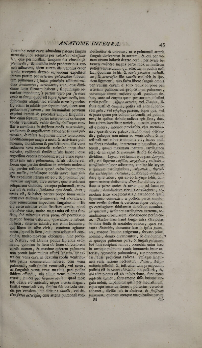 foramine venas cavas admodum patente fanguis naturalis , ibi retentus per valvulas tricufpida- Ifs, quas per fibrillas, tanquam fua vincula fe- pto cordis , & maflulis inde prodeuntibus car¬ neis adhffirent, idem autem ille venofus eruor corde receptus dextro ex eodem expellitur iterum partim per arteriam ptdmonalem fiibeun- tem pulmones, Q hujus principio aflident val¬ vula femiluuares , utriculares^ tres., qute dimi¬ diata lun$ formam habent , fanguinisque re- curfum impediunt,') partim vero per foramen ovale in foetu, quod eft fupra feptum cordis., imo fulj^icantur aliqui ^ fed ridicula certe hypothe- fi, etiam in adultis per ieptum hoc, licet non pellucidum, cavum, aut foraminibus pervium exprimi tamen & percolari aliquid fanguinis, hoc enim feptum, paries intergerinus utriusque cordis ventriculi, valde denfis, fpilTisque con¬ flat e carnibus; in finijirum cordis ventriculum, crafliorem & anguftiorem exonerat fe vena pul¬ monalis , & refert fanguinem multo tenuiorem, fubtilifatumque magis a motu & adivitate pul¬ monum, floridiorem & perfediorem, illa vero reducens vena pulmonalis valvulas intus duas mitrales, epifcopali fimil(5s infulae habet, quae regreffum cruoris prohibent, isque eruor repur¬ gatus jam intra pulmonem, & ab adlione va- forum ejus partim denfatus in minimis molecu- lis, partim refolutus quoad cohaslionem inte¬ grae maflfae, infufusque cordis antro huic fmi- Jlro expellitur iterum ex eo , & projicitur per arteriam magnam, five aortam, quae arteriarum reliquarum omnium, excepta pulmonali, trun¬ cus efi: & radix, fuhflantia ejus denfa, dura , tenax eft, & habet pariter prope fuum orifi¬ cium tres valvulas femilunares, vel utriculares, quas remeaturum impediant fanguinem. Et efi: certe mirifica valde ftrudura cordis, quod efi: Arbor vita, multo magis mira efi ejus fun- dio, fed miraculis veris plena efi: permutatio quatuor horum vaforum, quae aliter fe habent in foetu, aliter in adultis, cor enim hominis , qui libero in ade vivit, continuo agitatur motu, quod in foetu, qui utero adhuc eft con- cluflis, multo movetur obfcurius; hinc provi¬ da Natura, vel Divina potius fapientia ordi¬ navit, quoniam in foetu ob hunc obfcuriorem cordis motum, & maxime quietem pulmonis non potuit huic multus afferri fanguis, ut ex¬ tra cor vena cava in dextrum cordis ventricu¬ lum patula commercium haberet cum vena pulmonali, vafe finiflri ventriculi, vel certe, ut fanguinis venae cavae maxima pars poffec ibidem effundi, ubi effluit venae pulmonalis eruor , fcilicet per foramen ovale , quod mox fub dextra efi auricula, utque arteria magna, finifiri ventriculi vas, llniftra fub auricula cor¬ dis per canalem, qui dicitur : canalis, vel du- ^us foetus arteriofis, cum arteria pulmonali con- 45 nederetur & uniretur, ut e pulmonali arteria fanguis derivaretur in aortam , & qui per ve¬ nam cavam influxit dextro cordi, per ovale fo¬ ramen trajicere magna parte mox in finiftrum poffet ventriculum, qui effedus in adultis cef- fat, quoniam in his & ovale foramen occludi¬ tur, & arteriofus ille canalis coalefcit in fpe- ciem ligamenti, quo fado libere fanguis omnis per venam cavam e toto redux corpore per arteriam pulmonalem projicitur in pulmones, eorumque omne trajicere qiiafi punclum de¬ bet, ante ad corpus quam per aortam diilribui rurfus poffit. Afpera arteria, vel Trachea, fi- flula quafi & canalis, pofita ell ante fuperio- xQmgula, vq\ oefophagi fuper qua, vel & juxta quam per collum defeendit ad pulmo¬ nes , in quibus deinde radices agit fuas, dua¬ bus autem inveflitur tunicis , quarum exterior efi e pleura, interior produdio ejus membra¬ nae, quae ab ore, palato, faucibusque defeen¬ dit, gulaeque non minus ac ventriculo , & in- teflinali toti tubo communis eft, habet mul¬ tas fibras robullas, intertextas pinguedine, ce¬ terum, quoad maximam partem cartilaginea efi, & in caput & tracheam flride fic didam dividitur. Caput, vel fumma ejus pars efi, cui fuperne tonfilla, amygdala , antiades , pariflhmia infuper adhaerent, conflat hic larynx e quinque cartilaginibus, epiglottide, thyreoi¬ dea cartilagine, cricoidea, duabus que arytami- deis; ipfe tubus, qui ab eo larynge folus, tan¬ quam truncus defeendit, Bronchus dicitur, con¬ flans a parte antica & utrumque ad latus ex annulis, dimidiatisve circulis cartilagineis , ad¬ modum fcite coagmentatis,' carneoque quafi ligamento connexis, a poflica parte annulo- rum verfus dorfum & vertebras fuper oefopha- go cartilagineae fubflantiJE defedum membra¬ na quadam, nedente cartilaginea extrema, ro¬ tunditatem orbicularem, circulosque perficien¬ te. Trachea haec haud longe infra claviculas in duos findit fe notabiles ramos, quos vo¬ cant : Bronchia, ducuntur haec in ipfos pulmo¬ nes, eosque fimuln.c attigerunt, fervato priori nomine , denuo divaricantur, & dividuntur, ut quaeque pulmonis pars, Tingulipulmonum lobi fuos accipiant ramos, bronchia enim haec in utroque pulmone ramis innumeris inter ar¬ terias , venasque pulmonicas , aut pneumoni¬ cas , flias projiciunt radices , vafisque fangui- neis varia ratione neduntur. Pulmo , Refpi- rationis offleink & inflrumentum praecipuum , pofitus efi in cavum thoracis, aut pedoris, &, ubi aere plenus eft ab infpiratione, fere totus repletus tumet, formamque fiffae bubulae un¬ gulae induit, fufpenditur quafi per mediaftinum, cujus ope anterius flerno , poflerius vertebris adhaeret, divifus efi in dextrum & fmifrmn pulmonem, quorum uter que magnitudine parum M dif-