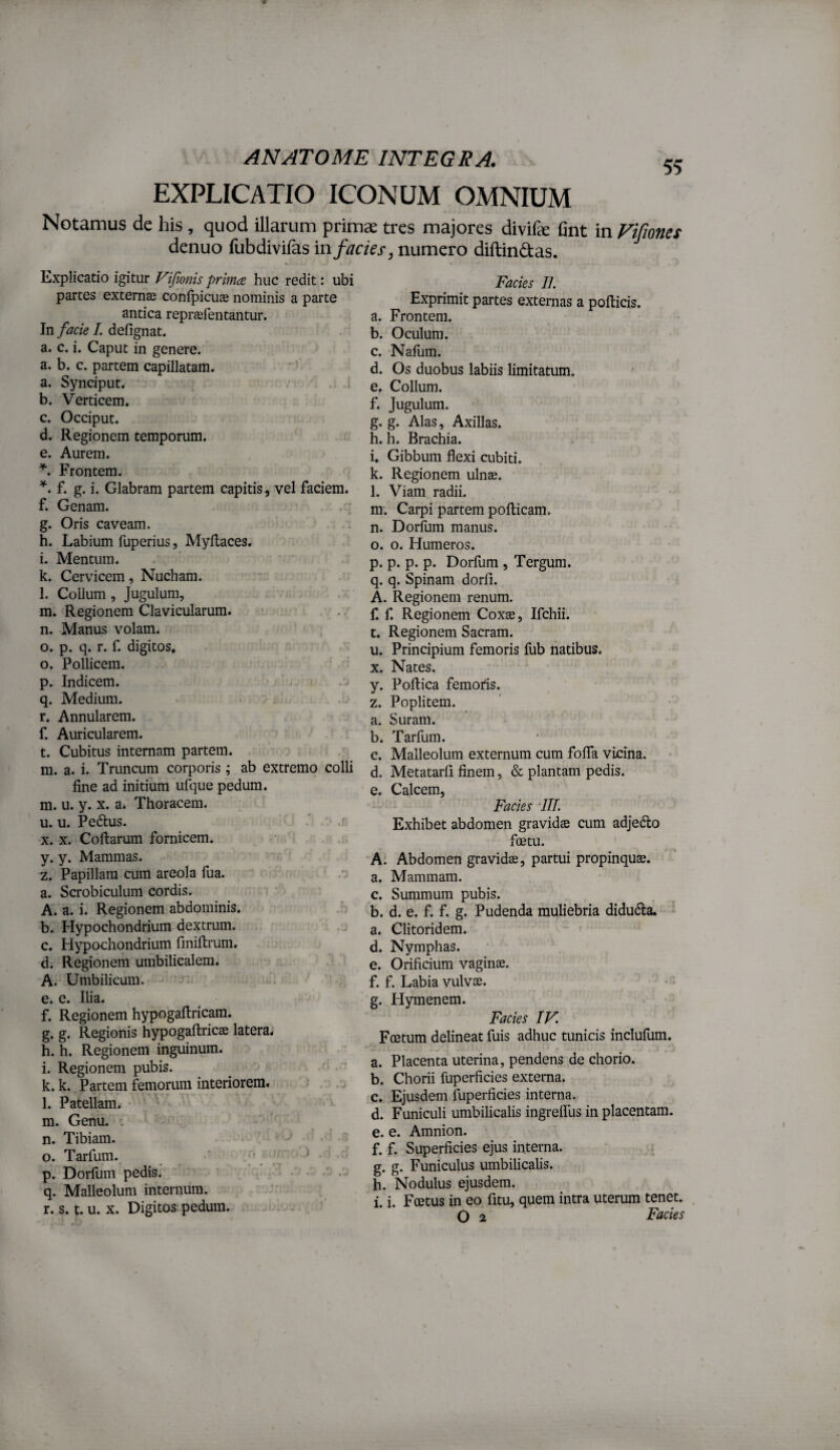 EXPLICATIO ICONUM OMNIUM Notamus de his, quod illarum primae tres majores divife: fint in Vifiones denuo fubdivifas 'mfacks, numero diftindas. Explicatio igitur Vijionis primcR huc redit: ubi partes externce confpicuae nominis a parte antica reprafentantur. In facie /. defignat. a. c. i. Caput in genere, a. b. c. partem capillatam. a. Synciput. b. Verticem. c. Occiput. d. Regionem temporum. e. Aurem. Frontem. f. g. i. Glabram partem capitis, vel faciem. f. Genam. g. Oris caveam. h. Labium fuperius, Myflaces. i. Mentum. k. Cervicem, Nucham. l. Collum , Jugulum, m. Regionem Clavicularum. n. Manus volam. o. p. q. r. f. digitos* o. Pollicem. p. Indicem. ' q. Medium. . . r. Annularem, f. Auricularem. t. Cubitus internam partem. ■ m. a. i. Truncum corporis ; ab extremo colli fine ad initium ufque pedum, m. u. y. X. a. Thoracem. u. u. Pedtus. f X. X. Collarum fornicem. y. y. Mammas. z. Papillam cum areola fua. a. Scrobiculum cordis. A. a. i. Regionem abdominis. b. Hypochondrium dextrum. c. Hypochondrium fmiltrum. d. Regionem umbilicalem. A. Umbilicum. - e. e. Ilia. f. Regionem hypogallricam. g. g. Regionis hypogallricsB latera. h. h. Regionem inguinum. i. Regionem pubis. k. k. Partem femorum interiorem. l. Patellam. • m. Genu, t n. Tibiam. o. Tarfum. ' ' * p. Dorium pedis. q. Malleolum internum. r. s. t. u. X. Digitos pedum. : Facies II. Exprimit partes externas a pollicis. a. Frontem. b. Oculum. c. Nafum. d. Os duobus labiis limitatum. e. Collum. f. Jugulum. g. g. Alas, Axillas. h. h. Brachia. i. Gibbum flexi cubiti. k. Regionem ulnae. l. Viam radii. m. Carpi partem pofticam. n. Dorfum manus. o. 0. Humeros. p. p. p. p. Dorfum , Tergum. q. q. Spinam dorli. A. Regionem renum. f. f. Regionem Coxae, Ifchii. t. Regionem Sacram. u. Principium femoris fub natibus. X. Nates. y. Pollica femotis. z. Poplitem. a. Suram. b. Tarfum. c. Malleolum externum cum folTa vicina. d. Metatarfi finem, & plantam pedis. e. Calcem, Facies lII. Exhibet abdomen gravidae cum adjedto foetu. h\ Abdomen gravidae, partui propinquae. a. Mammam. c. Summum pubis. b. d. e. f. f. g. Pudenda muliebria didudla. a. Clitoridem. d. Nymphas. e. Orificium vaginae. f. f. Labia vulvae. • > g. Hymenem. Facies IV. Foetum delineat fuis adhuc tunicis inclufum. a. Placenta uterina, pendens de chorio. b. Chorii fuperficies externa. c. Ejusdem fuperficies interna. d. Funiculi umbilicalis ingreffus in placentam. e. e. Amnion. f. f. Superficies ejus interna. g. g. Funiculus umbilicalis. h. Nodulus ejusdem. i. i. Foetus in eo fitu, quem intra uterum tenet. , O 2 Facies