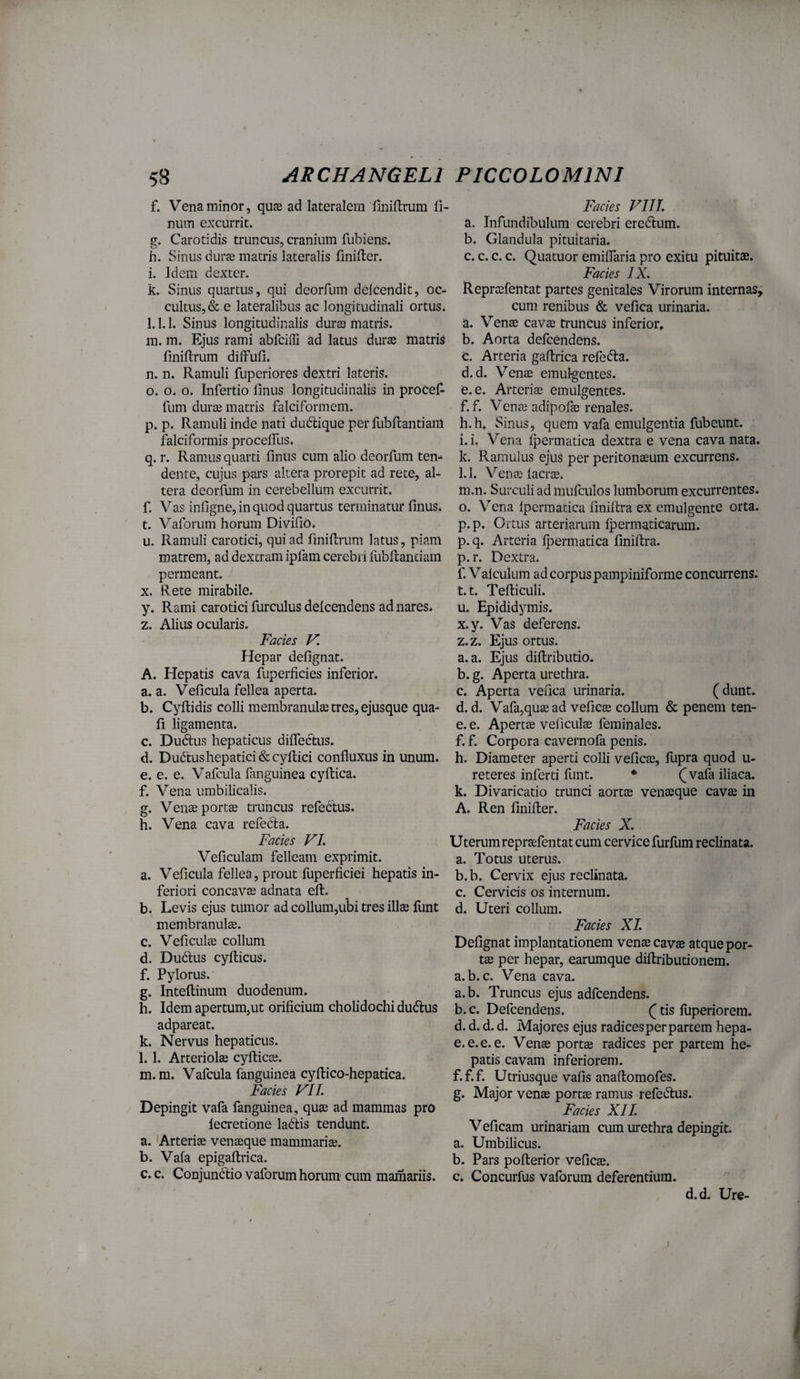 f. Vena minor, quce ad lateralem Uniftrum li¬ num excurrit. g. Carotidis truncus, cranium fubiens. h. Sinus durae matris lateralis linilter. i. Idem dexter. k. Sinus quartus, qui deorfum delcendit, oc¬ cultus,^ e lateralibus ac longitudinali ortus. l. 1.1. Sinus longitudinalis durae matris. in. m. Ejus rami abfcilli ad latus durae matris fmiltrum difFufi. n. n. Ramuli fuperiores dextri lateris. o. o. o. Infertio linus longitudinalis in proceF- fum durae matris falciformem. p. p. Ramuli inde nati dudique perfubRantianl falciformis procelfus. q. r. Ramus quarti finus cum alio deorfum ten¬ dente, cujus pars altera prorepit ad rete, al¬ tera deorfum in cerebellum excurrit. f. Vas infigne, in quod quartus terminatur linus* t. Vaforum horum Divifio. u. Ramuli carotici, qui ad fmiRrum latus, piam matrem, ad dextram ipfam cerebri fubllantiam permeant. X. Rete mirabile. y. Rami carotici furculus delcendeiis ad nares. z. Alius ocularis. Facies V. Hepar dellgnat. A. Hepatis cava fuperlicies inferior. a. a. Velicula fellea aperta. b. Cyllidis colli membranula tres, ejusque qua¬ li ligamenta. c. Du&is hepaticus dilfectus. d. Dudtus hepatici &cyllici confluxus in unum. e. e. e. Vafcula fanguinea cyltica. f. Vena umbilicalis. g. Venae portte truncus refebtus. h. Vena cava refedla. Facies VL Veficulam felleam exprimit. a. Veficula fellea, prout fuperficiei hepatis in¬ feriori concavae adnata elt. b. Levis ejus tumor ad collum,ui)i tres illae llmt membranulae. c. Veficulae collum d. Dudtus cyllicus. f. Pylorus. g. Intellinum duodenum. h. Idem apertum,ut orificium cholidochi duftus adpareat. k. Nervus hepaticus. l. 1. Arteriolae cylticae. m. m. Vafcula fanguinea cyllico-hepatica. Facies VI1. Depingit vafa fanguinea, quae ad mammas pro lecretione ladlis tendunt. a. Arteriae venaeque mammariae. b. Vala epigaftrica. C. c. Conjundlio vaforum horum cum mamariis. Facies Vlll a. Infundibulum cerebri eredtum. b. Glandula pituitaria. c. c. c. c. Quatuor emilfaria pro exitu pituitae. Facies IX. Repraefentat partes genitales Virorum internas, cum renibus & velica urinaria. a. Venae caVae truncus inferior, b. Aorta defeendens. c. Arteria galtrica refedla. d. d. Venae emulgentes. e. e. Arteriae emulgentes. f. f. Venae adipofae renales. h. h. Sinus, quem vafa emulgentia fubeunt. i. i. Vena Ipermatica dextra e vena cava nata. k. Ramulus ejus per peritonaeum excurrens. l. 1. Venae Iaerae. m. n. Surculi admufculos lumborum excurrentes. 0. Vena Ipermatica finiftra ex emulgente orta, p.p. Ortus arteriarum Ipermaticarum. p. q. Arteria Ipermatica finiftra. р. r. Dextra. f. Valculum ad corpus pampiniforme concurrens. t. t. Tefliculi. u. Epididymis. x.y. Vas deferens, z.z. Ejus ortus. a. a. Ejus diftributio. b. g. Aperta urethra. с. Aperta vefica urinaria. (dunt. d. d. Vafajquae ad veficae collum & penem ten- e. e. Apertae veficulae feminales. f. f. Corpora cavernofa penis. h. Diameter aperti colli veficae, fupra quod u- reteres inferti funt. ♦ vafa iliaca, k. Divaricatio trunci aortae venaeque cavae in A. Ren finifter. Facies X. Uterum repraefentat cum cervice furflim reclinata. a. Totus uterus. b. b. Cervix ejus reclinata. c. Cervicis os internum. d. Uteri collum. Facies XI. Defignat implantationem vens cavae atque por¬ tae per hepar, earumque diftributionem. a.b. c. Vena cava. a. b. Truncus ejus adfcendens. b. c. Defeendens. Q tis fliperiorem. d. d. d. d. Majores ejus radices per partem hepa- e. e.e. e. Venae portae radices per partem he¬ patis cavam inferiorem. f. f.f. Utriusque vafis anaflomofes. g. Major venae portae ramus refectus. Facies XII. Veficam urinariam cum urethra depingit. a. Umbilicus. b. Pars poflerior veficae. c. Concurfus vaforum deferentium. d.d. Ure-